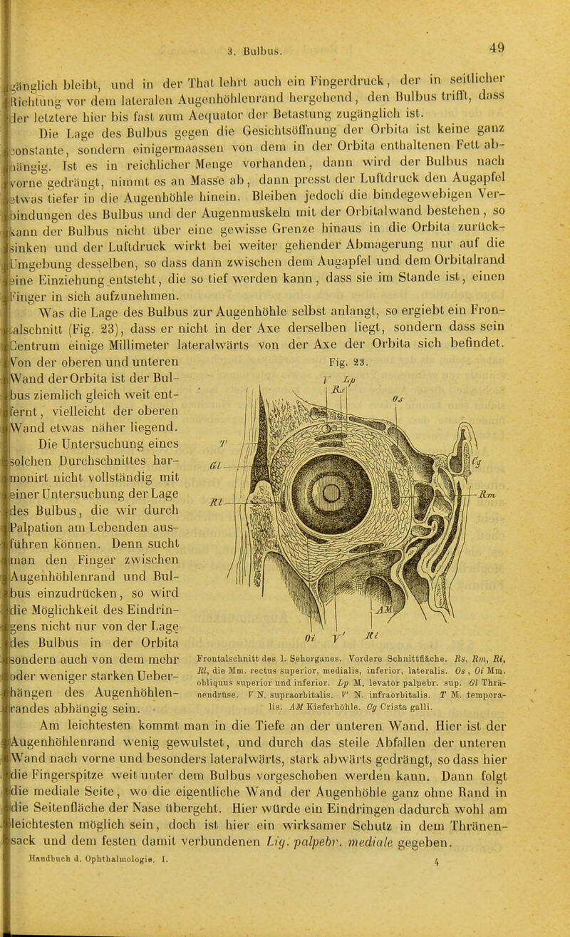 anglich bleibt, und in der Thal lehrt auch ein Fingerdruck, der in seitlicher ichlung vor dem lateralen Augenhöhlenrand hergehend, den Bulbus trifft, dass ler letztere hier bis fast zum Aequator der Betastung zugänglich ist. Die Lage des Bulbus gegen die Gesichtsöffnung der Orbita ist keine ganz onstante, sondern einigermaassen von dem in der Orbita enthaltenen Fett ab- angig. Ist es in reichlicher Menge vorhanden, dann vs'ird der Bulbus nach orne gedrängt, nimmt es an Masse ab, dann presst der Luftdruck den Augapfel etwas tiefer in die Augenhöhle hinein. Bleiben jedoch die bindegewebigen Ver- bindungen de^ Bulbus und der Augenmuskeln mit der Orbitalwand bestehen, so Icann der Bulbus niciit über eine gewisse Grenze hinaus in die Orbita zurück- sinken und der Luftdruck wirkt bei vs^eilei- gehender Abmagerung nur auf die Umgebung desselben, so dass dann zwischen dem Augapfel und dem Orbilalrand ^ne Einziehung entsteht, die so tief werden kann, dass sie im Stande ist, einen inger in sich aufzunehmen. Was die Lage des Bulbus zur Augenhöhle selbst anlangt, so ergiebt ein Fron- alschnitt (Fig. 23), dass er nicht in der Axe derselben liegt, sondern dass sein entrum einige Millimeter lateralw^ärts von der Axe der Orbita sich befindet. IVon der oberen und unteren [Wand der Orbita ist der Bul- bus ziemlich gleich weit ent- fernt , vielleicht der oberen |vVand etwas näher liegend. Die Untersuchung eines Bolchen Durchschnittes har- BQonirt nicht vollständig mit piner Untersuchung der Lage hes Bulbus, die wir durch IPalpation am Lebenden aus- führen können. Denn sucht jman den Finger zwischen lAugenhöhlenrand und Bul- Ibus einzudrücken, so wird Idie Möglichkeit des Eindrin- gens nicht nur von der Lage Ides Bulbus in der Orbita sondern auch von dem mehr [oder weniger starken Ueber- Ihängen des Augenhöhlen- Fig. 23. Frontalsolinitt des 1. Sehorganes. Vordere Schnittfläche. Rs, Rm, Ri, Rl, die Mm. rectus superior, medialis, inferior, lateralis. Os , Oi Mm. obliquns superior imd inferior. Lp M. levator palpehr. aup. Gl Thrä- nendrüse. V N. supraorhitalis. l N. infraorbitalis. T M. tenipora- lis. Kieferhöhle. Crista galli. randes abhängig sein. Am leichtesten kommt man in die Tiefe an der unteren Wand. Hier ist der lAugenhöhlenrand wenig gewulstet, und durch das steile Abfallen der unteren jWand nach vorne und besonders lateralwärts, stark abwärts gedrängt, so dass hier Idie Fingerspitze weit unter dem Bulbus vorgeschoben werden kann. Dann folgt Idie mediale Seite, wo die eigentliche Wand der Augenhöhle ganz ohne Rand in Idie Seitenfläche der Nase übergeht. Hier würde ein Eindringen dadurch wohl am lleichtesten möglich sein, doch ist hier ein wirksamer Schutz in dem Thränen- Isack und dem festen damit verbundenen Lig. palpebr. mediale gegeben. Handbuch d. Ophthalmologie. I. ^