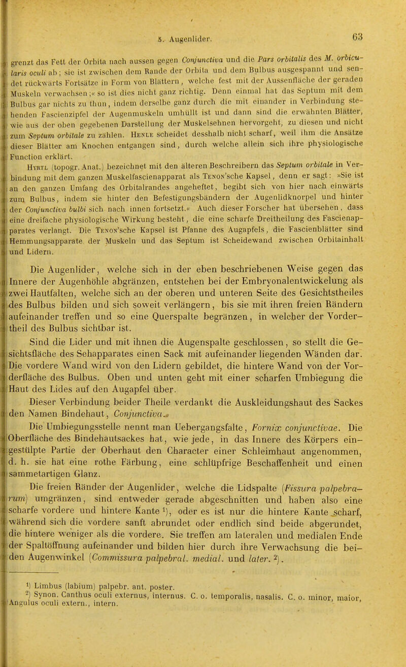 grenzt das Fett der Orbita nach aussen gegen Coryuncliva und die Pars orbitalis des M. orbicu- laris oculi ab; sie ist zwischen dem Rande der Orbita und dem Bulbus ausgespannt und sen- det rückwärts Fortsätze in Form von Blättern , welche fest mit der Ausscnfläche der geraden Muskeln verwachsen;« so ist dies nicht ganz richtig. Denn einmal hat das Septum mit dem I Bulbus gar nichts zu thun, indem derselbe ganz durch die mit einander in Verbindung ste- henden Fascienzipfel der Augenmuskeln umhüllt ist und dann sind die erwähnten Blätter, Wie aus der oben gegebenen Darstellung der Muskelsehnen hervorgeht, zu diesen und nicht zum Septum orbitale zu zählen. Henle scheidet desshalb nicht scharf, weil ihm die Ansätze dieser Blätter am Knochen entgangen sind, durch welche allein sich ihre physiologische Function erklärt. HraiL (topogr. Anat.) bezeichnet mit den älteren Beschreibern das Septum orbitale in Ver- i)indung mit dem ganzen Muskelfascienapparat als TENON'sche Kapsel, denn er sagt: »Sie ist an den ganzen Umfang des Orbitalrandes angeheftet, begibt sich von hier nach einwärts zum Bulbus, indem sie hinter den Befestigungsbändern der Augenlidknorpel und hinter der Coiyunctiva bulbi sich nach innen fortsetzt.« Auch dieser Forscher hat übersehen, dass eine dreifache physiologische Wirkung besteht, die eine scharfe Dreitheilung des Fascienap- parates verlangt. Die lENOu'sche Kapsel ist Pfanne des Augapfels, die Fascienblätter sind Hemmungsapparate der Muskeln und das Septum ist Scheidewand zwischen Orbilainhalt und Lidern. Die Augenlider, welche sich in der eben beschriebenen Weise gegen das Innere der Augenhöhle abgränzen, entstehen bei der Embryonalentwickelung als zwei Hautfalten, welche sich an der oberen und unteren Seite des Gesichtstheiles ides Bulbus bilden und sich soweit verlängern, bis sie mit ihren freien Rändern aufeinander treffen und so eine Querspalle begränzen, in welcher der Vorder- theil des Bulbus sichtbar ist. Sind die Lider und mit ihnen die Augenspalte geschlossen, so stellt die Ge- sichtsfläche des Sehapparates einen Sack mit aufeinander liegenden Wänden dar. Die vordere Wand wird von den Lidern gebildet, die hintere Wand von der Vor- derfläche des Bulbus. Oben und unten geht mit einer scharfen Umbiegung die Haut des Lides auf den Augapfel über. Dieser Verbindung beider Theile verdankt die Auskleidungshaut des Sackes den Namen Bindehaut, Conjunctiva.^ Die Umbiegungsstelle nennt man Uebergangsfalte, Fornix conjunctivae. Die Oberfläche des Bindehautsackes hat, wie jede, in das Innere des Körpers ein- gestülpte Partie der Oberhaut den Character einer Schleimhaut angenommen, d. h. sie hat eine rothe Färbung, eine schlüpfrige Beschaffenheit und einen sammetartigen Glanz. Die freien Ränder der Augenlider, welche die Lidspalte [Fissura palpebra- rum) umgränzen, sind entweder gerade abgeschnitten und haben also eine scharfe vordere und hintere Kantet), oder es ist nur die hintere Kante „scharf, während sich die vordere sanft abrundet oder endlich sind beide abgerundet, die hintere weniger als die vordere. Sie treffen am lateralen und medialen Ende der Spaltöffnung aufeinander und bilden hier durch ihre Verwachsung die bei- den Augenwinkel [Commissura palpebral. medial, und later.^). 1) Limbus (labium) palpebr. ant. poster. 2) Synon. Canthus oculi externus, internus. C. o. temporalis, nasalis. C. o. minor maior Angulus oculi extern., intern. ' '