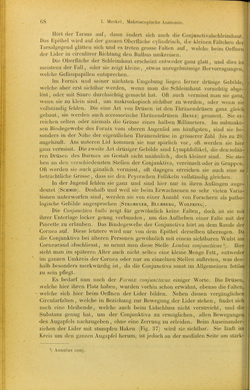 IIüi'L düi- Tarsus aul', duiin iindorl sich aucli die Conjunclivalschleiinliaul. Das Epilliel wird aul' der ganzen Oberlläche cylindriscli, die kleinen Fällchen der Tarsalgegend glailon sicli und es treten grosse Falten auf, welche beim Oellncn der Uder in (ürculilrer Ui(;hlung den Bulbus umkreisen. Die OberfJache der Schleimhaut erscheint entweder ganz glatt, und dies i.si meistens der Fall, oder sie zeigt kleine, _etwas um-egelmiissige llervoi'ragungcii, welche Geflisspapilleu entsprechen. Im Fornix und seiner nächsten Umgebung liegen lerner drüsige Gebilde, welche aber erst sichtbar werden, wenn man die Schleimhaut vorsichtig abizc- löst, oder mit Säure durchsichtig gemacht hat. Ül't auch vermissl man sie ganz, wenn sie zu klein sind, um makroskopisch sichtbar zu werden, oder wenn mc vollständig fehlen. Die eine Art von Drüsen ist den Thränendrüsen ganz glcii h gebaut, sie werden auch accessorische Thränendrüsen (Henlk) genannt. Sie ci- reichen selten oder niemals die Grösse eines halben Mdlimeters. Im submuki^- sen Bindegewebe des Fornix vom oberen Augenlid am häufigsten, sind sie be- sonders in der Nähe der eigentlichen Thränendrüse in grösserer Zahl (bis zu 2i\ angehäuft. Am unteren Lid kommen sie nur spärlich vor, oft werden sie Im r ganz vermisst. Die zweite Art drüsiger Gebilde sind LyniphfoUikel, die den soiii.i- ren Drüsen des Darnies an Gestalt nicht unähnlich, doch kleiner sind. Sie bti- hen an den verschiedensten Stellen der Conjunkliva, vereinzelt oder in Grupp»n. Oft werden sie auch gänzlich vermisst, oft dagegen erreichen sie auch eine .-,o beträchtliche Grösse, dass sie den Peycrschen Foüikeln vollständig gleichen. In der Jugend fehlen sie ganz und sind hier nur in ihren Anfängen au;:. - deutet (SciiauD). Deshalb und weil sie beim Erwachsenen so sehr vielen Van i- lionen unterworfen sind, werden sie von einer Anzahl von Forschern als patho- logische Gebilde angesprochen (Stromjjyer, Blumbkrü, Wolfrixg]. Die Conjunctiva bulbi zeigt für gewöhnlich keine Falten, doch ist sie mit ihrer Unterlage locker genug verbunden, um das Aufheben einer Falte mit der Pincette zu erlauben. Das Bindegewebe der Conjunctiva hört an dem Rande di r Cornea auf. Diese letztere wird nur von dem Epithel derselben überzogen. Da die Conjunktiva bei älteren Personen gewöhnlich mit einem sichtbaren W ulst aiu Cornearaad abschliesst, so nennt man diese Stelle Limbus corijunclivae^j. Hier sieht man im späteren Alter auch nicht selten eine kleine Menge Fett, entweih r im ganzen Umkreis der Cornea oder nur an einzelnen Stellen auftreten, w-as des- halb besonders merkwürdig ist, da die Conjunctiva sonst im Allgemeinen felllos zu sein pflegt. Es bedarf nun noch der Fornix conjunctivae einiger Worte. Die Drüsen, welche hier ihren Platz haben, wurden vorhin schon erwähnt, ebenso die Falten, welche sich hier beim Oeönen der Lider bilden. Neben diesen vergänglichea Circularfallen , welche in Beziehung zur Bewegung der Lider stehen, findet sich noch eine bleibende, welche auch beim Lidschluss nicht verstreicht, und die Substanz genug hat, um der Conjunktiva zu ermöglichen, allen Bewegungen des Augapfels nachzugeben, ohne eine Zerrung zu erleiden. Beim Auseinander- ziehen der Lider mit stumpfen Haken (Fig. 37) wird sie sichtbar. Sie läuft im Kreis um den ganzen Augapfel herum, ist jedocii an der medialen Seite am sUirk- 1) Annulu.s conj.