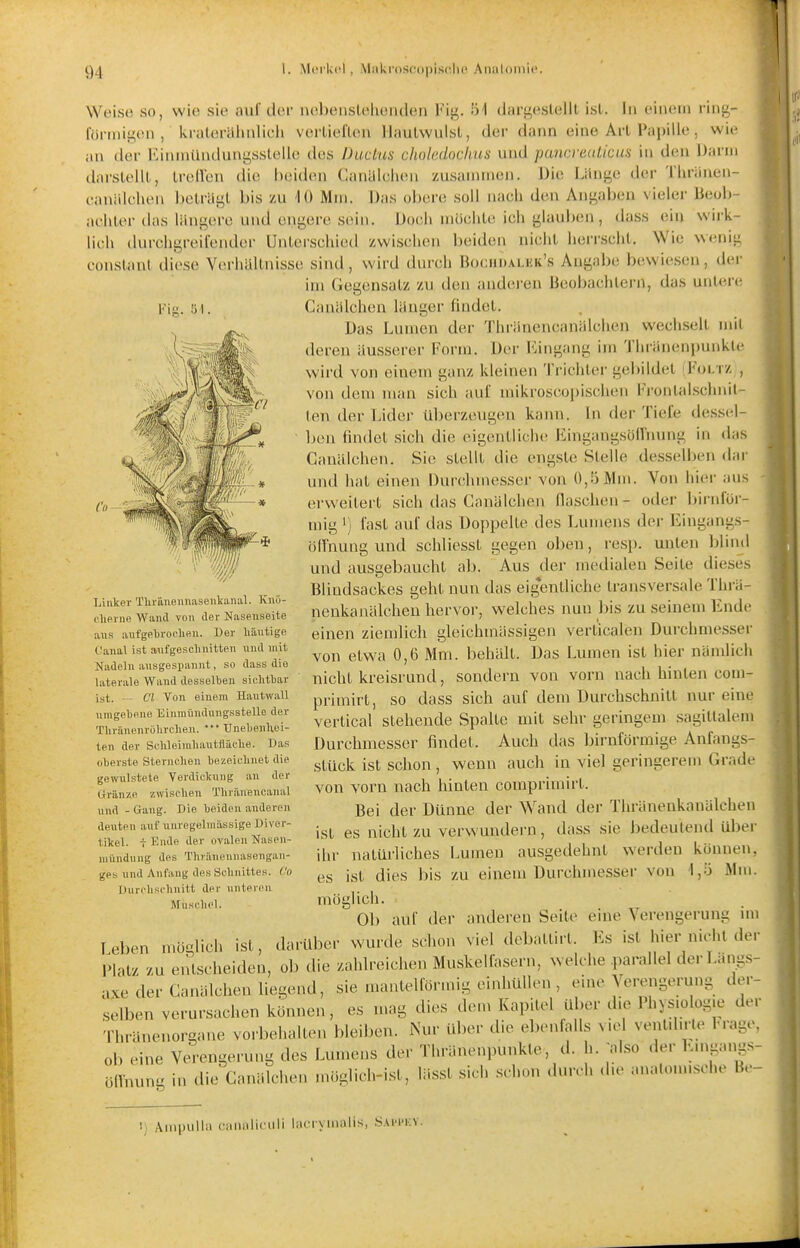 Woiso so, wio sit' iiul'clor iu!l)eiislelu!iul(Mi Fit^. ü'l dargeslelll isl. In einem i'inü,- röriniyen , krulorUhnlidi vertieflen llaulwulsl, der dann eine Art Papille, wie an der Eininilndungsstelle des Ductus choledochus und pancreaticus in den Darm darslelll, IrelVen die beiden Canülehen zusammen. Die Liini^e der Tln-iinen- eaniilchen helräi^l bis zu '10 Mm. Das obere soll nach den Angaben vieler Beob- aehler das lani;(!rc und engere siMn. Doch möchte ich t^laul)en, dass ein wirk- lich durchgreifender Unterschieil zwischen beiden nicht herrscht. Wie wenig constanl diese Verhältnisse sind, wird durch Bocuiiai.hk's Angabe bewiesen, der im Gegensatz zu den anderen Beobachtern, das untere l-'ig. 51. Co Cauillchen lauger findet. Das Lumen der Thränencanälclien wechselt mii deren äusserer Form. Der Eingang im Thränenpunkie wird von einem ganz kleinen Trichtei' gebildet Foi. iz , von dem man sich auf mikroscopischen Frontalschnit- ten der Lider Uberzeugen kann. In der Tiefe dessel- ben findet sich die eigentliche EingangsölFnung in das Canälchen. Sie stcillt die engste Stelle desselben dar und hat einen Durclnnesser von 0,5 Mm. Von hier aus erweitert sich das Canälchen Haschen- oder birnior- mig ') fast auf das Doppelte des Lumens der Eingangs- ölTnung und schliesst gegen oben, resp. unten blind und ausgebaucht ab. Aus der medialen Seite dieses Bliudsackes geht nun das eigentliche transversale Thrä- nenkanälcheu hervor, welches nun bis zu seinem Ende einen ziemlich glcichmässigen verticalen Durchmesser von etwa 0,6 Mm. behält. Das Lumen ist hier nämlich nicht kreisrund, sondern von vorn nach hinten com- primirt, so dass sich auf dem Durchschnitt nur eine vertical stehende Spalte mit sehr geringem sagittalem Durchmesser findet. Auch das birnförmige Anfangs- stück ist schon, wenn auch in viel geringerem Grade von vorn nach hinten comprimirt. Bei der Dünne der Wand der Thränenkanälchen ist es nicht zu verwundern, dass sie bedeuteiul übei- ihr natürliches Lumen ausgedehnt werden können, es ist dies bis zu einem Durchmesser von 1,5 Mm. möglich. Ob auf der anderen Seite eine Verengerung im Teben möglich ist, darüber wurde schon viel debattirt. Es ist hier nicht de. Platz zu entscheiden, ob die zahlreichen Muskelfasern, welche .parallel der Längs- axe der Canälchen liegend, sie mantelförndg einhüllen , eine Ve.;engerung der- selben verursachen können, es mag dies dem Kapitel über d.e Physiologie de. Thränenorgane vo.-behalte.i bleiben. Nur über die ebe.ifalls v.e ve.U.h.-le l-.-age, ob eine Ve.-engerung des Lumens de.« Th.-änenpunkte, d. h. 'also der E.nga.igs- öirnung in die Canälche,. möglich-ist, lässt sich .selu... dn.-eh <l.e am.lo.n.sehe Be- Linker Thrünennasenltanal. Knö- flipvne Wand von der Nasenseite aus aufge\)roclieii. Der häutige Canai ist aufgesclinitten und mit Nadeln ausgespannt, so dass die laterale Wand desselben sichtbar ist. — C'l Von einem Hautwall umgebene Einmüudungsstello der Thränenrülirchen. Unebenhei- ten der Schleimhautfiäche. Das oberste Sternchen bezeichnet die gewulstete Verdickung an der trränze zwischen Thränencanal und - Gang. Die beiden anderen deuten auf unregelmässige Diver- tikel, i Kude der ovalen Nasen- niündung des Thrünennasengau- ges und Anfang des Schnittes, f'o Durchschnitt der unteren Muschel. '.) AinpuUti c'iiiuilifiili liiciy.iialis, .S.vh'ky.