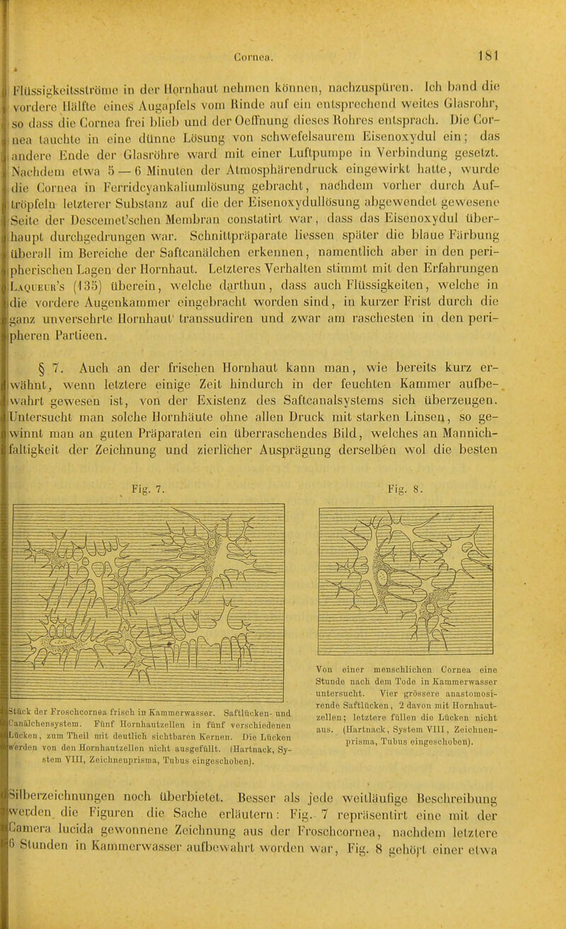 Flüssigkeitsslröme in der llornliaul nehmen können, nachzuspüren. Ich band die vordere Hälfte eines Augapfels vom Rinde auf ein cnlsprecliend weites Glasrohr, so dass die Cornea frei blieb und der Oefl'nung dieses Rohres entsprach. Die Cor- nea tauchte in eine dünne Lösung von schwefelsaurem Eisenoxydul ein; das andere Ende der Glasröhre ward mit einer Luftpumpe in Verbindung gesetzt. Nachdem etwa 5 — 6 Minuten der Atmosphiii-endruck eingewii'kt hatte, wurde die Cornea in Ferridcyankaliumlösung gebracht, nachdem vorher durch Auf- i tröpfeln letzlerer Substanz auf die der Eisenoxydullösung abgewendet gewesene Seite der Descemel'schen Membran constatirt war, dass das Eisenoxydul über- haupt durchgedrungen war. Schnittpräparatc Hessen später die blaue Färbung überall im Bereiche der Saftcanälchen erkennen, namentlich aber in den peri- pherischen Lagen der Hornhaut. Letzteres Verhalten stimmt mit den Erfahrungen Laqueur's (135) überein, welche darlhuu, dass auch Flüssigkeiten, welche in die vordere Augenkammer eingebracht worden sind, in kurzer Frist durch die ganz unversehrte Hornhaut' transsudiren und zwar am raschesten in den peri- pheren Parlieeu. § 7. Auch an der frischen Hornhaut kann man, wie bereits kurz er- wähnt, wenn letztere einige Zeit hindurch in der feuchten Kammer aufbe- wahrt gewesen ist, von der Existenz des Saftcanalsystems sich überzeugen. Untersucht man solche Hornhäute ohne allen Druck mit starken Linsen, so ge- winnt man an guten Präparaten ein überraschendes Bild, welches an Mannich- faltigkeit der Zeichnung und zierlicher Ausprägung derselben wol die besten Fig. 7. ätück der Froschcornea frisch in Kammerwasser. Saftlücken- und Oanälchensystem. Fünf Hornliantzellen in fünf verschiedenen Lücken, zum Theil mit deutlich sichtbaren Kernen. Die Lücken (Verden von den Hornhautzelleu nicht ausgefüllt. (Hartnack, Sy- stem VIII, Zeiclineuprisma, Tubus eingeschoben). Von einer menschlichen Cornea eine Stunde nach dem Tode in Kammerwasser untersucht. Vier grössere anastomosi- rende Saftlücken, 2 davon mit Ilornhaut- zellen; letztere füllen die Lücken nicht aus. (Hartnack, System VIII, Zeichnen- prisma, Tubus eingeschoben). Silberzeichnungen noch überbietet. Besser als jede weitläufige Beschreibung werden die Figuren die Sache erläutern: Fig.- 7 repräsentirt eine mit der Camera lucida gewonnene Zeichnung aus der Froschcornea, nachdem letztere 6 Stunden in Kammerwasser aufbewahrt worden war, Fig. 8 gehöft einer etwa