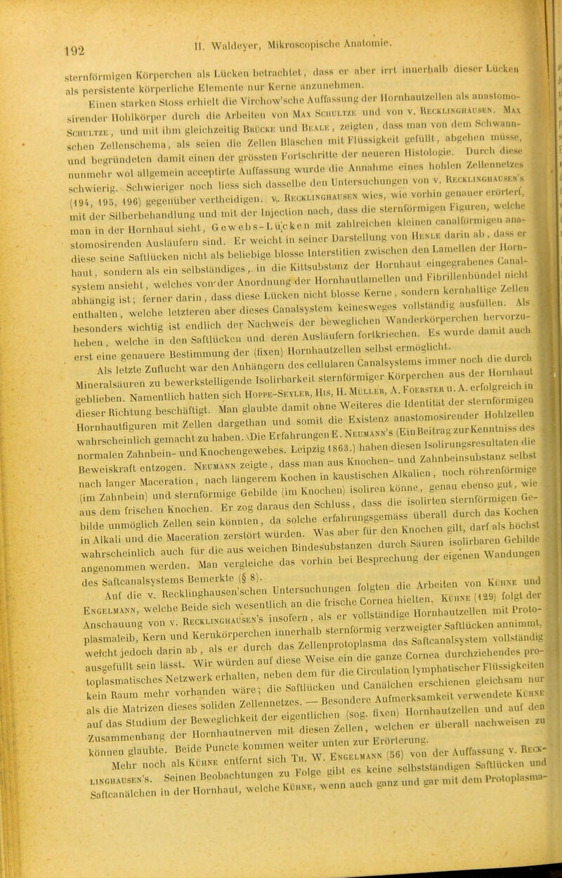 sternförmigen Körperchon als Lücken beiraclUet, .lass er al.er irrt inneri.alb dieser Lücken als persistente körperliche Elemente nur Kerne anzuiielinien. Finon starken Sloss erhielt die Virchow'schc Auffassung der llornhaulzellen als anastomo- .irender Hohlkörper .Uuch die Arbeilen von Max S.:nu..r/.K und von v. Rkckukchauskn. Max Scm-TZK , und n.it ihm gleichzeitig Bkückk und B.xuv., zeigten, <lass .nan von d.'.n Schwa.u.- 'chen Ze lenschenm, als seien die Zellen Bläschen mit Flüssigkeit gelullt abgehen müsse, . begründeten damit einen der grössten Fortschritte der neueren l.isto og.e. Durc d.ese H,nmohr>vol allgemein acceptirte Auffassung wde die Annahme e.nes hohb^n ^««'»-^ ^ sdm erb. Schwieriger noch Hess sich dasselbe den Untersuchungen von v. KKCK,.>NoaA,, s 7 t m ^ege^iber vertheidigen. Ukckunchaus,.- wies, wie vorh.n genauer e.^r^rC m t der S Iberbebandlung und nüt der Injection nach, dass die sternförm.ger, F.guren, welche ^a^^- d:^ Hornhaut siebt, Gewebs-Lüicken mit zahlreichen ^^^^^^^^l^^^^^^Z ston^osirenden Auslaufern sind. Er weicht in seiner Darstellung von 1 . '' ^^^ hebete7che in den Saftlüclccn und deren Au.Uiufern fortkriechen Es wurde dam.t auch erst eine genauere Bestimmung der (fixen) llornhautzellen selbst ermogbcht. • AI lette Zuflucht war den Anhängern des cellularen Canalsystems -mm^^^^^^^^^^ ^ ^ c Mineralsäuren zu bewerkstelligende Tsolirbarkeit sternförm.ger ^^^^^^ t „ : 1 geblieben. Namentlich hatten sich Hopp.-Sevleu, H.s, H. Mulleb, A. « ™ ''J^!^|,.„,i„,,, d e er Richtung beschäftigt. Man glaubte damit ohne Weiteres d.e Ident.tat 'l-;';'^^ ^^'f t::LautfigurL mit Zellen dargethan und somit ^ ^^^^^ '^^l .ahrscbeinlich gemacht zu haben. frfahrunge.. E^Ne^ s^mB^ ^^^^ ia 41kali und die Maccralion zerstört wurden. Was aber lu, den Knoc en S IhrseheinUch aucU tUr die aus .eichen Bin-lesubstanzen ure Sau.e^^^ angenommen werden. Man vergleiehe das vorhui bei Besprechun. E»or;j.. weiebe Beide siob wesenmeb an die .is.,e C^^^^^^^^ Ansehauung von v. KrCKU^aH^sB's «»'»^ ■ ,f'  „ °„eigter Satlluoken anniuuul p,asma,eib, Kern und KernkOrperebeu voiis.andi, weiclit jedocli dar.n ab , als e. durch das iei ei 1' J durcbiiebendes pr..^ ausge,™. sein iasst. Wir wurden - -e ^ e, - ,;^» ,,^,.„,,,„ ™,,,,„„„ loplasmatisches Netzwerk erhalten, <^.'^'^ J''^; Canälchea erschienen gleichsam nur JnRaum mehr vorhanden wäre ; ^^'^'f^'^'X^^ als die Mat,izen dieses soliden Zel e..net e . _^^^^^^^ „o....hautzellen und auf den auf das Studium der Bewegbcbke.t der e>ge ü cheM^^^^^^ 1 ) „^^^^^^ „.ehweisen zu iir.i.niTnniTiprven mit cl.esen/.eiien, wi-n.^«.- r„r:r;e^/B:,reC:-^^^ Mehr noch als KOn»< cn fernt sich .^^ E Y es keine selbslsUmdigon SafMücken und