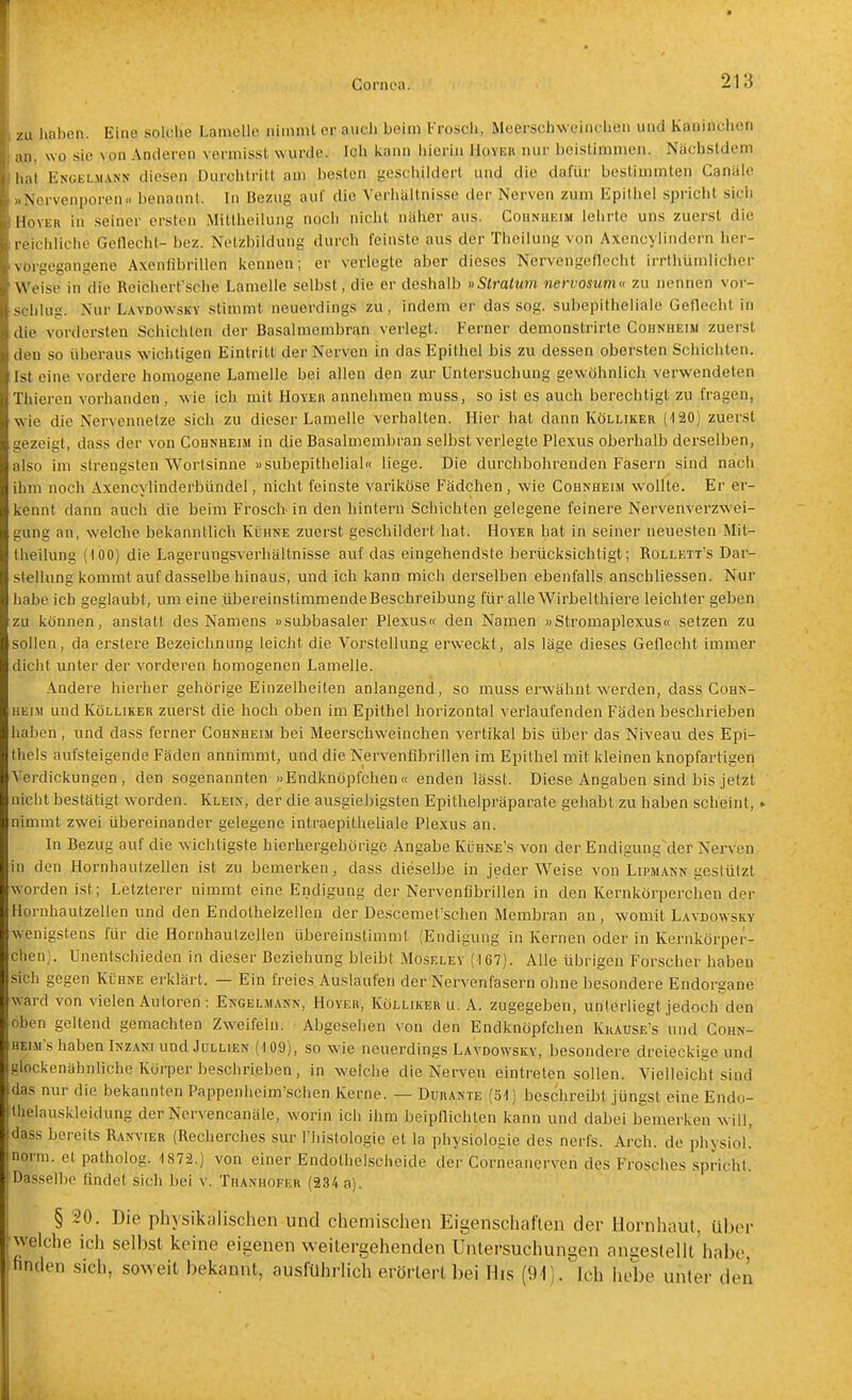 /II liaheii. Eine solche Lamelle iiiinml er auch beim l-roscii, Meerschweinchen und Kaninchen :ui, wo sie \on Antleren vermissl wurde. Ich kann hierin Hoyek nur beistimmen. Nächsldcm hat Engel-mann diesen Durchtritt am besten geschildert und die dafür bestimmten Ganiilc Nervenporen« benannt. In Bezug auf die Verliiiltnisse der Nerven zum Epitliel spricht sicli IloYER in seiner ersten Mittheilung noch nicht näher aus. Cohnheim lehrte uns zuerst die I 'ii-hliche Gellechl- bez. Netzbildung durch feinste aus der Theilung von Axencylindern her- Miraegansene Axenfibrillen kennen; er verlegte aber dieses Nervengeflecht irrthümlicher Weise in die Reichert'sche Lamelle selbst, die er deshalb »Stratum nervosum« zu nennen vor- > hing. Nur Lavdowsky stimmt neuerdings zu, indem er das sog. subepitheliale Geflecht in die vordersten Schichten der Basalmembran verlegt. Ferner demonstrirte Cohnheim zuerst (l.ni so überaus wichtigen Eintritt der Nerven in das Epithel bis zu dessen obersten Schichten. Ist eine vordere homogene Lamelle bei allen den zui' Untersuchung gewöhnlich verwendeten riiieren vorhanden, wie ich mit Hoyek annehmen muss, so ist es auch berechtigt zu fragen, w ie die Nervennetze sich zu dieser Lamelle verhalten. Hier hat dann Kölliker (120) zuerst gezeigt, dass der von Cohnheim in die Basalmembran selbst vei'legle Plexus oberhalb derselben, also im strengsten Wortsinne »subepithelial« liege. Die durchbohrenden Fasern sind nach ihm noch Axencylinderbündel, nicht feinste variköse Fädchen, wie Cohnheim wollte. Er er- kennt dann auch die beim Frosch in den hintern Schichten gelegene feinere Nervenverzwei- gung an, welche bekanntlich Kühne zuerst geschildert hat. Hoyer hat in seiner neuesten Mit- Iheilung (tOO) die Lagerungsverhältnisse auf das eingehendste berücksichtigt; Rollett's Dar- stellung kommt auf dasselbe hinaus, und ich kann mich derselben ebenfalls anschliessen. Nur habe ich geglaubt, um eine üljereinstimmendeBeschreibung für alle Wirbelthiere leichter geben zu können, anstatt des Namens «subbasaler Plexus« den Namen «Stromaplexus« setzen zu sollen, da erstere Bezeichnung leicht die Vorstellung erweckt, als läge dieses Geflecht immer dicht unter der vorderen homogenen Lamelle. Andere hierher gehörige Einzelheiten anlangend, so muss erwähnt werden, dass Cohn- heim und Kölliker zuerst die hoch oben im Epithel horizontal verlaufenden Fäden beschrieben haben, und dass ferner Cohnheim bei Meerschweinchen vertikal bis über das Niveau des Epi- thels aufsteigende Fäden annimmt, und die Nervenfibrillen im Epithel mit kleinen knopfartigen Verdickungen, den sogenannten »Endknöpfchen« enden lässt. Diese Angaben sind bis jetzt nicht bestätigt w orden. Klein, der die ausgiebigsten Epithelpräparate gehabt zu haben scheint,» nimmt zwei übereinander gelegene intraepitheliale Plexus an. In Bezug auf die wichtigste hierhergehörige Angabe Kühn£\s von der Endigung der Nerven in den Hornhautzellen ist zu bemerken, dass dieselbe in jeder Weise von Lipmann gestützt worden ist; Letzterer nimmt eine Endigung der Nervenflbrillen in den Kernkörpereben der Hornhautzellen und den Endothelzellen der Des'cemet'schen Membran an , womit Lavdowsky wenigstens für die Hornhautzellen übereinstimmt (Endigung in Kernen oder in Kernkörper- chen). Unentschieden in dieser Beziehung bleibt Moseley (167). Alle übrigen Forscher haben sich gegen Kühne erklärt. — Ein freies Auslaufen der Nervenfasern ohne besondere Endorgane ward von vielen Autoren : Engelmann, Hoyer, Kölliker u. A. zugegeben, unterliegt jedoch den oben geltend gemachten Zweifeln. Abgesehen von den Endknöpfchen Krause's und Cohn- heim's haben Inzani und Jüllien (109), so wie neuerdings Lavdowsky, besondere dreieckige und glockenahnliche Küi-per beschrieben, in welche die Nerven eintreten sollen. Vielleicht sind das nur die bekannten Pappenheim'schen Kerne. — Dürante (Sl) beschreibt jüngst eine Endo- llielauskleidung der Nervencanäle, worin ich ihm beipflichten kann und dabei bemerken will, dass bereits Ranvier (Recherches sur riiistologie et la physiologie des nerfs. Arch. de physiol.' norm, et patholog. 1872.) von einer Endothelscheide der Corneanerven des Frosches spricht. 'Dasselbe findet sich bei v. Thanhofer (234 a). § 20. Die physikcilischen und chemischen Eigenschaften der Hornhaut. Uber ■welche ich selbst keine eigenen weilergehenden Untersuchungen angeslelll habe, finden sich, soweit bekannt, ausführüch erörtert bei His (91). Ich hebe unter den