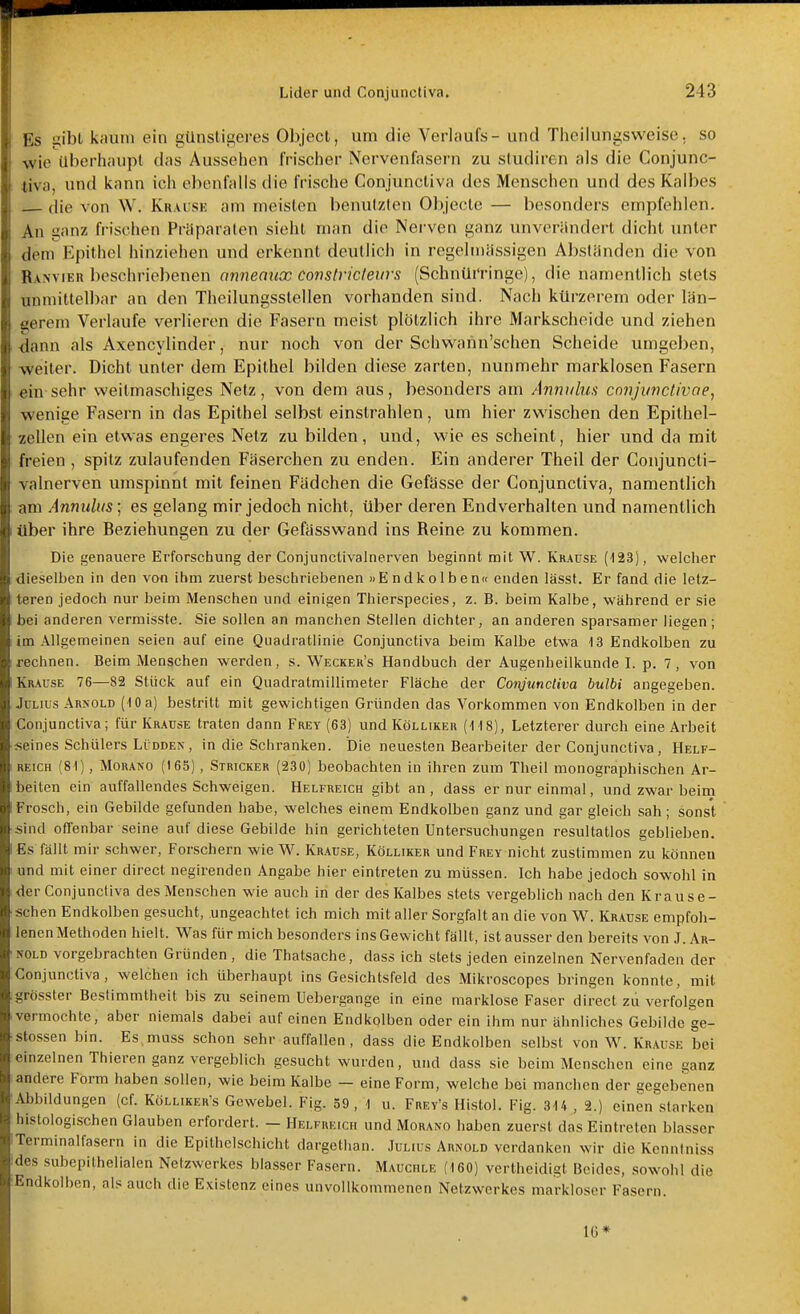 Es gibl kaum ein günstigeres Object, um die Verlaufs - und Thcilungsweise. so wie überhaupt das Aussehen frischer Nervenfasern zu sludiren als die Conjunc- tiva, und kann ich ebenfalls die frische Conjunctiva des Menschen und des Kalbes die von W. Krai:sk am meisten benutzten 01)jecte — besonders empfehlen. An ganz frischen Präparaten sieht man die Nei-ven ganz unverändert dicht unter dem Epithel hinziehen und erkennt deutlich in regelmässigen Abständen die von Ranvieb beschriebenen anneaux constriefews (Schnüi'ringe), die namentlich stets unmittelbar an den Theilungsstellen vorhanden sind. Nach kürzerem oder län- gerem Verlaufe verlieren die Fasern meist plötzlich ihre Markscheide und ziehen dann als Axencylinder, nur noch von der Schwann'schen Scheide umgeben, weiter. Dicht unter dem Epithel bilden diese zarten, nunmehr marklosen Fasern ein sehr weitmaschiges Netz, von dem aus, besonders am Anivdua conjunctivae, wenige Fasern in das Epithel selbst einstrahlen, um hier zwischen den Epithel- zellen ein etwas engeres Netz zu bilden, und, wie es scheint, hier und da mit freien , spitz zulaufenden Fäserchen zu enden. Ein anderer Theil der Conjuncli- valnerven umspinnt mit feinen Fädchen die Gefässe der Conjunctiva, namentlich am Anmihts; es gelang mir jedoch nicht, über deren Endverhalten und namentlich über ihre Beziehungen zu der Gefässwand ins Reine zu kommen. Die genauere Erforschung der Conjunctivalnerven beginnt mit W. Krause (123), welcher dieselben in den von ihm zuerst beschriebenen »Endkolben« enden lässt. Er fand die letz- teren jedoch nur beim Menschen und einigen Thierspecies, z. B. beim Kalbe, während er sie bei anderen vermisste. Sie sollen an manchen Stellen dichter, an anderen sparsamer liegen; im Allgemeinen seien auf eine Quadratlinie Conjunctiva beim Kalbe etwa 13 Endkolben zu rechnen. Beim Menschen werden, s. Weckek's Handbuch der Augenheilkunde I. p. 7, von Krause 76—82 Stück auf ein Quadratmillimeter Fläche der Conjunctiva bulbi angegeben. Julius Arnold ( lOa) bestritt mit gewichügen Gründen das Vorkommen von Endkolben in der Conjunctiva; für Krause traten dann Frey (63) und Kölliker (M8), Letzterer durch eine Arbeit seines Schülers LüDDEN, in die Schranken. Die neuesten Bearbeiter der Conjunctiva, Helf- reich (81), MoRANO (165), Stricker (230) beobachten in ihren zum Theil monographischen Ar- beiten ein auffallendes Schweigen. Helfreich gibt an , dass er nur einmal, und zwar beim Frosch, ein Gebilde gefunden habe, welches einem Endkolben ganz und gar gleich sah ; sonst sind offenbar seine auf diese Gebilde hin gerichteten Untersuchungen resultatlos geblieben. Es fällt mir schwer, Forschern wie W. Krause, Kölliker und Frey nicht zustimmen zu können und mit einer direct negirenden Angabe hier eintreten zu müssen. Ich habe jedoch sowohl in der Conjunctiva des Menschen wie auch in der des Kalbes stets vergeblich nach den Krause- schen Endkolben gesucht, ungeachtet ich mich mit aller Sorgfalt an die von W. Krause empfoh- lenen Methoden hielt. Was für mich besonders ins Gewicht fällt, ist ausser den bereits von J. Ar- nold vorgebrachten Gründen, die Thatsache, dass ich stets jeden einzelnen Nervenfaden der Conjunctiva, welchen ich überhaupt ins Gesichtsfeld des Mikroscopes bringen konnte, mit grösster Bestimmtheit bis zu seinem Uebergange in eine marklose Faser direct zu verfolgen vermochte, aber niemals dabei auf einen Endkolben oder ein ihm nur ähnliches Gebilde ge- stossen bin. Es muss schon sehr auffallen, dass die Endkolben selbst von W. Krause bei einzelnen Thieren ganz vergeblich gesucht wurden, und dass sie beim Menschen eine ganz andere Form haben sollen, wie beim Kalbe — eine Form, welche bei manchen der gegebenen Abbildungen (cf. Kölliker's Gewebel. Fig. 59, \ u. Frey's Histol. Fig. 314 , 2.) einen starken histologischen Glauben erfordert. — Helfreich und Morano haben zuerst das Eintreten blasser Terminalfasern in die Epithclschicht dargethan. Julius Arnold verdanken wir die Kenntniss des subepithelialen Netzwerkes blasser Fasern. Mauchle (160) vertheidigt Beides, sowohl die Endkolbcn, als auch die Existenz eines unvollkommenen Netzwerkes markloser Fasern. IC*