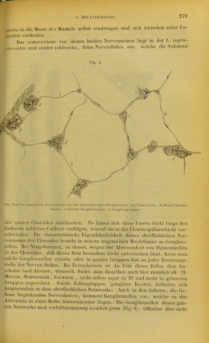 neven in die Masse des Muskels selbst eindringen und sich zwischen seine La- mellen vertheilen. Das ersterwähnte von diesen beiden Nervcnnetzen liegt in der L. supra- choroidea und sendet zahlreiche, feine Nervenfaden aus, welche die Substanz Fig. 8. in Tlieil des gangliöseu Nerveiinetzes aus der Clioroidea eines NeugeTjorneii. a) Ciliarnerven, h) Blasse Nerven- fasern, e) Isolirte Ganglienzellen, d] Gangliengruppen. der ganzen Clioroidea durchsetzen. Es lassen sich diese Fasern leicht längs den Gefässen mittleren Calibers verfolgen, worauf sie in der Choriocapillarschicht ver- schwinden. Die characteristische Eigenthümlichkeit dieses oberflächlichen Ner- vennetzes der Choroidea besteht in seinem ungemeinen Reichthume an Ganglien- zellen. Bei Neugeborenen, an denen, wegen der Abwesenheit von Pigmentzellen in der Choroidea, sich dieses Netz besonders leicht untersuchen lässt, kann man solche Ganglienzellen einzeln oder in ganzen Gruppen fast an jeder Kreuzungs- stelle der Nerven finden. Bei Erwachsenen ist die Zahl dieser Zellen dem An- scheine nach kleiner, dennoch findet man dieselben auch hier ziemlich oft (H. Müller, Sciiweiggek, Saemisch) , nicht selten sogar zu 20 und mehr in grösseren Gruppen angeordnet. Solche Zellengruppen (gangliöse Knoten) befinden sich hauptsächlich in dem oberflächlichen Netzwerke. Auch in den tieferen, die Ge- lasse begleitenden Nervenfasern, kommen Ganglienzellen vor, welche in der Adventilia in einer Reihe hintereinander liegen. Die Ganglienzellen dieses gan- zen Netzwerks sind verhältnissmässig ziemlich gross (Fig. 9). OlTenbar aber steht