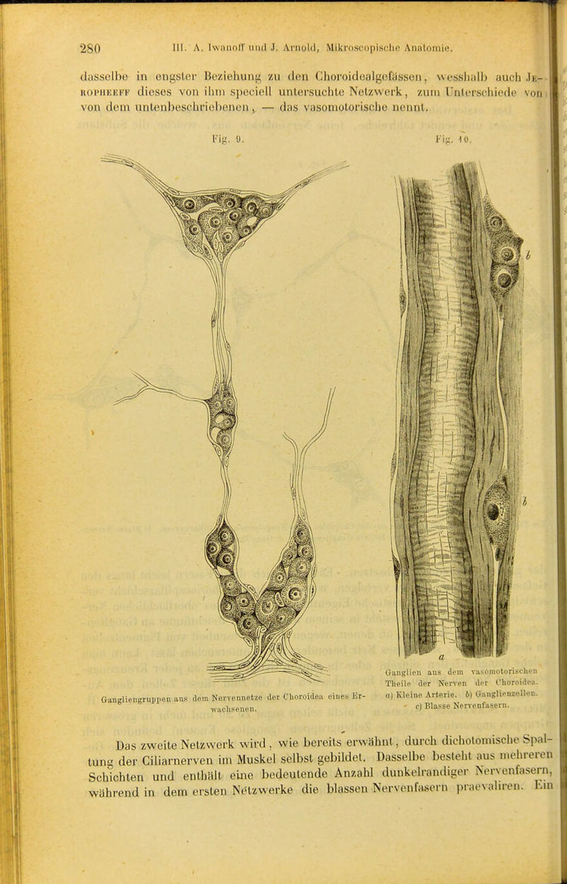 dasselbe in engster Beziehunu; zu den Choroidealgelüssen, wesslialb auch Je- ROPiiKKFF dieses von ilmi speciell untersuchte Netzwerk, zum Unterschiede von von dem untenbeschriehenen, — das vasomotorische nennt. l'ig. 9. i-i;:. 10. Gangliengruppen aus dem Nervennetze der Clioroidea eines Kr- waclisenen. Ganglien aus dem vasomotorischen Tlieile der Nerven der Choroidea. a) Kleine Arterie. 6) Ganglienzellen, c) Blasse Nervenfasern. Das zweite Netzwerk wird , wie bereits erwähnt, durch dicholonnsche Spal- tung der Ciliarnerven im Muskel selbst gebildet. Dasselbe besteht aus mehreren Schichten und enthält eUie bedeutende Anzahl dunkelrandiger Nervenfasern, während in dem ersten Netzwerke die blassen Nervenfasern praevahren. Em