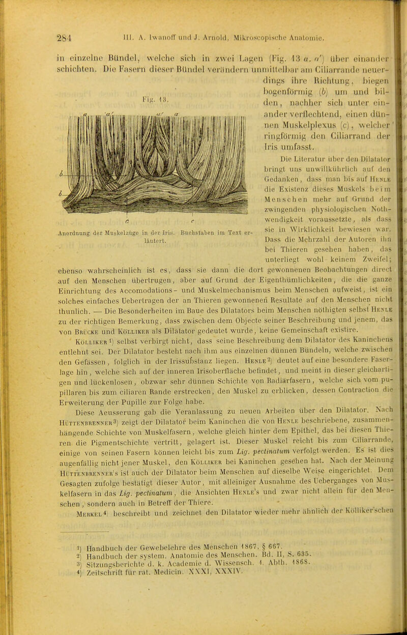 cinzoliio Bündel, welche sich in zwei I.jigen (Ki^. 13 u. a'] ulicr einander in sciiichten l'i^. VA. Anorduung der Muskelzüge in der Iria. Buchstaben im Text er- läutert. Die Fasern dieser BUnilel veriindcrn nnniiUellnjr am Ciiiarrande neuer- dings ihre ttichlung, l)iegen l)ogenfürniig [b] um und bil- den , nachher sich unter ein- ander vcrllechlend, einen dün- nen Muskelplexus (c), -welcher ' ringlörmig den Ciliarrand der Iris unifasst. , Die Literatur liber den Dilatalor bringt uns unwiiiliüiirlici) auf den Gcdani<en , dass man bis auf Henlk die E.xistenz dieses Mus]<els beim Mensclien mehr auf Grund der zwingenden pliysiologischen Notii- wendigivcit voraussetzte, als dass sie in Wirklichiveit bewiesen war. Dass die Mehrzahl der Autoren iim bei Tliieren gesehen haben, das unterliegt wohl keinem Zweifel; ebenso wahrscheinlich ist es, dass sie dann die dort gewonnenen Beobachtungen direct auf den Menschen übertrugen, aber auf Grund der Eigenthiimlichkeiten, die die ganze Einrichtung des Accomodations- und Muskelmechanismus beim Menschen aufweist, ist ein solches einfaches Ueberlragen der an Thieren gewonnenen Resultate auf den Menschen nicht thunlich. — Die Besonderheiten im Baue des Dilatators beim Menschen nöthigten selbst Henle zu der richtigen Bemerkung, dass zwischen dem Objecte seiner Beschreibung und jenem, das von Brücke und Köllikeh als Dilatator gedeutet wurde, keine Gemeinschaft exislire. KöllikerI) selbst verbirgt nicht, dass seine Beschreibung dem Dilatator des Kaninchens entlehnt sei. Der Dilatator besteht nach ihm aus einzelnen dünnen Bündeln, welche zwischen denGefässen, folglich in der IrissuLstanz liegen. Henle^) deutet auf eine besondere Faser- lage hin , welche sich auf der inneren Irisoberfläche befindet, und meint in dieser gleicharti- gen und lückenlosen, obzwar sehr dünnen Schichte von Radiärfasern, welche sich vom pu- pillaren bis zum ciliaren Rande erstrecken, den Muskel zu erblicken, dessen Contraction die Erweiterung der Pupille zur Folge habe. Diese Aeusserung gab die Veranlassung zu neuen Arbeiten über den Dilatator. Nach HÜTTENBRENNER3) zeigt der Dilatator beim Kaninchen die von Henle beschriebene, zusammen- hängende Schichte von Muskelfasern, welche gleich hinter dem Epithel, das bei diesen Thie- ren die Pigmentschichte vertritt, gelagert ist. Dieser Muskel reicht bis zum Ciiiarrande, einige von seinen Fasern können leicht bis ^um Lig. pectinaltim verfolgt werden. Es ist dies augenfällig nicht jener Muskel, den Kölliker bei Kaninchen gesehen hat. Nach der Meinung Hütt'enbrenner's ist auch der Dilatator beim Menschen auf dieselbe Weise eingerichtet. Dem Gesagten zufolge bestätigt dieser Autor, mit alleiniger Ausnahme des Ueberganges von Mus- kelfasern in das Lig. pectinatum, die Ansichten Henle's und zwar nicht allein für den Men- .schen , sondern auch in Betreff der Thiere. Merkel 4| beschreibt und zeichnet den Dilatator wieder mehr ähnlich der Kölliker'schen 1) Handbuch der Gewebelehre des Menschen 1867, § 667. 2) Handbuch der System. Anatomie des Menschen. Bd. H, S. 635. 3) Sitzungsberichte'(1. k. Acadcmie d. Wissensch. 1. Abth. 1S6S. 4) Zeitschrift für rat. Medicin. XNXI, .XX.XIV.