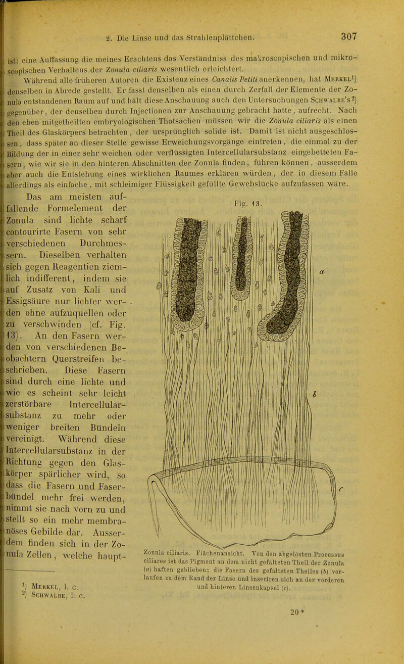 ,1. eine Auffassung die meines Eraclitens das Verständniss des makroscopischen und mikro- opischen Verhaltens der Zonula ciliaris wesentlich erleichtert. Während alle früheren Autoren die Existenz eines Ckinalis Petiti anerkcnuon, hat Mkrkel') ,li'nselben in Abrede gestellt. Er fasst denselben als einen durch Zerfall der Elemente der Zo- luilii entstandenen Raum auf und hält diese Anschauung auch den Untersuchungen Schwalbe's2) Lienüber, der denselben durch Injectionen zur Anschauung gebracht hatte, aufrecht. Nach . ,,11 eben mitgetheiltcn embryologischen Thatsaehen müssen wir die Zonula ciliaris als einen I heil des Glaslvörpers betrachten , der ursprünglich solide ist. Damit ist nicht ausgeschlos- u, dass später an dieser Stelle gewisse Erweichungsvorgänge eintreten, die einmal zu der lilung der in einer sehr weichen oder verflüssigten Intercellularsubstanz eingebetteten Fa- rn, wie wir sie in den hinteren Abschnitten der Zonula finden, führen können , ausserdem er auch die Entstehung eines wirklichen Raumes erklären würden, der in diesem Falle iilerdings als einfache , mit schleimiger Flüssigkeit gefüllte Gewebslücke aufzufassen wäre. Das am meisten auf- 1 il lande Formelement der Zonula sind lichte scharf (ontourirte Fasern von sehr M'schiedenen Durchmes- in. Dieselben verhalten sich gegen Reagentien ziem- lich indifferent, indem sie • lul' Zusatz von Kali und I ssigsäure nur lichter wer- en ohne aufzuquellen oder Fig. 13. Fig. /II verschwinden (cf. Iii. An den Fasern wer- den von verschiedenen Be- obachtern Querstreifen be- schrieben. Diese Fasern sind durch eine bebte und [wie es scheint sehr leicht zerstörbare Intercellular- substanz zu mehr oder weniger breiten Bündeln vereinigt. Während diese Intercellularsubstanz in der Richtung gegen den Glas- ikörper spärlicher wird, so dass die Fasern und Faser- )>Undel mehr frei werden, nimmt sie nach vorn zu und stellt so ein mehr membra- nöses Gebilde dar. Ausser- dem finden sich in der Zo- nula Zellen, welche haupt- 'j Merkel, 1. c. ^) Schwalbe, 1. c. Zonula ciliaris. Fläclienausiclit. Von den abgelösten Processus ciliares ist das Pigment an dem nicht gefalteten Theil der Zonula (a) haften geblieben; die Fasern des gefalteten Theiles (i) vor- laufen zu dem Rand der Linse und inseriren sich an der vorderen und hinteren Linsenkapsel (c). 2&*