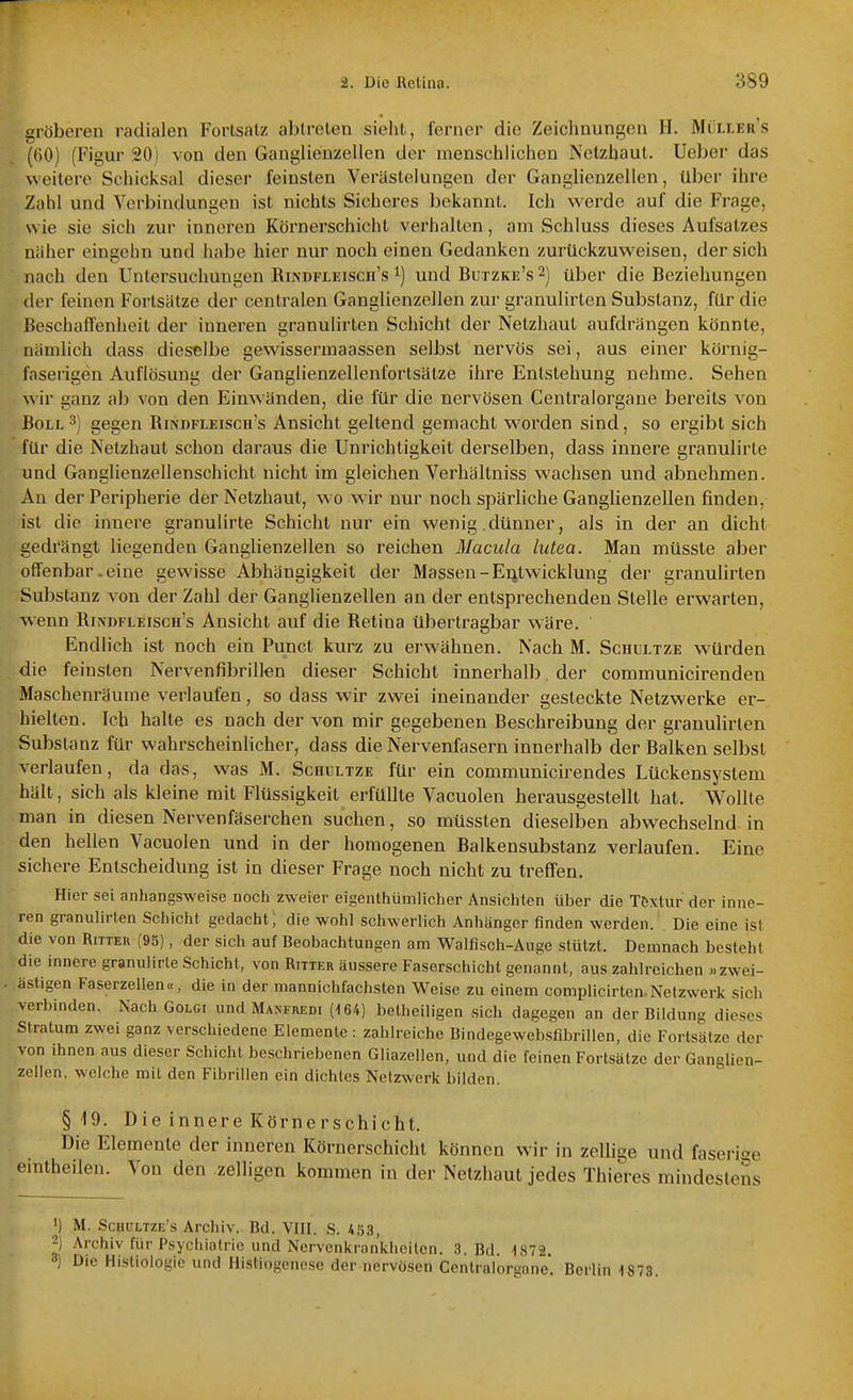 gröberen radialen Forlsatz abtreten sieht, ferner die Zeichnungen H. Mlllek's (GO) (Figur 20) von den Ganglienzellen der menschlichen Netzhaut. Ueber das weitere Schicksal dieser feinsten Verästelungen der Ganglienzellen, über ihre Zahl und Verbindungen ist nichts Sicheres bekannt. Ich werde auf die Frage, wie sie sich zur inneren Körnerschicht verhalten, am Schluss dieses Aufsatzes näher eingehn und habe hier nur noch einen Gedanken zurückzuweisen, der sich nach den Untersuchungen Rindfleisch's und Butzke's 2) über die Beziehungen der feinen Fortsätze der centralen Ganglienzellen zur granulirten Substanz, für die Beschaffenheit der inneren granulirten Schicht der Netzhaut aufdrängen könnte, nämlich dass dieselbe gewissermaassen selbst nervös sei, aus einer körnig- laserigen Auflösung der Ganglienzellenfortsätze ihre Entstehung nehme. Sehen wir ganz ab von den Einwänden, die für die nervösen Centraiorgane bereits von Boll 3) gegen Rindfleisch's Ansicht geltend gemacht worden sind, so ergibt sich ' für die Netzhaut schon daraus die Unrichtigkeit derselben, dass innere granulirle und Ganglienzellenschicht nicht im gleichen Verhältniss wachsen und abnehmen. An der Peripherie der Netzhaut, wo wir nur noch spärliche Ganglienzellen finden, ist die innere granulirte Schicht nur ein wenig .dünner, als in der an dicht gedrängt liegenden Ganglienzellen so reichen Macula lutea. Man müsste aber offenbar, eine gewisse Abhängigkeit der Massen-Entwicklung der granuUrten Substanz von der Zahl der Ganglienzellen an der entsprechenden Stelle erwarten, wenn Rindfleisch's Ansicht auf die Retina übertragbar wäre. Endlich ist noch ein Punct kurz zu erwähnen. Nach M. Schultze würden die feinsten Nervenfibrillen dieser Schicht innerhalb, der communicirenden Maschenräume verlaufen, so dass wir zwei ineinander gesteckte Netzwerke er- hielten. Ich halte es nach der von mir gegebenen Beschreibung der granulirten Substanz für wahrscheinlicher, dass die Nervenfasern innerhalb der Balken selbst verlaufen, da das, was M. Schultze für ein communicirendes Lückensystem hält, sich als kleine mit Flüssigkeit erfüllte Vacuolen herausgestellt hat. Wollte man in diesen Nervenfäserchen suchen, so müssten dieselben abwechselnd in den hellen Vacuolen und in der homogenen Balkensubstanz verlaufen. Eine sichere Entscheidung ist in dieser Frage noch nicht zu treffen. Hier sei anhangsweise noch zweier eigenlhümlicher Ansichten über die Textur der inne- ren granulirten Schicht gedacht; die wohl schwerlich Anhänger finden werden. Die eine ist die von Ritter (95), der sich auf Beobachtungen am Walfisch-Auge stützt. Demnach besteht die innere granulirle Schicht, von Ritter äussere Faserschicht genannt, aus zahlreichen »zwei- ästigen Faserzellen«, die in der niannichfachsten Weise zu einem complicirten.Netzwerk sich verbinden. Nach Golgi und Masfredi (164) betheiligen sich dagegen an der Bildung dieses Stratum zwei ganz verschiedene Elemente : zahlreiche Bindegewebsfibrillen, die Fortsätze der von ihnen aus dieser Schicht beschriebenen Gliazellen, und die feinen Fortsätze der Ganglien- zellen, welche mit den Fibrillen ein dichtes Netzwerk bilden. §19. Die innere Körnerschicht. Die Elemente der inneren Körnerschicht können wir in zellige und faserige eintheilen. Von den zelligen kommen in der Netzhaut jedes Thieres mindestens ') M. Schültze's Archiv. Bd. VIII. S. 453, -) Archiv für Psychiatric und Nervenkrankheiten. 3. Bd. 1872. 3) Die Histiologie und Histiogenese der nervösen Centraiorgane. Berlin 4 873.