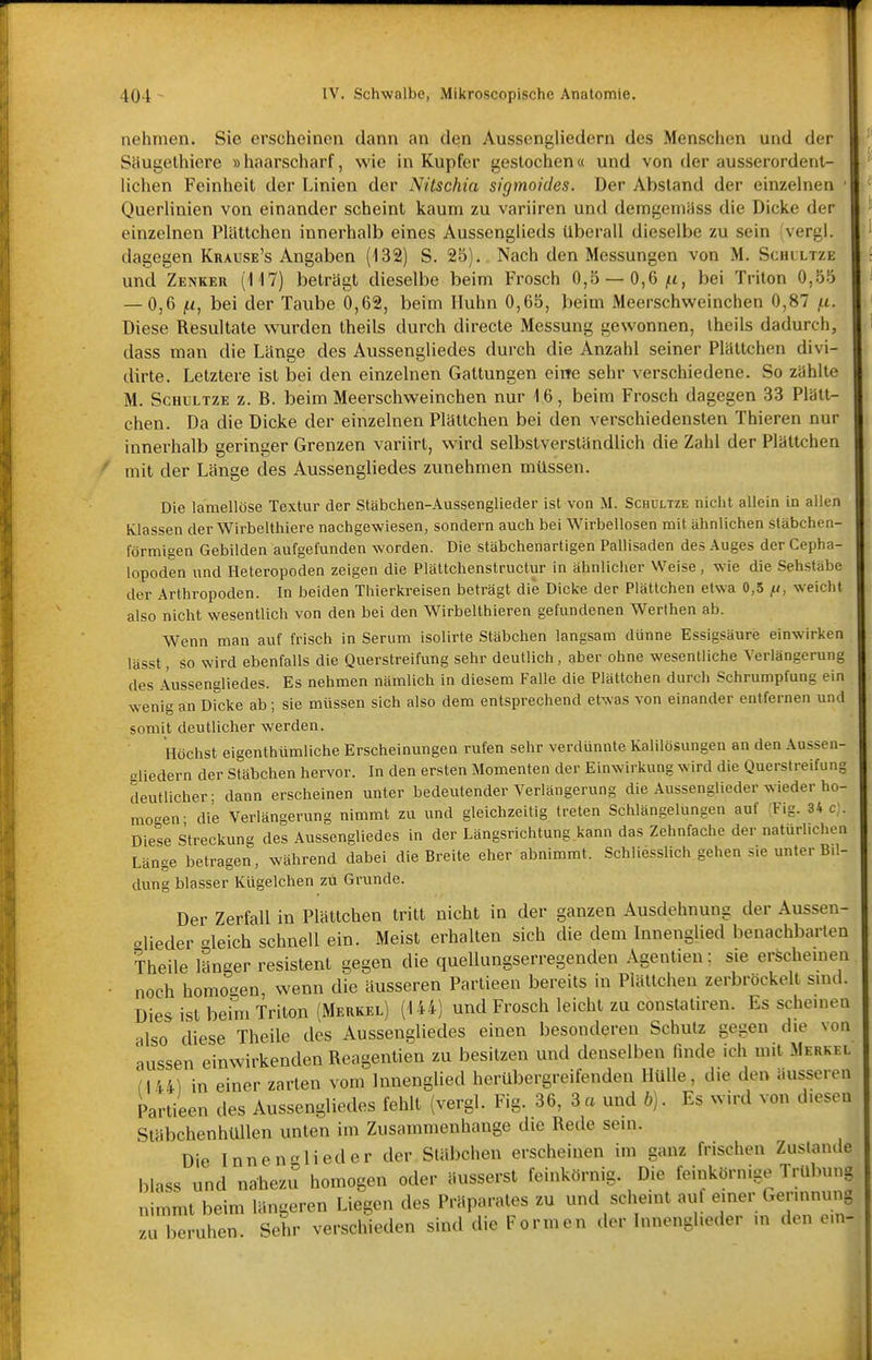 nehmen. Sie erscheinen dann an den Aussengliedern des Menschen und der Säugethiere »haarscharf, wie in Kupfer gestochen« und von der ausserordent- lichen Feinheit der Linien der Nitschia sigmoides. Der Abstand der einzelnen Querlinien von einander scheint kaum zu variiren und demgemass die Dicke der einzelnen Plättchen innerhalb eines Aussengiieds überall dieselbe zu sein 'vergl. dagegen Krause's Angaben (132) S. 25). Nach den Messungen von M. Sciilltze und Zenker (M7) beträgt dieselbe beim Frosch 0,^~0,&(.i, bei Triton 0,55 — 0,6 f.1, bei der Taube 0,62, beim Huhn 0,65, beim Meerschweinchen 0,87 /.i. Diese Resultate wurden theils durch directe Messung gewonnen, iheils dadurch, dass man die Länge des Aussengliedes durch die Anzahl seiner Plättchen divi- dirte. Letztere ist bei den einzelnen Gattungen eine sehr verschiedene. So zählte M. ScHULTZE z. B. beim Meerschweinchen nur 16, beim Frosch dagegen 33 Plätt- chen. Da die Dicke der einzelnen Plättchen bei den verschiedensten Thieren nur innerhalb geringer Grenzen variirt, wird selbstverständlich die Zahl der Plättchen mit der Länge des Aussengliedes zunehmen müssen. Die lamellöse Textur der Stäbchen-Aussengliecler ist von M. Schultze nicht allein in allen Klassen derWirbelthiere nachgewiesen, sondern auch bei Wirbellosen mit ähnlichen stäbchen- förmigen Gebilden aufgefunden worden. Die stäbchenartigen Pallisaden des Auges der Cepha- lopoden und Heteropoden zeigen die Plättchenstructur in ähnlicher Weise, wie die Sehstäbe der Arthropoden. In beiden Thierkreisen beträgt die Dicke der Plättchen etwa 0,5 weicht also nicht wesentlich von den bei den Wirbelthieren gefundenen Werthen ab. Wenn man auf frisch in Serum isolirte Stäbchen langsam dünne Essigsäure einwirken lässt, so wird ebenfalls die Querstreifung sehr deutlich, aber ohne wesentliche Verlängerung des Aussengliedes. Es nehmen nämlich in diesem Falle die Plättchen durch Schrumpfung ein wenig an Dicke ab; sie müssen sich also dem entsprechend etwas von einander entfernen und somit deutlicher werden. Höchst eigenthümliche Erscheinungen rufen sehr verdünnte Kalilösungen an den Aussen- eliedern der Stäbchen hervor. In den ersten Momenten der Einwirkung wird die Querstreifung deutlicher- dann erscheinen unter bedeutender Verlängerung die Aussenglieder wieder ho- mogen- die Verlängerung nimmt zu und gleichzeitig treten Schlängelungen auf (Fig. 34 cj. Diese Streckung des Aussengliedes in der Längsrichtung kann das Zehnfache der natürlichen Länge betragen, während dabei die Breite eher abnimmt. Schliesslich gehen sie unter Bil- dung blasser Kügelchen zü Grunde. Der Zerfall in Plättchen tritt nicht in der ganzen Ausdehnung der Aussen- alieder «leich schnell ein. Meist erhalten sich die dem Innenglied benachbarten Theile länger resistent gegen die quellungserregenden Agentien: sie erscheinen noch homogen, wenn die äusseren Partieen bereits in Plättchen zerbröckelt sind. Dies ist beim Triton (Merkel) (144) und Frosch leicht zu constatiren. Es scheinen also diese Theile des Aussengliedes einen besonderen Schutz gegen die von aussen einwirkenden Reagentien zu besitzen und denselben finde ich mit Merkel l\U] in einer zarten vom Innenglied herübergreifenden Hülle, die den äusseren Partieen des Aussengliedes fehlt (vergl. Fig. 36, 3 a und 6). Es wird von diesen Stäbchenhüllen unten im Zusammenhange die Rede sein. Die Inn engl ied er der Stäbchen erscheinen im ganz frischen Zustande blass und nahezu homogen oder äusserst feinkörnig. Die feinkörnige Trübung nimmt beim längeren Liegen des Präparates zu und scheint aul einer Gerinnung zu