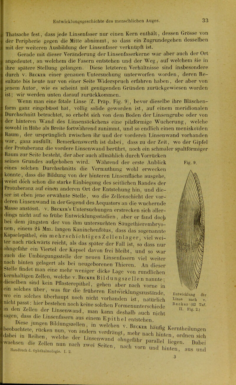 Thatsache fest, dass jede Linsenfaser nur einen Kern enthält, dessen Grösse von der Peripherie gegen die Mitte abnimmt, so dass ein Zugrundegehen desselben mit der weiteren Ausbildung der Linsenfaser verknüpft ist. Gerade mit dieser Veränderung der Linsenfaserkerne war aber auch der Ort angedeutet, an welchem die Fasern entstehen und der Weg, auf welchem sie in ihre spätere Stellung gelangen. Diese letzteren Verhältnisse sind insbesondere durch V. Becker einer genauen Untersuchung unterworfen worden, deren Re- sultate bis heute nur von einer Seite Widerspruch erfahren haben, der aber von jenem Autor, wie es scheint mit genügenden Gründen zurückgewiesen worden ist; wir werden unten darauf zurückkommen. Wenn man eine fötale Linse (Z. Präp. Fig. 9), bevor dieselbe ihre Bläschen- form ganz eingebüsst hat, völlig solide geworden ist, auf einem meridionalen Durchschnitt betrachtet, so erhebt sich von dem Boden der Linsengrube oder von der hinteren Wand des Linsensäckchens eine pilzförmige Wucherung, welche sowohl in Höhe als Breite fortwährend zunimmt, und so endlich einen meniskoiden Raum, der ursprünglich zwischen ihr und der vorderen Linsenwand vorhanden war, ganz ausfüllt. Bemerkenswerth ist dabei, dass zu der Zeit, wo der Gipfel der Protuberanz die vordere Linsenwand berührt, noch ein schmaler spaltförraiger Raum zur Seite besteht, der aber auch allmählich durch Vorrücken seines Grundes aufgehoben wird. Während der erste Anblick Fig. 9. eines solchen Durchschnitts die Vermuthung wohl erwecken könnte, dass die Bildung von der hinteren Linsenfläche ausgehe, weist doch schon die starke Einbiegung des seitlichen Randes der Protuberanz auf einen anderen Ort der Entstehung hin, und die- ser ist eben jene erwähnte Stelle, wo die Zellenschicht der vor- deren Linsenwand in der Gegend desAequators an die wuchernde Masse anstösst. v. Becker's Untersuchungen erstrecken sich aller- dings nicht auf so frühe Entwicklungsstadien, aber er fand doc^ bei dem jüngsten der von ihm untersuchten Säugethierembryo- nen, einem 24 Mm. langen Kaninchenfötus, dass das sogenannte Kapselepithel, ein mehrschichtiges Zellenlager, viel wei- ter nach rückwärts reicht, als das später der Fall ist, so dass nur ohngefähr ein Viertel der Kapsel davon frei bleibt, und so war auch die Umbiegungsstelle der neuen Linsenfasern viel weiter nach hinten gelagert als bei neugeborenen Thieren. An dieser Stelle findet man eine mehr weniger dicke Lage von rundlichen kernhal l.gen Zellen, welche v. Becker B i 1 d u n g s z e 11 e n nannte • dieselben smd kein Pflasterepithel, gehen aber nach vorne in em solches über, was für die früheren Entwicklungszustände wo ein solches überhaupt noch nicht vorhanden ist, natürlich nicht passt: hier bestehen noch keine solchen Formenunterschiede m den Zellen der Linsenwand, man kann deshalb auch nicht sagen dass die Linsenfasern aus einem Epithel entstehen Diese jungen Bildungszellen, in welchen v. Becker hinfip .i •. beobachtete, rücken nun, von andern vonHnH..„. ^1  ^'''^^ Kerntheilungen da?jei in Reihen wachsen Ii Entwicklung Linse nach Becker (42 II- Fig. 2.) der V. Taf. die Handbuch d. Opli von andern verdrängt, mehr nach hinten ordnen sich welche der Linsenwand ohn^efähr nir^,]lpl i ' '''^'^''^^ Zellen nun nach zwei Seiten, nacVtruTut i ^'nus um^^ iithaimoiogie. I, 2. uiuieu, aus Und 3