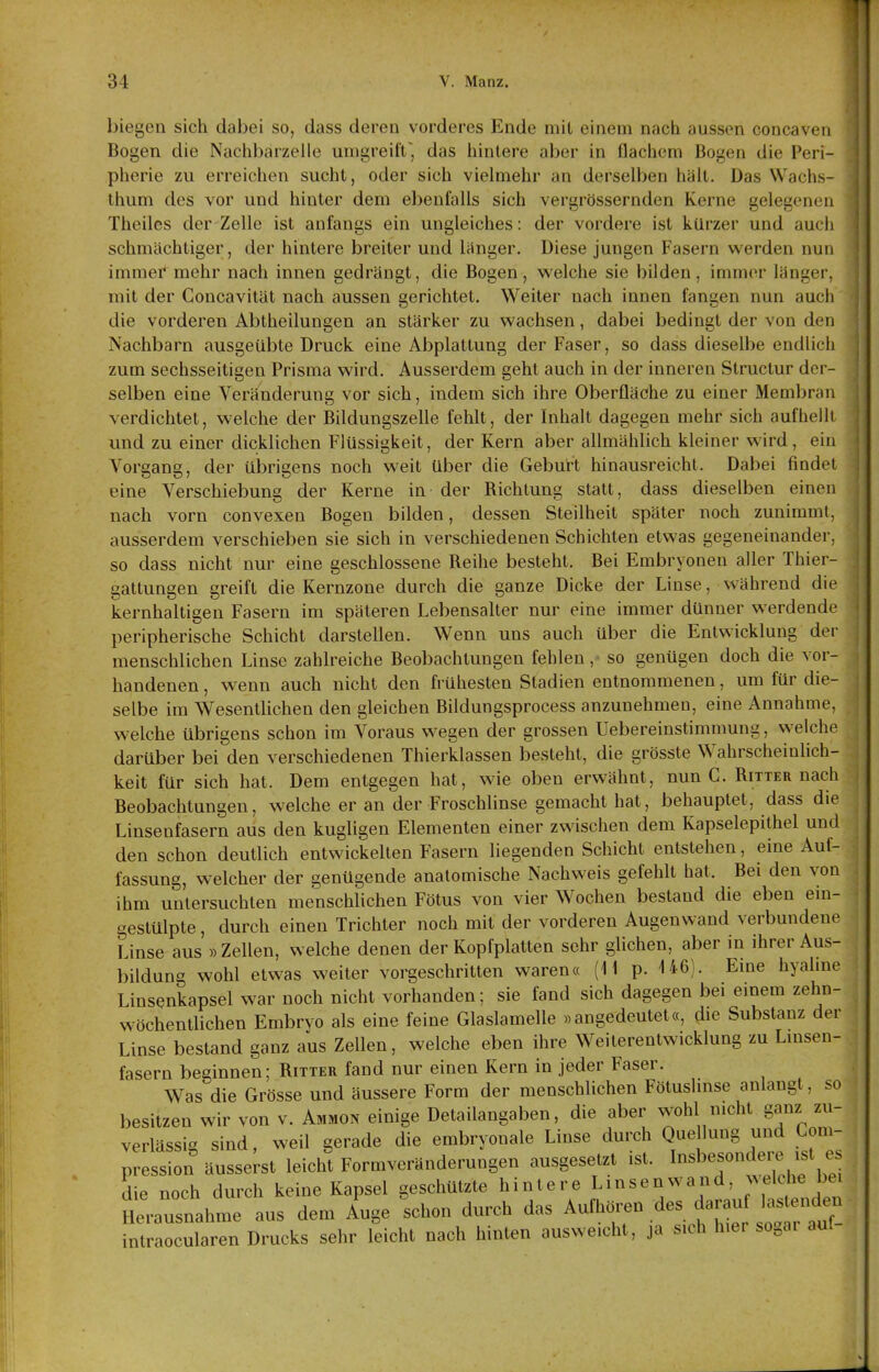 biegen sich dabei so, dass deren vorderes Ende mit einem nach aussen concaven Bogen die Nachbarzelle umgreift', das hintere aber in flachem Bogen die Peri- pherie zu erreichen sucht, oder sich vielmehr an derselben hält. Das Wachs- thum des vor und hinter dem ebenfalls sich vergrössernden Kerne gelegenen Theiles der Zelle ist anfangs ein ungleiches: der vordere ist kürzer und auch schmächtiger, der hintere breiter und länger. Diese jungen Fasern werden nun immei* mehr nach innen gedrängt, die Bogen, welche sie bilden, immer länger, mit der Coucavität nach aussen gerichtet. Weiter nach innen fangen nun auch die vorderen Abtheilungen an stärker zu wachsen, dabei bedingt der von den Nachbarn ausgeübte Druck eine Abplattung der Faser, so dass dieselbe endlich zum sechsseitigen Prisma wird. Ausserdem geht auch in der inneren Slructur der- selben eine Veränderung vor sich, indem sich ihre Oberfläche zu einer Membran verdichtet, welche der Bildungszelle fehlt, der Inhalt dagegen mehr sich aufhellt und zu einer dicklichen Flüssigkeit, der Kern aber allmählich kleiner wird, ein Vorgang, der übrigens noch weit über die Geburt hinausreicht. Dabei findet eine Verschiebung der Kerne in der Bichtung statt, dass dieselben einen nach vorn convexen Bogen bilden, dessen Steilheit später noch zunimmt, ausserdem verschieben sie sich in verschiedenen Schichten etwas gegeneinander, so dass nicht nur eine geschlossene Beihe besteht. Bei Embryonen aller Thier- gattungen greift die Kernzone durch die ganze Dicke der Linse, während die kernhaltigen Fasern im späteren Lebensalter nur eine immer dünner werdende peripherische Schicht darstellen. Wenn uns auch über die Entwicklung der menschlichen Linse zahlreiche Beobachtungen fehlen, so genügen doch die vor- handenen , wenn auch nicht den frühesten Stadien entnommenen, um für die- selbe im Wesentlichen den gleichen Bildungsprocess anzunehmen, eine Annahme, welche übrigens schon im Voraus wegen der grossen Uebereinstimmung, welche darüber bei den verschiedenen Thierklassen besteht, die grösste Wahrscheinlich- keit für sich hat. Dem entgegen hat, wie oben erwähnt, nun C. Bitter nach Beobachtungen, welche er an der Froschlinse gemacht hat, behauptet, dass die Linsenfasern aus den kugligen Elementen einer zwischen dem Kapselepithel und den schon deutlich entwickelten Fasern liegenden Schicht entstehen, eine Auf- fassung, welcher der genügende anatomische Nachweis gefehlt hat. Bei den von ihm untersuchten menschlichen Fötus von vier Wochen bestand die eben ein- gestülpte , durch einen Trichter noch mit der vorderen Augenwand verbundene Linse aus »Zellen, welche denen der Kopf platten sehr glichen, aber in ihrer Aus- bildung wohl etwas weiter vorgeschritten waren« (11 p. 146). Enie hyahne Linsenkapsel war noch nicht vorhanden; sie fand sich dagegen bei einem zehn- wöchentlichen Embryo als eine feine Glaslamelle »angedeutet«, ^le Substanz der Linse bestand ganz aus Zellen, welche eben ihre Weiterentwicklung zu Lmsen- fasern beginnen; Bitter fand nur einen Kern in jeder Faser. Was die Grösse und äussere Form der menschlichen Fötuslinse anlangt, so besitzen wir von v. Ammon einige Detailangaben, die aber wohl nicht ganz zu- verlässig sind, weil gerade die embryonale Linse durch Que lung und Gom- pression äusserst leicht Formveränderungen ausgesetzt ist. I-^^^^-^ere ist es die noch durch keine Kapsel geschützte hintere Linsenwand, ;^el^he bei Herausnahme aus dem Auge schon durch das Aufhören des darau^^ ^^^^^^^^^^^^^^^ intraocularen Drucks sehr leicht nach hinten ausweicht, ja sich hier sogai aul