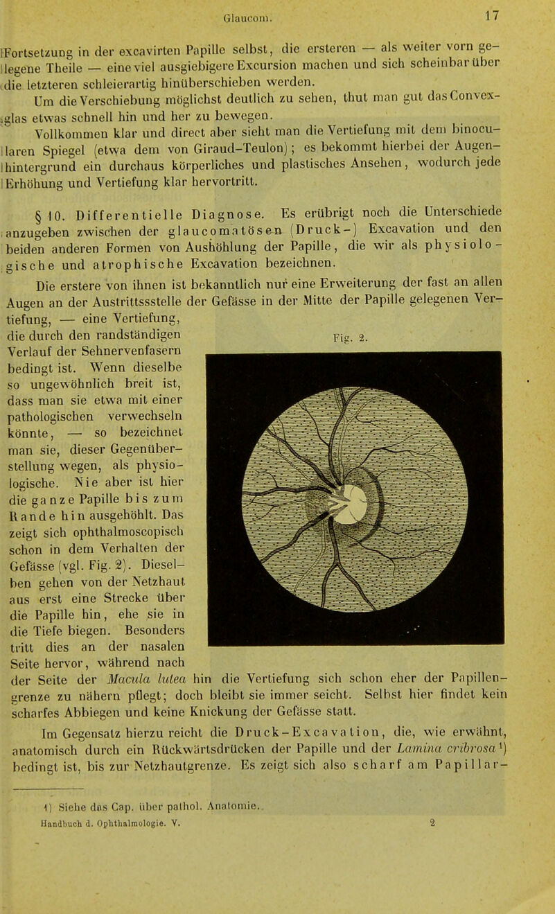 tFortselzung in der excavirten Papille selbst, die ersteren — als weiter vorn ge- liegene Theile — eine viel ausgiebigereExcursion machen und sich scheinbar Uber ,die letzteren schleierartig hinüberschieben werden. Um die Verschiebung möglichst deutlich zu sehen, thut man gut das Convex- iglas etwas schnell hin und her zu bewegen. Vollkommen klar und direct aber sieht man die Vertiefung mit dem binocu- laren Spiegel (etwa dem von Giraud-Teulon); es bekommt hierbei der Augcn- Ihintergrund ein durchaus körperliches und plastisches Ansehen, wodurch jede 1 Erhöhung und Vertiefung klar hervortritt. § 10. Differentielle Diagnose. Es erübrigt noch die Unterschiede anzugeben zwischen der glaucomatosen (Druck-) Excavation und den beiden anderen Formen von Aushöhlung der Papille, die wir als physiolo- gische und atrophische Excavation bezeichnen. Die erstere von ihnen ist bekanntlich nur eine Erweiterung der fast an allen Augen an der Austrittssstelle der Gefässe in der Mitte der Papille gelegenen Ver- tiefung, — eine Vertiefung, die durch den randständigen Pig. 2. Verlauf der Sehnervenfasern bedingt ist. Wenn dieselbe so ungewöhnlich breit ist, dass man sie etwa mit einer pathologischen verwechseln könnte, — so bezeichnet man sie, dieser Gegenüber- stellung wegen, als physio- losische. Nie aber ist hier die ganze Papille bis zum Rande hin ausgehöhlt. Das zeigt sich ophthalmoscopisch schon in dem Verhallen der Gefässe (vgl. Fig. 2). Diesel- ben gehen von der Netzhaut aus erst eine Strecke über die Papille hin, ehe sie in die Tiefe biegen. Besonders tritt dies an der nasalen Seite hervor, während nach der Seite der Macula hilea hin die Vertiefung sich schon eher der Papillen- grenze zu nähern pflegt; doch bleibt sie immer seicht. Selbst hier findet kein scharfes Abbiegen und keine Knickung der Gefässe statt. Im Gegensalz hierzu reicht die Druck-Excava tion, die, wie erwähnt, anatomisch durch ein RückwärtsdrUcken der Papille und der Lamina cribrosa i) bedingt ist, bis zur Netzhautgrenze. Es zeigt sich also scharf am Papillar- 1) Sielie dns Cap. über palhol. .\naloniie. Handbuch d. Oplitlmlraologie. V. 2