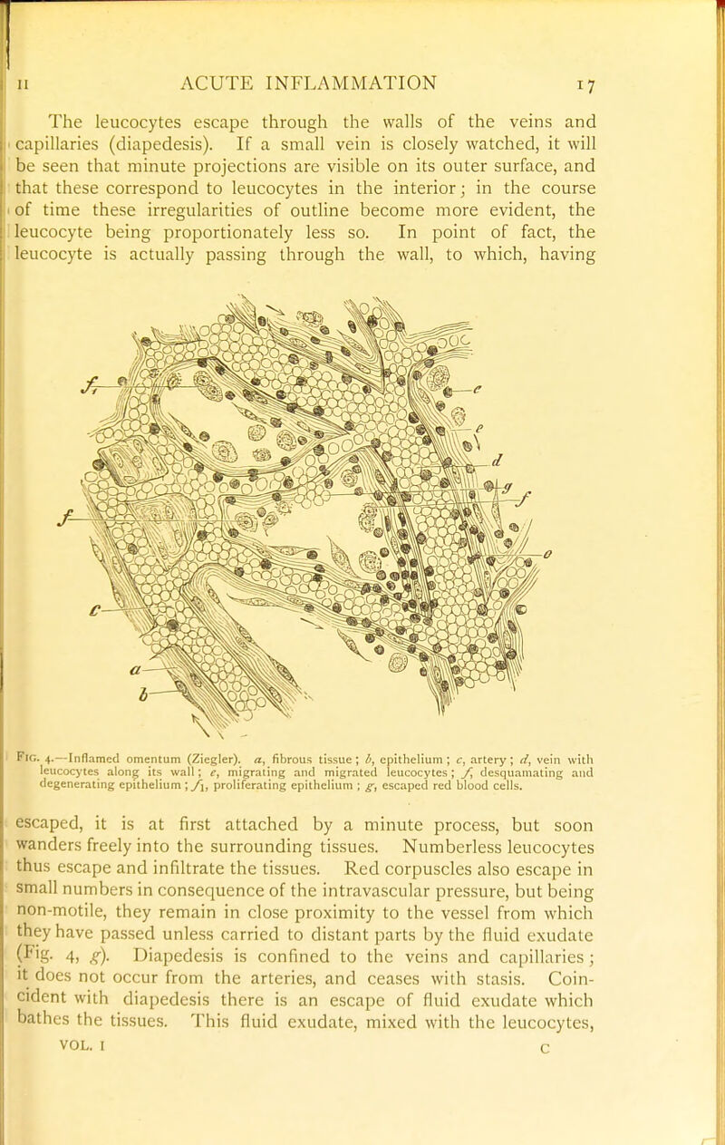 The leucocytes escape through the walls of the veins and I capillaries (diapedesis). If a small vein is closely watched, it will be seen that minute projections are visible on its outer surface, and ■ that these correspond to leucocytes in the interior; in the course 1 of time these irregularities of outline become more evident, the ileucocyte being proportionately less so. In point of fact, the ! leucocyte is actually passing through the wall, to which, having Fig. 4.—Inflamed omentum (Ziegler). a, fibrous tissue; b, epithelium; c, artery; d, vein with leucocytes along its wall; e, migrating and migrated leucocytes; /, desquamating and degenerating epithelium; yi, proliferating epithelium ; g, escaped red blood cells. escaped, it is at first attached by a minute process, but soon wanders freely into the surrounding tissues. Numberless leucocytes thus escape and infiltrate the tissues. Red corpuscles also escape in small numbers in consequence of the intravascular pressure, but being non-motile, they remain in close proximity to the vessel from which they have passed unless carried to distant parts by the fluid exudate (■P'g- 4, ,?■)• Diapedesis is confined to the veins and capillaries; it does not occur from the arteries, and ceases with stasis. Coin- cident with diapedesis there is an escape of fluid exudate which bathes the tissues. This fluid exudate, mixed with the leucocytes, VOL. I c