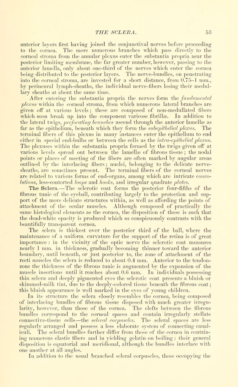 anterior layers first having joined the conjunctival nerves before proceeding to the cornea. The more numerous branches which pass directly to the corneal stroma from the annular plexus enter the substantia propria near the posterior limiting membrane, the far greater number, however, passing to the anterior lamella, only about one-third of the nerves which enter the cornea being distributed to the posterior layers. The nerve-bundles, on penetrating into the corneal stroma, are invested for a short distance, from 0.75-1 mm., by perineural lymph-sheaths, the individual nerve-fibers losing their medul- lary sheaths at about the same time. After entering the substantia propria the nerves form the fundamental plexus within the corneal stroma, from which numerous lateral branches are given off at various levels; these are composed of non-medullated fibers which soon break up into the component varicose .fibrillar In addition to the lateral twigs, perforating branches ascend through the anterior lamella? as far as the epithelium, beneath which they form the subepithelial plexus. The terminal fibers of this plexus in many instances enter the epithelium to end either in special end-bulbs or between the cells as the intra-epithelialplexus. The plexuses within the substantia propria formed by the twigs given off at various levels spread out between the lamellae of fibrous tissue; the nodal points or places of meeting of the fibers are often marked by angular areas outlined by the interlacing fibers; nuclei, belonging to the delicate nerve- sheaths, are sometimes present. The terminal fibers of the corneal nerves are related to various forms of end-organs, among which are intricate convo- lutions, less-contorted loops and hooks, and irregular quadrate plates. The Sclera.—The sclerotic coat forms the posterior four-fifths of the fibrous tunic of the eyeball, contributing largely to the protection and sup- port of the more delicate structures within, as well as affording the points of attachment of the ocular muscles. Although composed of practically the same histological elements as the cornea, the disposition of these is such that the dead-white opacity is produced which so conspicuously contrasts with the beautifully transparent cornea. The sclera is thickest over the posterior third of the ball, where the maintenance of a uniform curvature for the support of the retina is of great importance : in the vicinity of the optic nerve the sclerotic coat measures nearly 1 mm. in thickness, gradually becoming thinner toward the anterior boundary, until beneath, or just posterior to, the zone of attachment of the recti muscles the sclera is reduced to about 0.4 mm. Anterior to the tendon- zone the thickness of the fibrous tunic is augmented by the expansion of the muscle insertions until it reaches about 0.6 mm. In individuals possessing thin sclera; and deeply pigmented eyes the sclerotic coat presents a bluish or skimmed-milk tint, due to the deeply-colored tissue beneath the fibrous coat; this bluish appearance is well marked in the eyes of young children. In its structure the sclera closely resembles the cornea, being composed of interlacing bundles of fibrous tissue disposed with much greater irregu- larity, however, than those of the cornea. The clefts between the fibrous bundles correspond to the corneal spaces and contain irregularly stellate connective-tissue cells—the scleral corpuscles. The scleral spaces are less regularly arranged and possess a less elaborate system of connecting canal- iculi. The scleral bundles further differ from those of the cornea in contain- ing numerous elastic fibers and in yielding gelatin on boiling: their general disposition is ecjuatorial and meridional, although the bundles interlace with one another at all angles. In addition to the usual branched scleral corpuscles, those occupying the