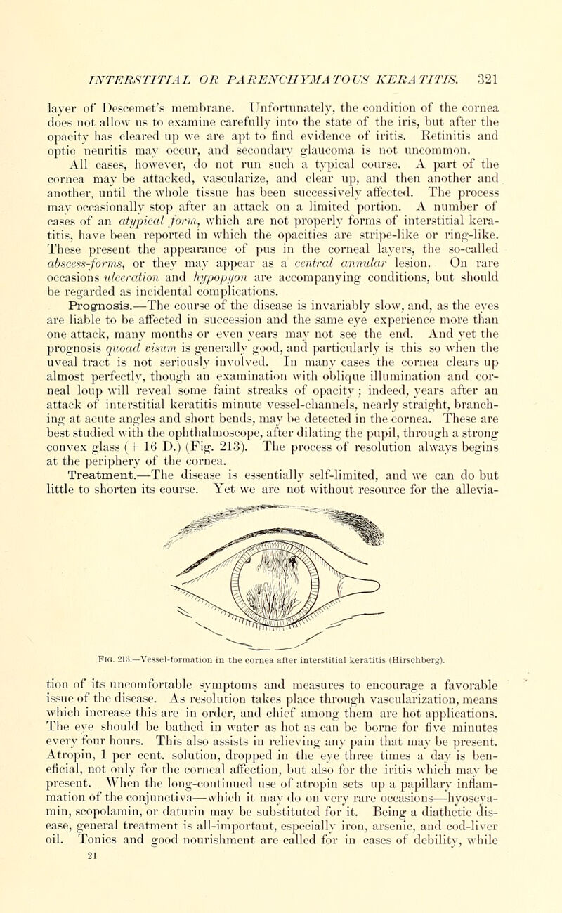 layer of Descemet's membrane. Unfortunately, the condition of the cornea does not allow us to examine carefully into the state of the iris, but after the opacity has cleared up we are apt to find evidence of iritis. Retinitis and optic neuritis may occur, and secondary glaucoma is not uncommon. All cases, however, do not run such a typical course. A part of the cornea may be attacked, vascularize, and clear up, and then another and another, until the whole tissue has been successively affected. The process may occasionally stop after an attack on a limited portion. A number of cases of an atypical form, which are not properly forms of interstitial kera- titis, have been reported in which the opacities are stripe-like or ring-like. These present the appearance of pus in the corneal layers, the so-called abscess-forms, or they may appear as a central annular lesion. On rare occasions ulceration and hypopyon are accompanying conditions, but should be regarded as incidental complications. Prognosis.—The course of the disease is invariably slow, and, as the eyes are liable to be affected in succession and the same eye experience more than one attack, many months or even years may not see the end. And yet the prognosis quoad visum is generally good, and particularly is this so when the uveal tract is not seriously involved. In many cases the cornea clears up almost perfectly, though an examination with oblique illumination and cor- neal loup will reveal some faint streaks of opacity; indeed, years after an attack of interstitial keratitis minute vessel-channels, nearly straight, branch- ing at acute angles and short bends, may be detected in the cornea. These are best studied with the ophthalmoscope, after dilating the pupil, through a strong convex glass (+ 16 D.) (Fig. 213). The process of resolution always begins at the periphery of the cornea. Treatment.—The disease is essentially self-limited, and we can do but little to shorten its course. Yet we are not without resource for the allevia- Fig. 213.—Vessel-formation in the cornea after interstitial keratitis (Hirschberg) tion of its uncomfortable symptoms and measures to encourage a favorable issue of the disease. As resolution takes place through vascularization, means which increase this are in order, and chief among them are hot applications. The eye should be bathed in water as hot as can be borne for five minutes every four hours. This also assists in relieving any pain that may be present. Atropin, 1 per cent, solution, dropped in the eye three times a day is ben- eficial, not only for the corneal affection, but also for the iritis which may be present. When the long-continued use of atropin sets up a papillary inflam- mation of the conjunctiva—which it may do on very rare occasions—hyoscya- min, scopolamin, or daturin may be substituted for it. Being a diathetic dis- ease, general treatment is all-important, especially iron, arsenic, and cod-liver oil. Tonics and good nourishment are called for in cases of debility, ^vhile