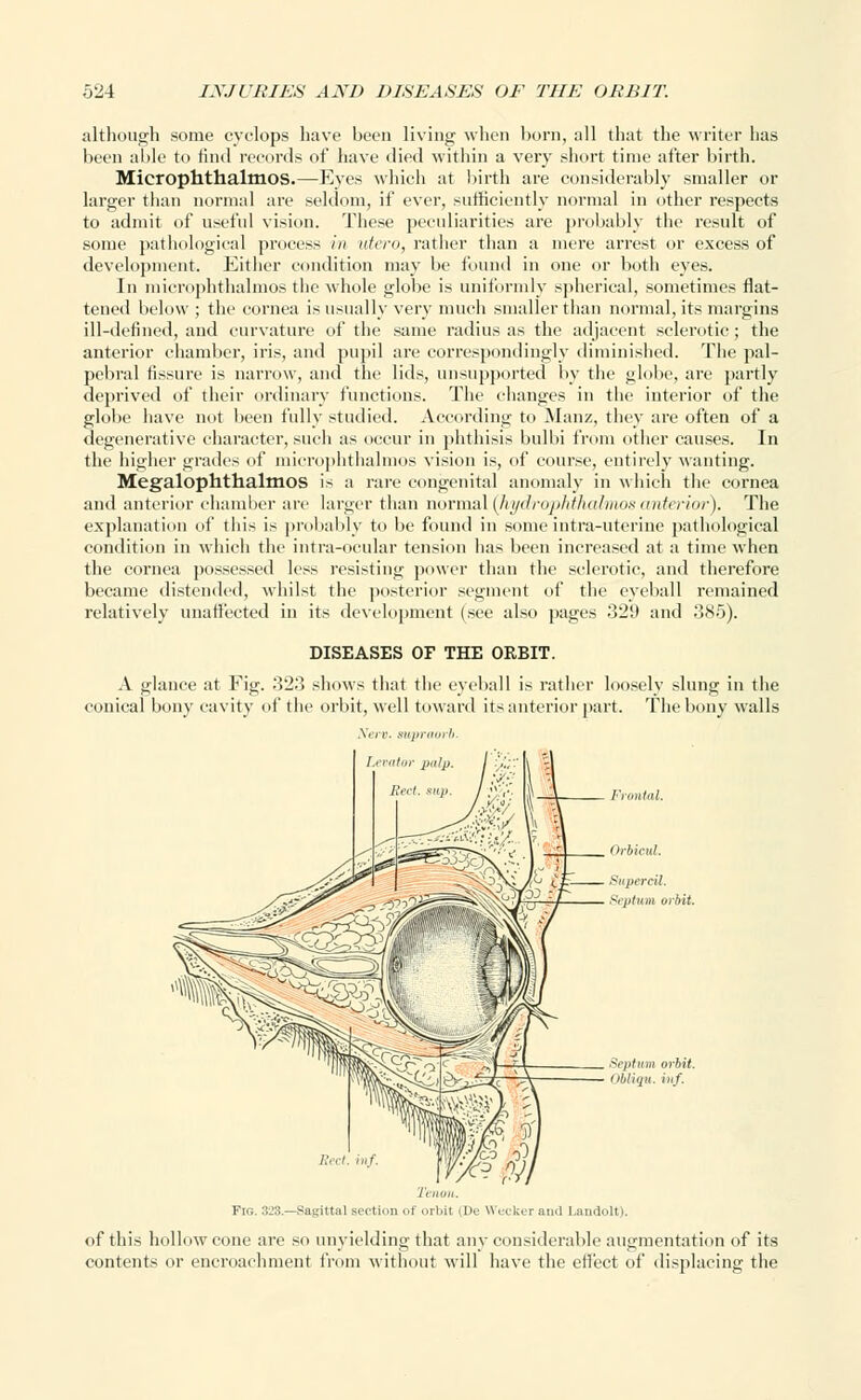 although some cyclops have been living when horn, all that the writer has been able to find records of have died within a very short time after birth. Microphthalmos.—Eyes which at birth are considerably smaller or larger than normal are seldom, if ever, sufficiently normal in other respects to admit of useful vision. These peculiarities are probably the result of some pathological process in iriero, rather than a mere arrest or excess of development. Either condition may be found in one or both eyes. In microphthalmos the whole globe is uniformly spherical, sometimes flat- tened below ; the cornea is usually very much smaller than normal, its margins ill-defined, and curvature of the same radius as the adjacent sclerotic; the anterior chamber, iris, and pupil are correspondingly diminished. The pal- pebral Assure is narrow, and the lids, unsupported by the globe, are partly deprived of their ordinary functions. The changes in the interior of the globe have not been fully studied. According to Manz, they are often of a degenerative character, such as occur in phthisis bulbi from other causes. In the higher grades of microphthalmos vision is, of course, entirely wanting. Megalophthalmos is a rare congenital anomaly in which the cornea and anterior chamber are larger than normal (hydropkthedmos anterior). The explanation of this is probably to be found in some intra-uterine pathological condition in which the intra-ocular tension has been increased at a time when the cornea possessed less resisting power than the sclerotic, and therefore became distended, whilst the posterior segment of the eyeball remained relatively unaffected in its development (see also pages 329 and 385). DISEASES OF THE ORBIT. A glance at Fig. 323 shows that the eyeball is rather loosely slung in the conical bony cavity of the orbit, well toward its anterior part. The bony walls Septum orbit. Obliqu. inf. Fig. 3:>3.—Sagittal section of orbit (De Weeker and Landolt). of this hollow cone are so unyielding that any considerable augmentation of its contents or encroachment from without will have the effect of displacing the