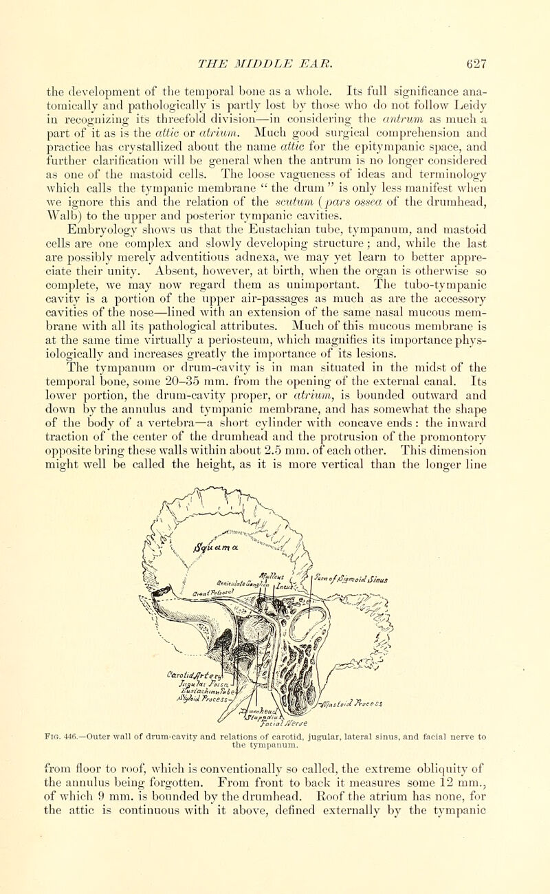 the development of the temporal bone as a whole. Its full significance ana- tomically and pathologically is partly lost by those who do not follow Leidy in recognizing its threefold division—in considering the antrum as much a part of it as is the attic or atrium. Much good surgical comprehension and practice has crystallized about the name attic for the epitympanic space, and further clarification will be general when the antrum is no longer considered as one of the mastoid cells. The loose vagueness of ideas and terminology which calls the tympanic membrane  the drum is only less manifest when we ignore this and the relation of the scutum {pars ossea of the drumhead, Walb) to the upper and posterior tympanic cavities. Embryology shows us that the Eustachian tube, tympanum, and mastoid cells are one complex and slowly developing structure; and, while the last are possibly merely adventitious adnexa, we may yet learn to better appre- ciate their unity. Absent, however, at birth, when the organ is otherwise so complete, we may now regard them as unimportant. The tubo-tympanic cavity is a portion of the upper air-passages as much as are the accessory cavities of the nose—lined with an extension of the same nasal mucous mem- brane with all its pathological attributes. Much of this mucous membrane is at the same time virtually a periosteum, which magnifies its importance phys- iologically and increases greatly the importance of its lesions. The tympanum or drum-cavity is in man situated in the midst of the temporal bone, some 20-35 mm. from the opening of the external canal. Its lower portion, the drum-cavity proper, or atrium, is bounded outward and down by the annulus and tympanic membrane, and has somewhat the shape of the body of a vertebra—a short cylinder with concave ends: the inward traction of the center of the drumhead and the protrusion of the promontory opposite bring these walls within about 2.5 mm. of each other. This dimension might well be called the height, as it is more vertical than the longer line Fig. 446.—Outer wall of drum-cavity and relations of carotid, jugular, lateral sinus, and facial nerve to the tympanum. from floor to roof, which is conventionally so called, the extreme obliquity of the annulus being forgotten. From front to back it measures some 12 mm., of which 9 mm. is bounded by the drumhead. Roof the atrium has none, for the attic is continuous with it above, defined externally by the tympanic