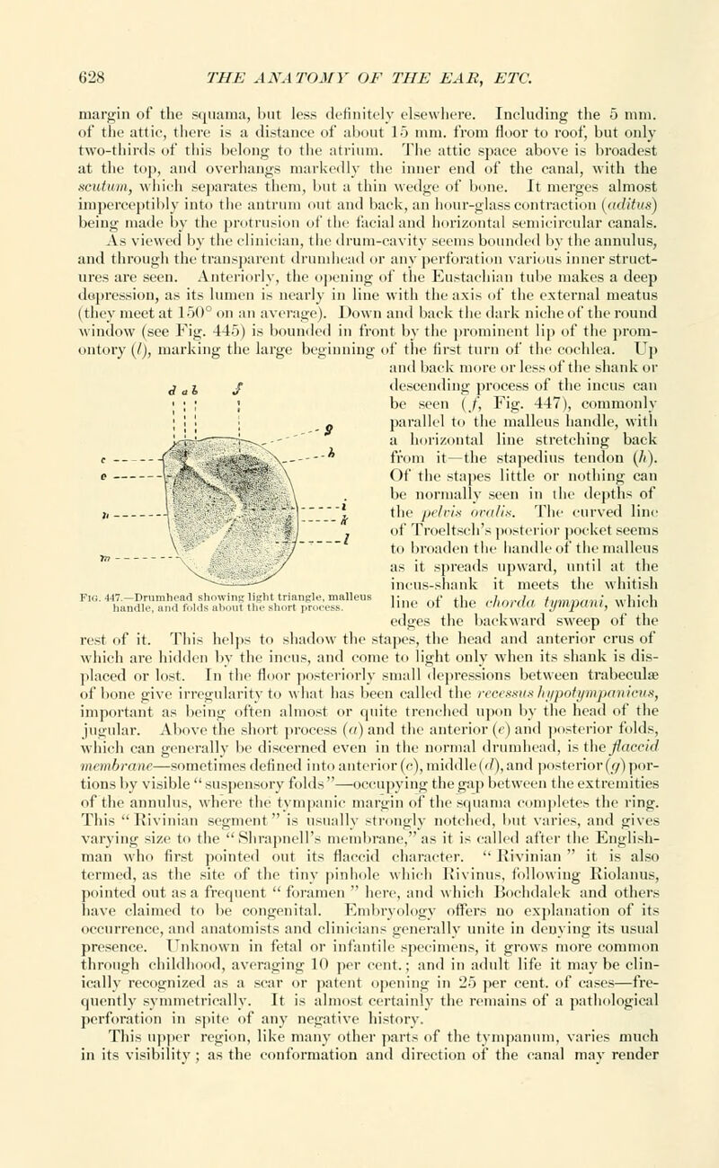 margin of the squama, but less definitely elsewhere. Including the 5 mm. of the attic, there is a distance of about 15 mm. from floor to roof, but only two-thirds of this belong to the atrium. The attic space above is broadest at the toj), and overhangs markedly the inner end of the canal, with the scutum, which separates them, but a thin wedge of bone. It merges almost imperceptibly into the antrum out and back, an hour-glass contraction (aditus) being made by the protrusion of the facial and horizontal semicircular canals. As viewed by the clinician, the drum-cavity seems bounded by the annulus, and through the transparent drumhead or any perforation various inner struct- ures are seen. Anteriorly, the opening of the Eustachian tube makes a deep depression, as its lumen is nearly in line witli the axis of the external meatus (they meet at 150° on an average). Down and back the dark niche of the round window (see Fig. 445) is bounded in front by the prominent lip of the prom- ontory (/), marking the large beginning of the first turn of the cochlea. Up and back more or lessof the shank or ^ a j j descending process of the incus can 1 ; ; ; be seen (/, Fig. 447), commonly ; 1 1 _ parallel to the malleus handle, with JJ^-p-.v-——rp-^.--' a horizontal line stretching back k -(A^S -- * from it—the stapedius tendon (A). ;.F'\'5 /' * Of the stapes little or nothing can % . be normally seen in the depths of - .*| * the pelrIs iinilis. The curved line 11 . of Troeltsch's posterior pocket seems \- ./ to broaden the handle of the malleus ,, , •/ as it spreads upward, until at the incus-shank it meets the whitish Fin. 447.—Drumhead showing light triangle, malleus i; f ti ,.;,„,.,/„ (.ffliivnt which handle, and folds about the short process. llne OI tm iIiokhi. Tl/mpctni, \\ men edges the backward sweep of the rest of it. This helps to shadow the stapes, the head and anterior eras of which are hidden by the incus, and come to light only when its shank is dis- placed or lost. In the floor posteriorly small depressions between trabecular of bone give irregularity to what has been called the reoessus hypotympanicus, important as being often almost or quite trenched upon by the head of the jugular. Above the short process («) and the anterior (e) and posterior folds, which can generally be discerned even in the normal drumhead, is the flaccid membrane—sometimes defined into anterior (<•), middle(d),and posterior(g)por- tions by visible  suspensory folds —occupying the gap between the extremities of the annulus, where the tympanic margin of the squama completes the ring. This Rivinian segment is usually strongly notched, but varies, and gives varying size to the Shrapnell's membrane, as it is called after the English- man who first pointed out its flaccid character.  Rivinian  it is also termed, as the site of the tiny pinhole which Rivinus, following Riolanus, pointed out as a frequent  foramen  here, and which Bochdalek and others have claimed to be congenital. Embryology offers no explanation of its occurrence, and anatomists and clinicians generally unite in denying its usual presence. Unknown in fetal or infantile specimens, it grows more common through childhood, averaging 10 per cent.; and in adult life it maybe clin- ically recognized as a scar or patent opening in 25 per cent, of cases—fre- quently symmetrically. It is almost certainly the remains of a pathological perforation in spite of any negative history. This upper region, like many other parts of the tympanum, varies much in its visibility; as the conformation and direction of the canal may render