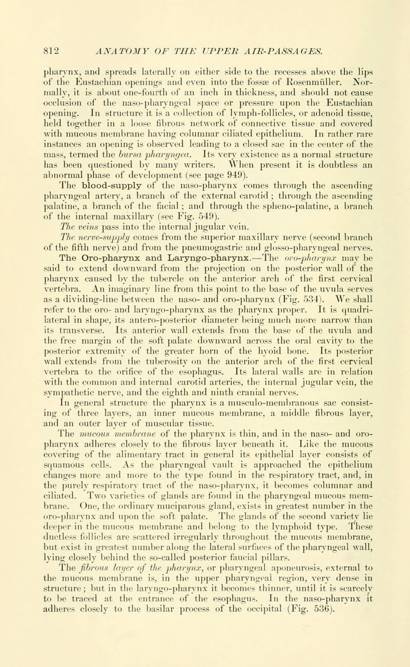 pharynx, and spreads laterally on either side to the recesses above the lips of the Eustachian openings and even into the fossa? of Rosenmiiller. Nor- mally, it is about one-fourth of an inch in thickness, and should not cause occlusion of the naso-pharyngeal space or pressure upon the Eustachian opening. In structure it is a collection of lymph-follicles, or adenoid tissue, held together in a loose tibrous network of connective tissue and covered with mucous membrane having columnar ciliated epithelium. In rather rare instances an opening is observed leading to a closed sac in the center of the mass, termed the bursa pharyngea. Its very existence as a normal structure has been questioned by many writers. When present it is doubtless an abnormal phase of development (see page 949). The blood-supply of the naso-pharynx comes through the ascending pharyngea] artery, a branch of the external carotid ; through the ascending palatine, a branch of the facial; and through the spheno-palatine, a branch of the internal maxillary (see Fig. 549). TJw veins pass into the internal jugular vein. The nerve-supply comes from the superior maxillary nerve (second branch of the fifth nerve) and from the pneumogastric and glosso-pharyngeal nerves. The Oro-pharynx and Laryngo-pharynx.—The oro-pharynx may be said to extend downward from the projection on the posterior wall of the pharynx caused by the tubercle on the anterior arch of the first cervical vertebra. An imaginary line from this point to the base of the uvula serves as a dividing-line between the naso- and oropharynx (Fig. 534). We shall refer to the oro- and laryngo-pharynx as the pharynx proper. It is quadri- lateral in shape, its antero-posterior diameter being much more narrow than its transverse. Its anterior wall extends from the base of the uvula and the free margin of the soft palate downward across the oral cavity to the posterior extremity of the greater horn of the hyoid bone. Its posterior wall extends from the tuberosity on the anterior arch of the first cervical vertebra to the orifice of the esophagus. Its lateral walls are in relation with the common and internal carotid arteries, the internal jugular vein, the sympathetic nerve, and the eighth and ninth cranial nerves. In general structure the pharynx is a musculo-membranous sac consist- ing of three layers, an inner mucous membrane, a middle fibrous layer, and an outer layer of muscular tissue. The mucous membrane of the pharynx is thin, and in the naso- and oro- pharynx adheres closely to the fibrous layer beneath it. Like the mucous covering of the alimentary tract in general its epithelial layer consists of squamous cells. As the pharyngeal vault is approached the epithelium changes more and more to the type found in the respiratory tract, and, in the purely respiratory tract of the naso-pharynx, it becomes columnar and ciliated. Two varieties of glands are found in the pharyngeal mucous mem- brane. One, the ordinary muciparous gland, exists in greatest number in tin1 oro-pharynx and upon the soft palate. The glands of the second variety lie deeper in the mucous membrane and belong to the lymphoid type. These ductless follicles are scattered irregularly throughout the mucous membrane, but exist in greatest number along the lateral surfaces of the pharyngeal wall, lying closely behind the so-called posterior faucial pillars. The fibrous layer of the pharynx, or pharyngeal aponeurosis, external to the mucous membrane is, in the upper pharyngeal region, very dense in structure; but in the laryngo-pharynx it becomes thinner, until it is scarcely to be traced at the entrance of the esophagus. In the naso-pharynx it adheres closely to the basilar process of the occipital (Fig. 536).