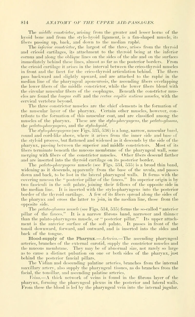 The middle constrictor, arising from the greater and lesser horns of the hyoid bone and from the stylo-hyoid ligament, is a fan-shaped muscle, its fibers passing up, back, and down to the median raphe. The inferior constrictor, the largest of the three, arises from the thyroid and cricoid cartilages, its attachment to the thyroid being at the inferior cornua and along the oblique lines on the sides of the alse ami on tin- surfaces immediately behind these lines, almost as far as the posterior borders. From the cricoid cartilage it arises in the interval between the crico-thyroid muscles in front and the facet for the crico-thyroid articulation behind. The fibers pass backward and slightly upward, and are attached to the raphe in the median line of the pharyngeal aponeurosis, the ascending filters overlapping the lower fibers of the middle constrictor, while the lower fibers blend with the circular muscular fibers of the esophagus. Beneath the constrictor mus- cles are found the longus colli and the rectus capitis anticus muscles, with the cervical vertebrae beyond. The three constrictor muscles arc the chief elements in the formation of the muscular layer of the pharynx. Certain other muscles, however, con- tribute to the formation of this muscular coat, and are classified among the muscles of the pharynx. These are the stylo-pharyngeus, the palato-glossus, the palato-pharyngeus, and the stylo-hyoid. The stylo-pharyngeus (sec Figs. 5.35, 536) is a long, narrow, muscular band, round and cord-like above, where it arises from the inner side and base of the styloid process, but flattened and widened as it descends by the side of the pharynx, passing between the superior and middle constrictors. Most of its fibers terminate beneath the mucous membrane of the pharyngeal wall, some merging with fibers of the constrictor muscles. Other fibers descend farther and are inserted into the thyroid cartilage on its posterior border. The palato-pharyngeus muscle (see Figs. 534, 535) is a broad thin band, widening as it descends, apparently from the base of the uvula, and passes down and back, to be lost in the lateral pharyngeal walls. It forms with the •covering- mucosa the  posterior pillar of the fauces. Its superior origin is by two fasciculi in the soft palate, joining their fellows of the opposite side in the median line. It is inserted witli the stylo-pharyngeus into the posterior border of the thyroid cartilage. A few of its fillers spread along the sides of the pharynx and cross the latter to join, in the median line, those from the opposite side. The palato-glossus muscle (see Figs. 534, 535) forms the so-called  anterior pillar of the fauces. It is a narrow fibrous band, narrower and thinner than the palato-pharyngeus muscle, or  posterior pillar. Its upper attach- ment is the anterior surface of the soft palate. It passes in front of the tonsil downward, forward, and outward, and is inserted into the sides and back of the tongue. Blood-supply of the Pharynx.-—Arteries.—The ascending pharyngeal arteries, branches of the external carotid, supply the constrictor muscles and the mucous membrane. They may be of abnormal size, not rarely so large as to cause a distinct pulsation on one or both sides of the pharynx, just behind the posterior faucial pillars. The Vidian and descending palatine arteries, branches from the internal maxillary artery, also supply the pharyngeal tissues, as do branches from the facial, the tonsillar, and ascending palatine arteries. Veins.—A thick network of veins is found in the fibrous layer of the pharynx, forming the pharyngeal plexus in the posterior and lateral walls. From these the blood is led by the pharyngeal vein into the internal jugular.