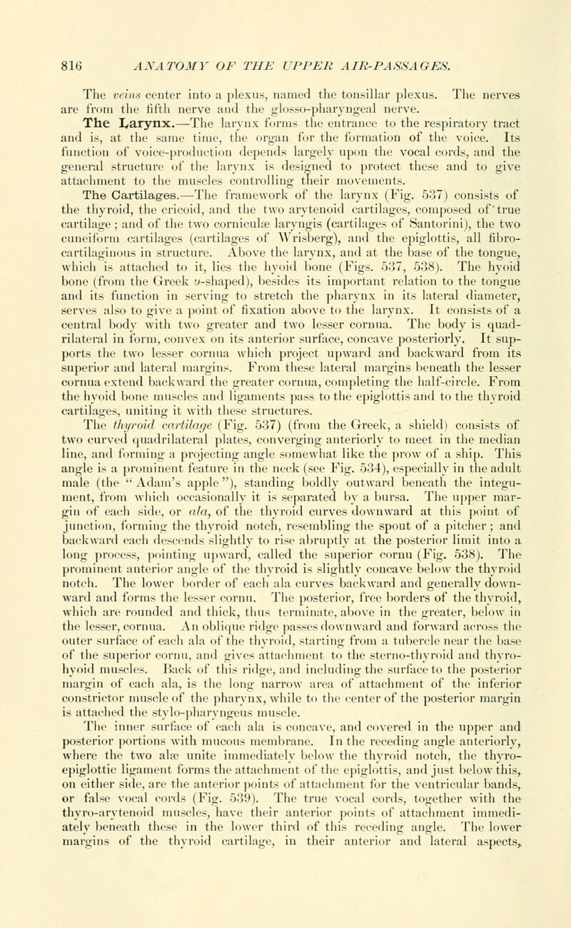 The veins center into a plexus, named the tonsillar plexus. The nerves are from the fifth nerve and the glosso-pharyngeal nerve. The I^arynx.—-The larynx forms the entrance to the respiratory tract and is, at the same time, the organ for the formation of the voice. Its function of voice-production depends largely upon the vocal cords, and the general structure of the larynx is designed to protect these and to give attachment to the muscles controlling their movements. The Cartilages.—The framework of the larynx (Fig. 537) consists of the thyroid, the cricoid, and the two arytenoid cartilages, composed of true cartilage ; and of the two cornieuloe laryngis (cartilages of Santorini), the two cuneiform cartilages (cartilages of Wrisberg), and the epiglottis, all fibro- cartilaginous in structure. Above the larynx, and at the base of the tongue, which is attached to it, lies the hyoid bone (Figs. 537, 538). The hyoid bone (from the Greek u-shaped), besides its important relation to the tongue and its function in serving to stretch the pharynx in its lateral diameter, serves also to give a point of fixation above to the larynx. It consists of a central body with two greater and two lesser cornua. The body is quad- rilateral in form, convex on its anterior surface, concave posteriorly. It sup- ports the two lesser cornua which project upward and backward from its superior and lateral margins. From these lateral margins beneath the lesser cornua extend backward the greater cornua, completing the half-circle. From the hyoid bone muscles and ligaments pass to the epiglottis and to the thyroid cartilages, uniting it with these structures. The thyroid cartilage (Fig. 537) (from the Greek, a shield) consists of two curved quadrilateral plates, converging anteriorly to meet in the median line, and forming a projecting angle somewhat like the prow of a ship. This angle is a prominent feature in the neck (see Fig. 534), especially in the adult male (the Adam's apple), standing boldly outward beneath the integu- ment, from which occasionally it is separated by a bursa. The upper mar- gin of each side, or ala, of the thyroid curves downward at this point of junction, forming the thyroid notch, resembling the spout of a pitcher ; and backward each descends slightly to rise abruptly at the posterior limit into a long process, pointing upward, called the superior cornu (Fig. 538). The prominent anterior angle of the thyroid is slightly concave below the thyroid notch. The lower border of each ala curves backward and generally down- ward and forms the lesser cornu. The posterior, free borders of the thyroid, which are rounded and thick, thus terminate, above in the greater, below in the lesser, cornua. An oblique ridge passes downward and forward across the outer surface of each ala of the thyroid, starting from a tubercle near the base of the superior cornu, and gives attachment to the sterno-thyroid and thyro- hyoid muscles. Back of this ridge, and including the surface to the posterior margin of each ala, is the long narrow area of attachment of the inferior constrictor muscle of the pharynx, while to the center of the posterior margin is attached the stylo-pharyngeus muscle. The inner surface of each ala is concave, and covered in the upper and posterior portions with mucous membrane. In the receding angle anteriorly, where the two ala? unite immediately below the thyroid notch, the thyro- epiglottic ligament forms the attachment of the epiglottis, and just below this, on either side, are the anterior points of attachment for the ventricular bands, or false vocal cords (Fig. 539). The true vocal cords, together with the thyro-arytenoid muscles, have their anterior points of attachment immedi- ately beneath these in the lower third of this receding angle. The lower margins of the thyroid cartilage, in their anterior and lateral aspects,