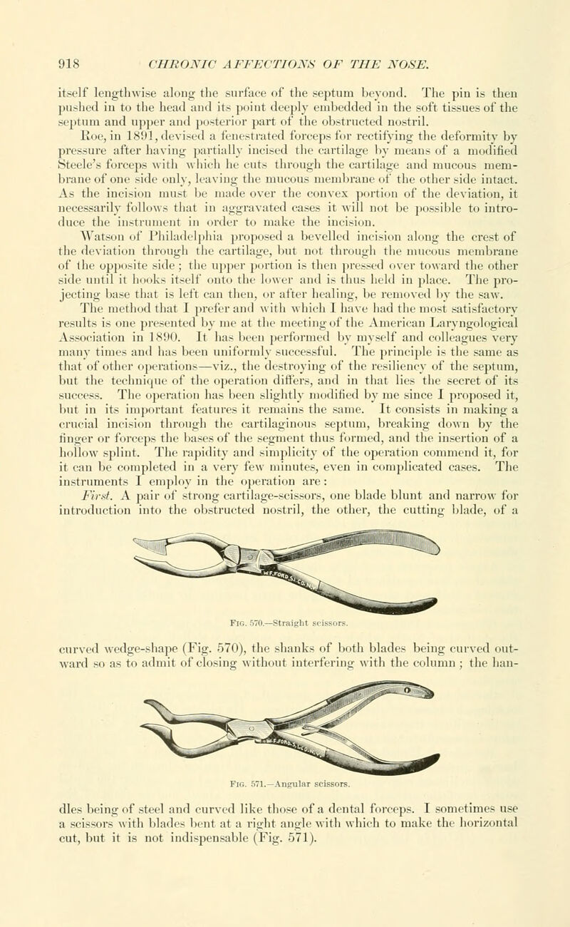 itself lengthwise along the surface of the septum beyond. The pin is then pushed in to the head and its point deeply embedded in the soft tissues of the septum and upper and posterior part of the obstructed nostril. Roe, in 1891, devised a fenestrated forceps for rectifying the deformity by pressure after having partially incised the cartilage by means of a modified Steele's forceps with which he cuts through the cartilage and mucous mem- brane of one side only, leaving the mucous membrane of the other side intact. As the incision must be made over the convex portion of the deviation, it necessarily follows that in aggravated cases it will not be possible to intro- duce the instrument in order to make the incision. Watson of Philadelphia proposed a bevelled incision along the crest of the deviation through the cartilage, but not through the mucous membrane of the opposite side; the upper portion is then pressed over toward the other side until it hooks itself onto the lower and is thus held in place. The pro- jecting base that is left can then, or after healing, be removed by the saw. The method that 1 prefer and with which 1 have had the most satisfactory results is one presented by me at the meeting of the American Laryngologies] Association in 1890. It has been performed by myself and colleagues very many times and has been uniformly successful. The principle is the same as that of other operations—viz., the destroying of the resiliency of the septum, but the technique of the operation differs, and in that lies the secret of its success. The operation has been slightly modified by me since I proposed it, but in its important features it remains the same. It consists in making a crucial incision through the cartilaginous septum, breaking down by the finger or forceps the bases of the segment thus formed, and the insertion of a hollow splint. The rapidity and simplicity of the operation commend it, for it can be completed in a very few minutes, even in complicated cases. The instruments I employ in the operation are: First. A pair of strong cartilage-scissors, one blade blunt and narrow for introduction into the obstructed nostril, the other, the cutting blade, of a curved wedge-shape (Fig. 570), the shanks of both blades being curved out- ward so as to admit of closing without interfering with the column ; the han- Fig. 571.—Angular scissors. dies being of steel and curved like those of a dental forceps. I sometimes use a scissors with blades bent at a right angle with which to make the horizontal cut, but it is not indispensable (Fig. 571).