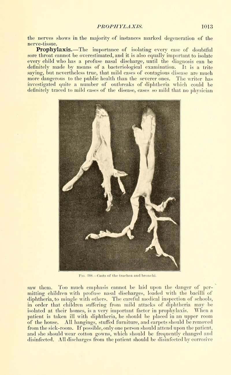 the nerves shows in the majority of instances marked degeneration of the nerve-tissue. Prophylaxis.—The importance of isolating every case of doubtful sore throat cannot be overestimated, and it is also equally important to isolate every child who has a profuse nasal discharge, until the diagnosis can be definitely made by means of a bacteriological examination. It is a trite saying, but nevertheless true, that mild cases of contagious disease are much more dangerous to the public health than the severer ones. The writer has investigated quite a number of outbreaks of diphtheria which could be definitely traced to mild cases of the disease, cases so mild that no physician saw them. Too much emphasis cannot be laid upon the danger of per- mitting children with profuse nasal discharges, loaded with the bacilli of diphtheria, to mingle with others. The careful medical inspection of schools, in order that children suffering from mild attacks of diphtheria may be isolated at their homes, is a very important factor in pi*ophylaxis. When a patient is taken ill with diphtheria, he should be placed in an upper room of the house. All hangings, stuffed furniture, and carpets should be removed from the sick-room. If possible, only one person should attend upon the patient, and she should wear cotton gowns, which should be frequently changed and disinfected. All discharges from the patient should be disinfected by corrosive