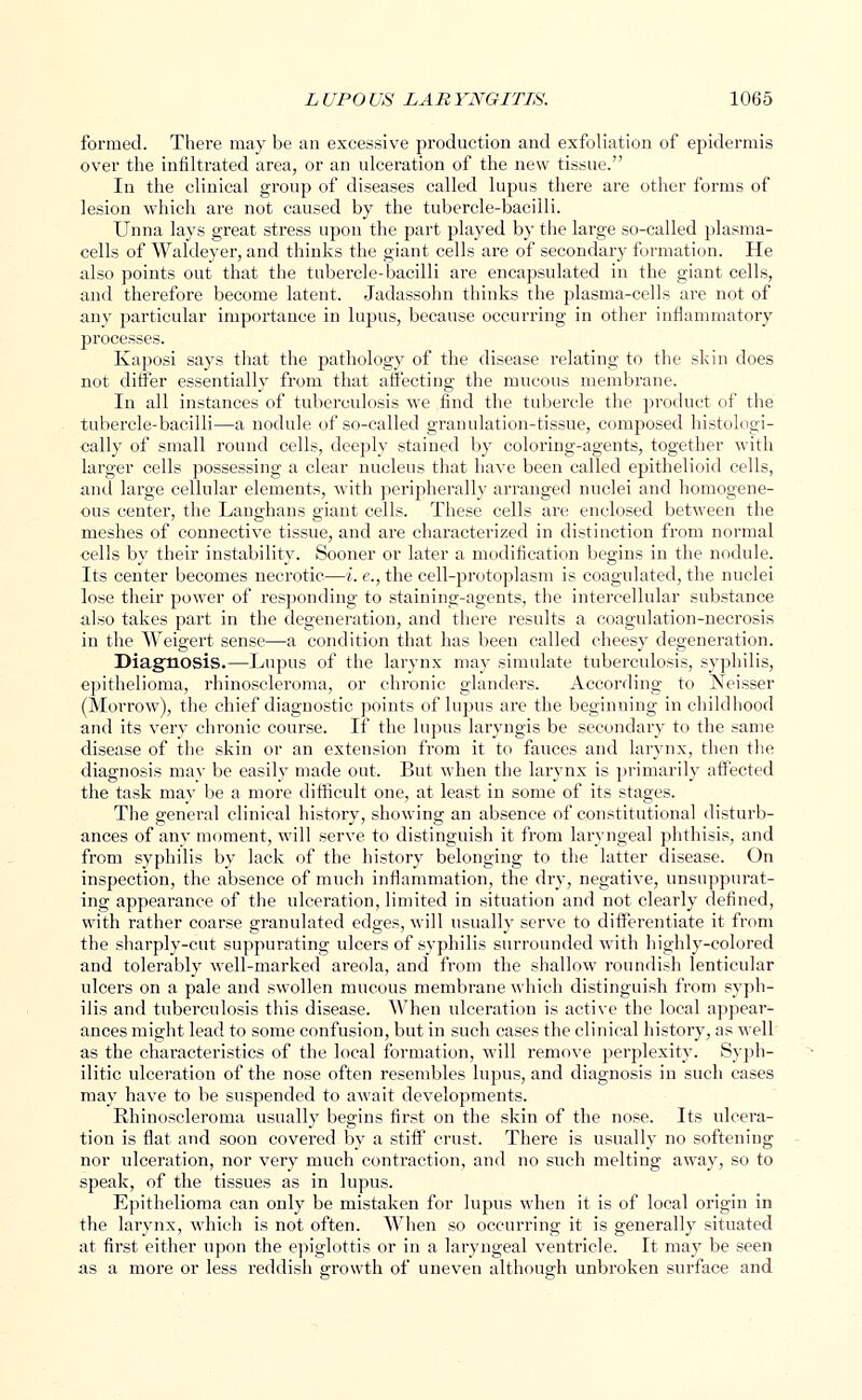 formed. There may be an excessive production and exfoliation of epidermis over the infiltrated area, or an ulceration of the new tissue. In the clinical group of diseases called lupus there are other forms of lesion which are not caused by the tubercle-bacilli. Unna lays great stress upon the part played by the large so-called plasma- cells of Waldeyer, and thinks the giant cells are of secondary formation. He also points out that the tubercle-bacilli are encapsulated in the giant cells, and therefore become latent. Jadassohn thinks the plasma-cells are not of any particular importance in lupus, because occurring in other inflammatory processes. Kaposi says that the pathology of the disease relating to the skin does not differ essentially from that affecting the mucous membrane. In all instances of tuberculosis we find the tubercle the product of the tubercle-bacilli—a nodule of so-called granulation-tissue, composed histologi- cally of small round cells, deeply stained by coloring-agents, together with larger cells possessing a clear nucleus that have been called epithelioid cells, and large cellular elements, with peripherally arranged nuclei and homogene- ous center, the Langhans giant cells. These cells are enclosed between the meshes of connective tissue, and are characterized in distinction from normal cells by their instability. Sooner or later a modification begins in the nodule. Its center becomes necrotic—i. e., the cell-protoplasm is coagulated, the nuclei lose their power of responding to staining-agents, the intercellular substance also takes part in the degeneration, and there results a coagulation-necrosis in the Weigert sense—a condition that has been called cheesy degeneration. Diagnosis.—Lupus of the larynx may simulate tuberculosis, syphilis, epithelioma, rhinoscleroma, or chronic glanders. According to Neisser (Morrow), the chief diagnostic points of lupus are the beginning in childhood and its very chronic course. If the lupus laryngis be secondary to the same disease of the skin or an extension from it to fauces and larynx, then the diagnosis may be easily made out. But when the larynx is primarily affected the task may be a more difficult one, at least in some of its stages. The general clinical history, showing an absence of constitutional disturb- ances of any moment, will serve to distinguish it from laryngeal phthisis, and from syphilis by lack of the history belonging to the latter disease. On inspection, the absence of much inflammation, the dry, negative, unsuppurat- ing appearance of the ulceration, limited in situation and not clearly defined, with rather coarse granulated edges, will usually serve to differentiate it from the sharply-cut suppurating ulcers of syphilis surrounded with highly-colored and tolerably well-marked areola, and from the shallow roundish lenticular ulcers on a pale and swollen mucous membrane which distinguish from syph- ilis and tuberculosis this disease. When ulceration is active the local appear- ances might lead to some confusion, but in such cases the clinical history, as well as the characteristics of the local formation, will remove perplexity. Syph- ilitic ulceration of the nose often resembles lupus, and diagnosis in such cases may have to be suspended to await developments. Rhinoscleroma usually begins first on the skin of the nose. Its ulcera- tion is flat and soon covered by a stiff crust. There is usually no softening nor ulceration, nor very much contraction, and no such melting away, so to speak, of the tissues as in lupus. Epithelioma can only be mistaken for lupus when it is of local origin in the larynx, which is not often. When so occurring it is generally situated at first either upon the epiglottis or in a laryngeal ventricle. It may be seen as a more or less reddish growth of uneven although unbroken surface and