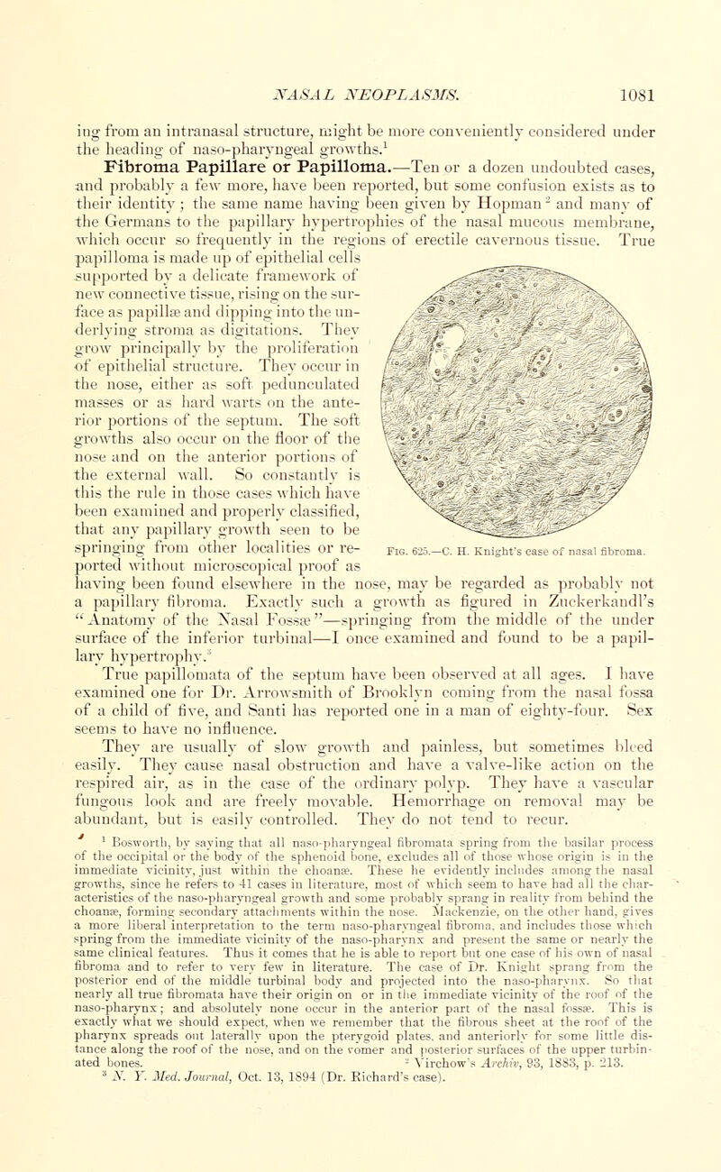 ing from an intranasal structure, might be more conveniently considered under the heading of naso-pharyngeal growths.1 Fibroma Papillare or Papilloma.—Ten or a dozen undoubted cases, and probably a few more, have been reported, but some confusion exists as to their identity; the same name having been given by Hopman - and many of the Germans to the papillary hypertrophies of the nasal mucous membrane, which occur so frequently in the regions of erectile cavernous tissue. True papilloma is made up of epithelial cells supported by a delicate framework of /-^T ~; ~^\ new connective tissue, rising on the sur- ,£ ; ' ■ ' ^\ face as papilla? and dipping into the uu- % ? ^\ deriving stroma as digitations. They . 'if grow principally by the proliferation / ■'' ; - -'• j* of epithelial structure. They occur in / - :':';' the nose, either as soft pedunculated fZ ' -g masses or as hard warts on the ante- _ -■ _ . ' rior portions of the septum. The soft , : growths also occur on the floor of the •' 'i */', f ■-' -: ': ' -.' nose and on the anterior portions of \; . ' ' the external wall. So constantly is \. - y tliis the rule in those cases which have \ .' ? . -■■--. _^v >' been examined and properly classified, X., fy that any papillary growth seen to be ^-^ r ^-^^ springing from other localities or re- fig. 625.-C. h. Knight's case of nasal fibroma. ported without microscopical proof as having been found elsewhere in the nose, may be regarded as probably not a papillary fibroma. Exactly such a growth as figured in Zuckerkandl's  Anatomy of the Xasal Fossa?—springing from the middle of the under surface of the inferior turbiual—I once examined and found to be a papil- lary hypertrophy.3 True papillomata of the septum have been observed at all ages. I have examined one for Dr. Arrowsmith of Brooklyn coming from the nasal fossa of a child of five, and Santi has reported one in a man of eighty-four. Sex seems to have no influence. They are usually of slow growth and painless, but sometimes bleed easily. They cause nasal obstruction and have a valve-like action on the respired air, as in the case of the ordinary polyp. They have a vascular fungous look and are freely movable. Hemorrhage on removal may be abundant, but is easily controlled. They do not tend to recur. 1 Bosworth, by saying that all naso-pharyngeal fibromata spring from the basilar process of the occipital or the body of the sphenoid bone, excludes all of those whose origin is in the immediate vicinity, just within the choana?. These he evidently includes among the nasal growths, since he refers to 41 cases in literature, most of which seem to have had all the char- acteristics of the naso-pharyngeal growth and some probably sprang in reality from behind the choanse, forming secondary attachments within the nose. Mackenzie, on the other hand, gives a more liberal interpretation to the term naso-pharyngeal fibroma, and includes those which spring from the immediate vicinity of the naso-pharynx and present the same or nearly the same clinical features. Thus it comes that he is able to report but one case of his own of nasal fibroma and to refer to very few in literature. The case of Dr. Knight sprang from the posterior end of the middle turbinal body and projected into the naso-pharynx. So that nearly all true fibromata have their origin on or in the immediate vicinity of the roof of the naso-pharynx; and absolutely none occur in the anterior part of the nasal fossa?. This is exactly what we should expect, when we remember that the fibrous sheet at the roof of the pharynx spreads out laterally upon the pterygoid plates, and anteriorly for some little dis- tance along the roof of the nose, and on the vomer and posterior surfaces of the upper turbin- ated bones. - Yirchow's Archiv, 93, 18S3, p. 213. 3 AT. F. Med. Journal, Oct. 13, 1S94 (Dr. Richard's case).