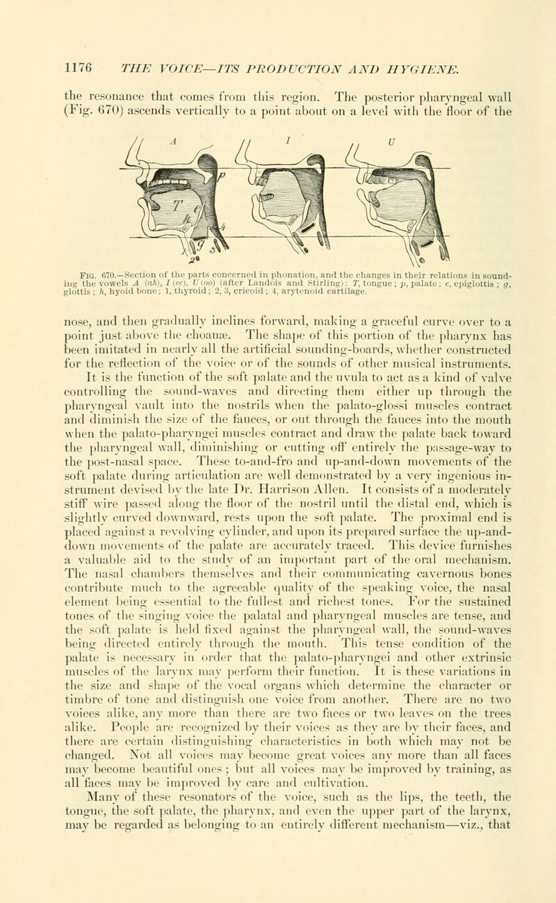 the resonance that comes from this region. The posterior pharyngeal wall (Fig. 670) ascends vertically to a point about on a level with the floor of the Fig. 670.—Section of the parts concerned in phonation, and the changes in their relations in sound- ing the vowels A iah\, (mi. I'wn) rafter Landois and Stirling): T, tongue; p, palate ; c, epiglottis ; g, glottis; ft, hyoid bone; 1, thyroid; 2, 3, cricoid ; 1. arytenoid cartilage. nose, and then gradually inclines forward, making a graceful curve over to a point just above the choanse. The shape of this portion of the pharynx has been imitated in nearly all the artificial sounding-boards, whether constructed for the reflection of the voice or of the sounds of other musical instruments. It is the function of the soft palate and the uvula to act as a kind of valve controlling the sound-waves and directing them either up through the pharyngeal vault into the nostrils when the palato-glossi muscles contract and diminish the size of the fauces, or out through the fauces into the mouth when the palato-pharvngei muscles contract and draw the palate back toward the pharyngeal wall, diminishing or cutting oil' entirely the passage-way to the post-nasal space. These to-and-fro and up-and-down movements of the soft palate during articulation arc well demonstrated by a very ingenious in- strument devised by the late Dr. Harrison Allen. It consists of a moderately stiff wire passed along the floor of the nostril until the distal end, which is slightly curved downward, rests upon the soft palate. The proximal end is placed against a revolving cylinder, and upon its prepared surface the up-and- down movements of the palate are accurately traced. This device furnishes a valuable aid to the study of an important part of the oral mechanism. The nasal chambers themselves and their communicating cavernous bones contribute much to the agreeable quality of the speaking voice, the nasal element being essential to the fullest and richest tones. For the sustained tones of the singing voice the palatal and pharyngeal muscles are tense, and the soff palate is held fixed against the pharyngeal wall, the sound-waves being directed entirely through the mouth. This tense condition of the palate is necessary in order that the palato-pharyngei and other extrinsic muscles of the larynx may perform their function. It is these variations in the size and shape of the vocal organs which determine the character or timbre of tone and distinguish one voice from another. There are no two voices alike, any more than there are two faces or two leaves on the trees alike. People are recognized by their voices as they are by their faces, and there are certain distinguishing characteristics in both which may not be changed. Not all voices may become great voices any more than all faces may become beautiful ones; but all voices may be improved by training, as all faces may be improved by care and cultivation. Many of these l'esonators of the voice, such as the lips, the teeth, the tongue, the soft palate, the pharynx, and even the upper part of the larynx, may be regarded as belonging to an entirely different mechanism—viz., that