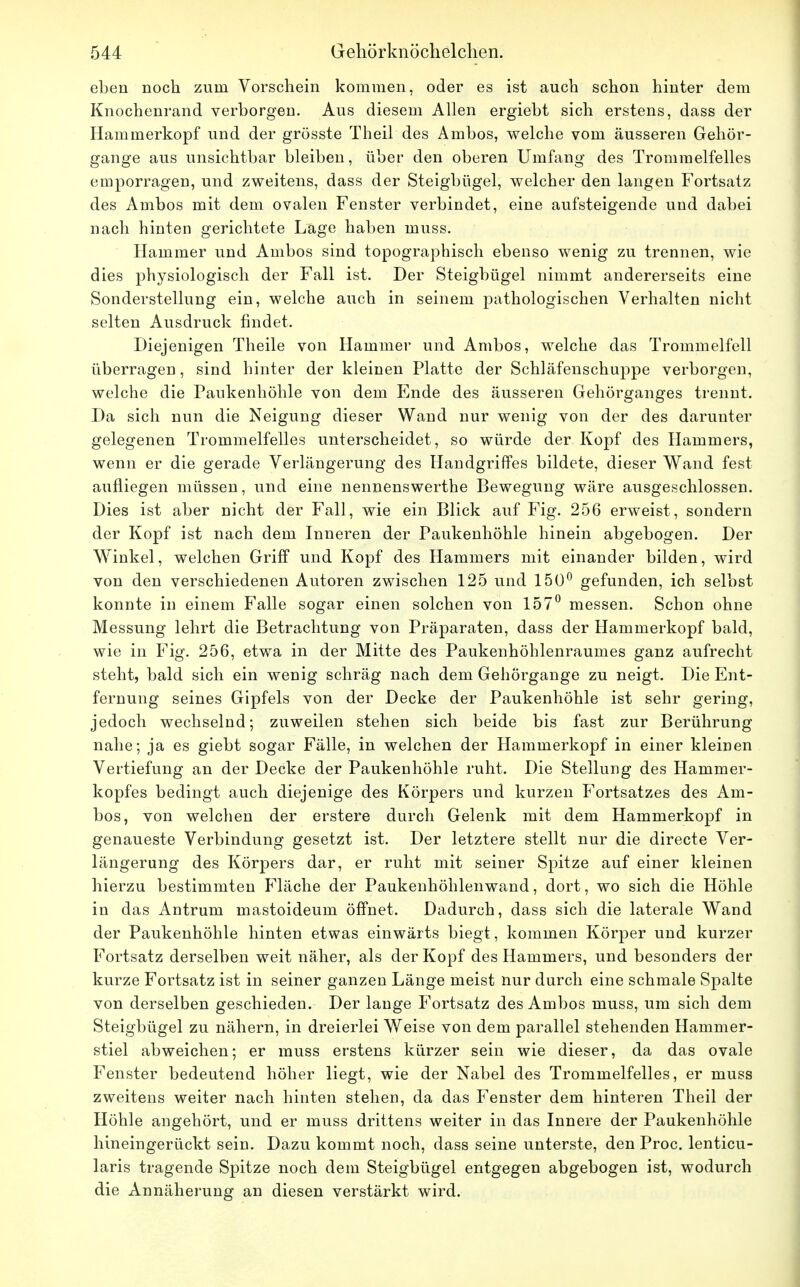 eben noch zum Vorschein kommen, oder es ist auch schon hinter dem Knochenrand verborgen. Aus diesem Allen ergiebt sich erstens, dass der Hammerkopf und der grösste Theil des Ambos, welche vom äusseren Gehör- gange aus unsichtbar bleiben, über den oberen Umfang des Trommelfelles emporragen, und zweitens, dass der Steigbügel, welcher den langen Fortsatz des Ambos mit dem ovalen Fenster verbindet, eine aufsteigende und dabei nach hinten gerichtete Läge haben muss. Hammer und Ambos sind topographisch ebenso wenig zu trennen, wie dies physiologisch der Fall ist. Der Steigbügel nimmt andererseits eine Sonderstellung ein, welche auch in seinem pathologischen Verhalten nicht selten Ausdruck findet. Diejenigen Theile von Hammer und Ambos, welche das Trommelfell überragen, sind hinter der kleinen Platte der Schläfenschuppe verborgen, welche die Paukenhöhle von dem Ende des äusseren Gehörganges trennt. Da sich nun die Neigung dieser Wand nur wenig von der des darunter gelegenen Trommelfelles unterscheidet, so würde der Kopf des Hammers, wenn er die gerade Verlängerung des Handgriffes bildete, dieser Wand fest aufliegen müssen, und eine nennenswerthe Bewegung wäre ausgeschlossen. Dies ist aber nicht der Fall, wie ein Blick auf Fig. 256 erweist, sondern der Kopf ist nach dem Inneren der Paukenhöhle hinein abgebogen. Der Winkel, welchen Griff und Kopf des Hammers mit einander bilden, wird von den verschiedenen Autoren zwischen 125 und 150° gefunden, ich selbst konnte in einem Falle sogar einen solchen von 157° messen. Schon ohne Messung lehrt die Betrachtung von Präparaten, dass der Hammerkopf bald, wie in Fig. 256, etwa in der Mitte des Paukenhöhlenraumes ganz aufrecht steht, bald sich ein wenig schräg nach dem Gehörgange zu neigt. Die Ent- fernung seines Gipfels von der Decke der Paukenhöhle ist sehr gering, jedoch wechselnd; zuweilen stehen sich beide bis fast zur Berührung nahe; ja es giebt sogar Fälle, in welchen der Hammerkopf in einer kleinen Vertiefung an der Decke der Paukenhöhle ruht. Die Stellung des Hammer- kopfes bedingt auch diejenige des Körpers und kurzen Fortsatzes des Am- bos, von welchen der erstere durch Gelenk mit dem Hammerkopf in genaueste Verbindung gesetzt ist. Der letztere stellt nur die directe Ver- längerung des Körpers dar, er ruht mit seiner Spitze auf einer kleinen hierzu bestimmten Fläche der Paukenhöhlenwand, dort, wo sich die Höhle in das Antrum mastoideum öffnet. Dadurch, dass sich die laterale Wand der Paukenhöhle hinten etwas einwärts biegt, kommen Körper und kurzer Fortsatz derselben weit näher, als der Kopf des Hammers, und besonders der kurze Fortsatz ist in seiner ganzen Länge meist nur durch eine schmale Spalte von derselben geschieden. Der lange Fortsatz des Ambos muss, um sich dem Steigbügel zu nähern, in dreierlei Weise von dem parallel stehenden Hammer- stiel abweichen; er muss erstens kürzer sein wie dieser, da das ovale Fenster bedeutend höher liegt, wie der Nabel des Trommelfelles, er muss zweitens weiter nach hinten stehen, da das Fenster dem hinteren Theil der Höhle angehört, und er muss drittens weiter in das Innere der Paukenhöhle hineingerückt sein. Dazu kommt noch, dass seine unterste, den Proc. lenticu- laris tragende Spitze noch dem Steigbügel entgegen abgebogen ist, wodurch die Annäherung an diesen verstärkt wird.