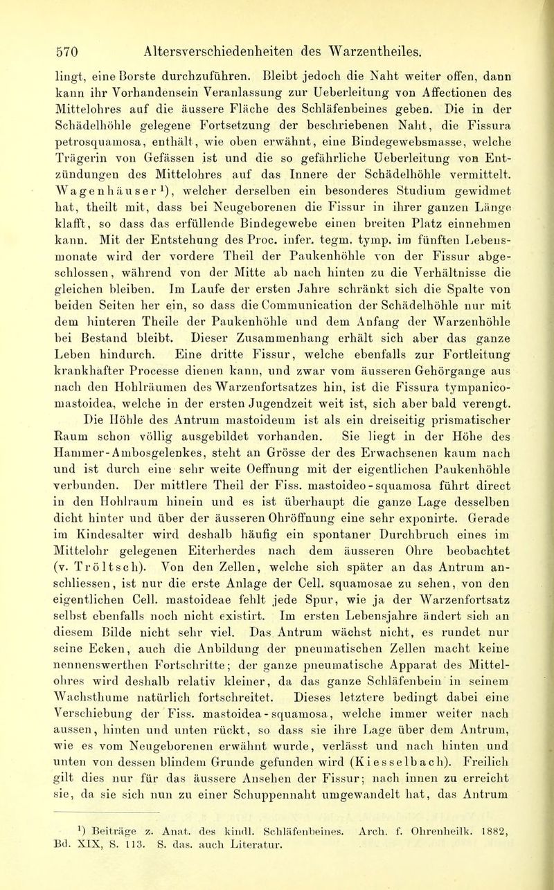 lingt, eine Borste durchzuführen. Bleibt jedoch die Naht weiter offen, dann kann ihr Vorhandensein Veranlassung zur Ueberleitung von Affectionen des Mittelohres auf die äussere Fläche des Schläfenbeines geben. Die in der Schädelhöhle gelegene Fortsetzung der beschriebenen Naht, die Fissura petrosquainosa, enthält, wie oben erwähnt, eine Bindegewebsmasse, welche Trägerin von Gefässen ist und die so gefährliche Ueberleitung von Ent- zündungen des Mittelohres auf das Innere der Schädelhöhle vermittelt. Wagenhäuser1), welcher derselben ein besonderes Studium gewidmet hat, theilt mit, dass bei Neugeborenen die Fissur in ihrer ganzen Länge klafft, so dass das erfüllende Bindegewebe einen breiten Platz einnehmen kann. Mit der Entstehung des Proc. infer. tegm. tymp. im fünften Lebens- monate wird der vordere Theil der Paukenhöhle von der Fissur abge- schlossen , während von der Mitte ab nach hinten zu die Verhältnisse die gleichen bleiben. Im Laufe der ersten Jahre schränkt sich die Spalte von beiden Seiten her ein, so dass die Communication der Schädelhöhle nur mit dem hinteren Theile der Paukenhöhle und dem Anfang der Warzenhöhle bei Bestand bleibt. Dieser Zusammenhang erhält sich aber das ganze Leben hindurch. Eine dritte Fissur, welche ebenfalls zur Fortleitung krankhafter Processe dienen kann, und zwar vom äusseren Gehörgange aus nach den Hohlräumen des Warzenfortsatzes hin, ist die Fissura tympanico- mastoidea, welche in der ersten Jugendzeit weit ist, sich aber bald verengt. Die Höhle des Antrum mastoideum ist als ein dreiseitig prismatischer Raum schon völlig ausgebildet vorhanden. Sie liegt in der Höhe des Hammer-Ambosgelenkes, steht an Grösse der des Erwachsenen kaum nach und ist durch eine sehr weite Oeffnung mit der eigentlichen Paukenhöhle verbunden. Der mittlere Theil der Fiss. mastoideo - squamosa führt direct in den Hohlraum hinein und es ist überhaupt die ganze Lage desselben dicht hinter und über der äusseren OhröfFnung eine sehr exponirte. Gerade im Kindesalter wird deshalb häufig ein spontaner Durchbruch eines im Mittelohr gelegenen Eiterherdes nach dem äusseren Ohre beobachtet (v. Tröltsch). Von den Zellen, welche sich später an das Antrum an- schliessen, ist nur die erste Anlage der Cell, squamosae zu sehen, von den eigentlichen Cell, mastoideae fehlt jede Spur, wie ja der Warzenfortsatz selbst ebenfalls noch nicht existirt. Im ersten Lebensjahre ändert sich an diesem Bilde nicht sehr viel. Das Antrum wächst nicht, es rundet nur seine Ecken, auch die Anbildung der pneumatischen Zellen macht keine nennenswerthen Fortschritte; der ganze pneumatische Apparat des Mittel- ohres wird deshalb relativ kleiner, da das ganze Schläfenbein in seinem Wachsthume natürlich fortschreitet. Dieses letztere bedingt dabei eine Verschiebung der Fiss. mastoidea - squamosa, welche immer weiter nach aussen, hinten und unten rückt, so dass sie ihre Lage über dem Antrum, wie es vom Neugeborenen erwähnt wurde, verlässt und nach hinten und unten von dessen blindem Grunde gefunden wird (Kies selb ach). Freilich gilt dies nur für das äussere Ansehen der Fissur; nach innen zu erreicht sie, da sie sich nun zu einer Schuppennaht umgewandelt hat, das Antrum l) Beiträge z. Anat. des kindl. Schläfenheines. Arch. f. Ohrenheilk. 1882, Bd. XIX, S. 113. S. das. auch Literatur.