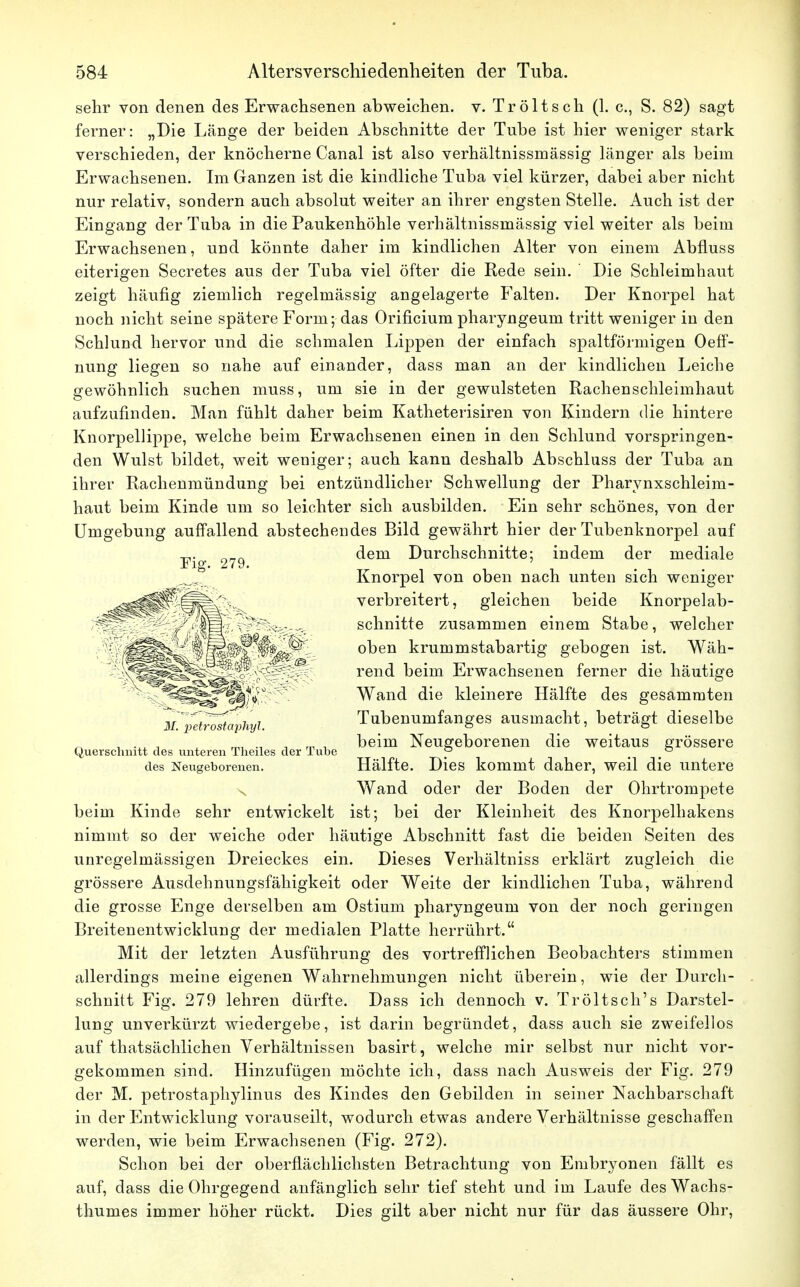 sehr von denen des Erwachsenen abweichen, v. Tröltsch (1. c, S. 82) sagt ferner: „Die Länge der beiden Abschnitte der Tube ist hier weniger stark verschieden, der knöcherne Canal ist also verhältnissmässig länger als beim Erwachsenen. Im Ganzen ist die kindliche Tuba viel kürzer, dabei aber nicht nur relativ, sondern auch absolut weiter an ihrer engsten Stelle. Auch ist der Eingang der Tuba in die Paukenhöhle verhältnissmässig viel weiter als beim Erwachsenen, und könnte daher im kindlichen Alter von einem Abfluss eiterigen Secretes aus der Tuba viel öfter die Rede sein. ' Die Schleimhaut zeigt häufig ziemlich regelmässig angelagerte Falten. Der Knorpel hat noch nicht seine spätere Form; das Orificium pharyngeuin tritt weniger in den Schlund hervor und die schmalen Lippen der einfach spaltförmigen Oeff- nung liegen so nahe auf einander, dass man an der kindlichen Leiche gewöhnlich suchen muss, um sie in der gewulsteten Rachenschleimhaut aufzufinden. Man fühlt daher beim Katheterisiren von Kindern die hintere Knorpellippe, welche beim Erwachsenen einen in den Schlund vorspringen- den Wulst bildet, weit weniger; auch kann deshalb Abschluss der Tuba an ihrer Rachenmündung bei entzündlicher Schwellung der Pharynxschleim- haut beim Kinde um so leichter sich ausbilden. Ein sehr schönes, von der Umgebung auffallend abstechendes Bild gewährt hier der Tubenknorpel auf dem Durchschnitte; indem der mediale Knorpel von oben nach unten sich weniger verbreitert, gleichen beide Knorpelab- schnitte zusammen einem Stabe, welcher /'^ft^SjS^??^^ft- oben krummstabartig gebogen ist. Wäh- '■'--^^^^^^^^^ ' rend beim Erwachsenen ferner die häutige %^^^^^f^ Wand die kleinere Hälfte des gesammten li?petrÖstaVhyi. Tubenumfanges ausmacht, beträgt dieselbe ■ . , , m, ., ,' , beim Neugeborenen die weitaus grössere Querschnitt des unteren Theiles der Tube y m ° des Neugeborenen. Hälfte. Dies kommt daher, weil die untere Wand oder der Boden der Ohrtrompete beim Kinde sehr entwickelt ist; bei der Kleinheit des Knorpelhakens nimmt so der weiche oder häutige Abschnitt fast die beiden Seiten des unregelmässigen Dreieckes ein. Dieses Verhältniss erklärt zugleich die grössere Ausdehnungsfähigkeit oder Weite der kindlichen Tuba, während die grosse Enge derselben am Ostium pharyngeuni von der noch geringen Breitenentwicklung der medialen Platte herrührt. Mit der letzten Ausführung des vortrefflichen Beobachters stimmen allerdings meine eigenen Wahrnehmungen nicht überein, wie der Durch- schnitt Fig. 279 lehren dürfte. Dass ich dennoch v. Tröltsch's Darstel- lung unverkürzt wiedergebe, ist darin begründet, dass auch sie zweifellos auf thatsächlichen Verhältnissen basirt, welche mir selbst nur nicht vor- gekommen sind. Hinzufügen möchte ich, dass nach Ausweis der Fig. 279 der M. petrostaphylinus des Kindes den Gebilden in seiner Nachbarschaft in der Entwicklung vorauseilt, wodurch etwas andere Verhältnisse geschaffen werden, wie beim Erwachsenen (Fig. 272). Schon bei der oberflächlichsten Betrachtung von Embryonen fällt es auf, dass die Ohrgegend anfänglich sehr tief steht und im Laufe des Wachs- thumes immer höher rückt. Dies gilt aber nicht nur für das äussere Ohr,