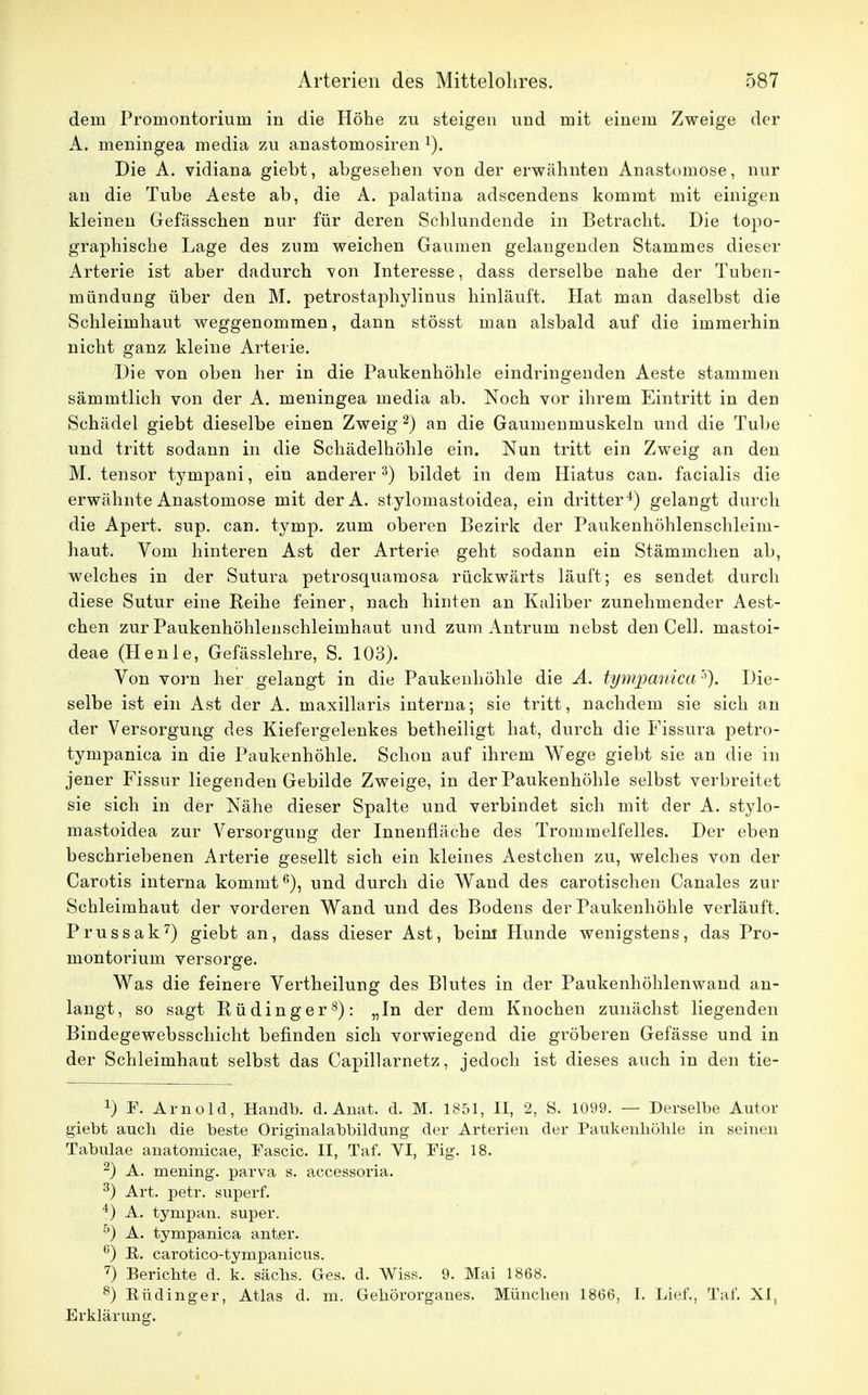dein Promontorium in die Höhe zu steigen und mit einem Zweige der A. meningea media zu anastomosiren 1). Die A. vidiana giebt, abgesehen von der erwähnten Anastomose, nur an die Tube Aeste ab, die A. palatina adscendens kommt mit einigen kleinen Gefässchen nur für deren Schlundende in Betracht. Die topo- graphische Lage des zum weichen Gaumen gelangenden Stammes dieser Arterie ist aber dadurch von Interesse, dass derselbe nahe der Tuben- mündung über den M. petrostaphylinus hinläuft. Hat man daselbst die Schleimhaut weggenommen, dann stösst man alsbald auf die immerhin nicht ganz kleine Arterie. Die von oben her in die Paukenhöhle eindringenden Aeste stammen sämmtlich von der A. meningea media ab. Noch vor ihrem Eintritt in den Schädel giebt dieselbe einen Zweig2) an die Gaumenmuskeln und die Tube und tritt sodann in die Schädelhöhle ein. Nun tritt ein Zweig an den M. tensor tympani, ein anderer3) bildet in dem Hiatus can. facialis die erwähnte Anastomose mit derA. stylomastoidea, ein dritter4) gelangt durch die Apert. sup. can. tymp. zum oberen Bezirk der Paukenhöhlenschleim- haut. Vom hinteren Ast der Arterie geht sodann ein Stämmchen ab, welches in der Sutura petrosquamosa rückwärts läuft; es sendet durch diese Sutur eine Reihe feiner, nach hinten an Kaliber zunehmender Aest- chen zur Paukenhöhlenschleimhaut und zum Antrum nebst den Cell, mastoi- deae (Henle, Gefässlehre, S. 103). Von vorn her gelangt in die Paukenhöhle die A. tympanica). Die- selbe ist ein Ast der A. maxillaris interna; sie tritt, nachdem sie sich an der Versorgung des Kiefergelenkes betheiligt hat, durch die Fissura petro- tympanica in die Paukenhöhle. Schon auf ihrem Wege giebt sie an die in jener Fissur liegenden Gebilde Zweige, in der Paukenhöhle selbst verbreitet sie sich in der Nähe dieser Spalte und verbindet sich mit der A. stylo- mastoidea zur Versorgung der Innenfläche des Trommelfelles. Der eben beschriebenen Arterie gesellt sich ein kleines Aestchen zu, welches von der Carotis interna kommt6), und durch die Wand des carotischen Canales zur Schleimhaut der vorderen Wand und des Bodens der Paukenhöhle verläuft. Prussak7) giebt an, dass dieser Ast, beim Hunde wenigstens, das Pro- montorium versorge. Was die feinere Vertheilung des Blutes in der Paukenhöhlenwand an- langt, so sagt Rüdinger8): „In der dem Knochen zunächst liegenden Bindegewebsschicht befinden sich vorwiegend die gröberen Gefässe und in der Schleimhaut selbst das Capillarnetz, jedoch ist dieses auch in den tie- x) F. Arnold, Handb. d. Anat. d. M. 1851, II, 2, S. 1099. — Derselbe Autor giebt auch die beste Originalabbildung der Arterien der Paukenböble in seinen Tabulae anatomicae, Fascic. II, Taf. VI, Fig. 18. 2) A. mening. parva s. accessoria. 3) Art. petr. superf. 4) A. tympan. super. 5) A. tympanica anter. e) E. carotico-tympanicus. 7) Berichte d. k. säcbs. Ges. d. Wiss. 9. Mai 1868. 8) Eüdinger, Atlas d. m. Gehörorganes. München 1866, I. Lief., Tat'. XI, Erklärung.