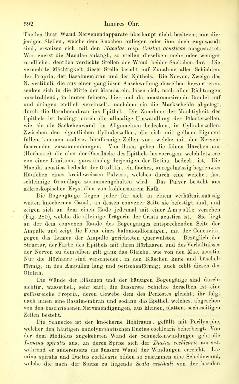 Theilen ihrer Wand Nervenendapparate überhaupt nicht besitzen; nur die- jenigen Stellen, welche dem Knochen anliegen oder ihm doch zugewandt sind, erweisen sich mit den Maculae resp. Cristae acusticae ausgestattet. Was zuerst die Maculae anlangt, so stellen dieselben mehr oder weniger rundliche, deutlich verdickte Stellen der Wand beider Säckchen dar. Die vermehrte Mächtigkeit dieser Stelle beruht auf Zunahme aller Schichten, der Propria, der Basalmembran und des Epithels. Die Nerven, Zweige des N. vestibuli, die aus einer gangliösen Anschwellung desselben hervortreten, senken sich in die Mitte der Macula ein, lösen sich, nach allen Richtungen ausstrahlend, in immer feinere, hier und da anastomosirende Bündel auf und dringen endlich vereinzelt, nachdem sie die Markscheide abgelegt, durch die Basalmembran ins Epithel. Die Zunahme der Mächtigkeit des Epithels ist bedingt durch die allmälige Umwandlung der Pflasterzellen, wie sie die Säckchenwand im Allgemeinen bedecken, in Cylinderzellen. Zwischen den eigentlichen Cylinderzellen, die sich mit gelbem Pigment füllen, kommen andere, birnförmige Zellen vor, welche mit den Nerven- faserenden zusammenhängen. Von ihnen gehen die feinen Härchen aus (Hörhaare), die über der Oberfläche des Epithels hervorragen, welch letztere von einer Limitans, ganz analog derjenigen der Retina, bedeckt ist. Die Macula acustica bedeckt derOtolith, ein flaches, unregelmässig begrenztes Häufchen eines kreideweissen Pulvers, welches durch eine weiche, fast schleimige Grundlage zusammengehalten wird. Das Pulver besteht aus mikroskopischen Krystallen von kohlensaurem Kalk. Die Bogengänge liegen jeder für sich in einem verhältnissmässig weiten knöchernen Canal, an dessen convexer Seite sie befestigt sind, und zeigen sich an dem einen Ende jedesmal mit einer Ampulle versehen (Fig. 280), welche die alleinige Trägerin der Crista acustica ist. Sie liegt an der dem convexen Rande des Bogenganges entsprechenden Seite der Ampulle und zeigt die Form eines halbmondförmigen, mit der Concavität gegen das Lumen der Ampulle gerichteten Querwulstes. Bezüglich der Structur, der Farbe des Epithels mit ihren Hörhaaren und des Verhältnisses der Nerven zu demselben gilt ganz das Gleiche, wie von den Mac. acustic. Nur die Hörhaare sind verschieden, in den Bläschen kurz und büschel- förmig, in den Ampullen lang und peitschenförmig; auch fehlt diesen der Otolith. Die Wände der Bläschen und der häutigen Bogengänge sind durch- sichtig, wasserhell, sehr zart; die äusserste Schichte derselben ist eine gefässreiche Propria, deren Gewebe dem des Periostes gleicht; ihr folgt nach innen eine Basalmembran und sodann das Epithel, welches, abgesehen von den beschriebenen Nervenendigungen, aus kleinen, platten, sechsseitigen Zellen besteht. Die Schnecke ist der knöcherne Hohlraum, gefüllt mit Perilymphe, welcher den häutigen endolymphatischen Ductus cochlearis beherbergt. Von der dem Modiolus zugekehrten Wand der Schneckenwindungen geht die Lamina spiralis aus, an deren Spitze sich der Ductus cochlearis ansetzt, während er andererseits die äussere Wand der Windungen erreicht. La- mina spiralis und Ductus cochlearis bilden so zusammen eine Scheidewand, welche die nach der Spitze zu liegende Scala vestibuli von der basalen