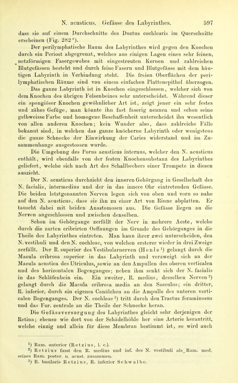 dass sie auf einem Durchschnitte des Ductus cochlearis im Querschnitte erscheinen (Fig. 282*). Der perilymphatische Raum des Labyrinthes wird gegen den Knochen durch ein Periost abgegrenzt, welches aus einigen Lagen eines sehr feinen, m netzförmigen Fasergewebes mit eingestreuten Kernen und zahlreichen Blutgefässen besteht und durch feine Fasern und Blutgefässe mit dem häu- tigen Labyrinth in Verbindung steht. Die freien Oberflächen der peri- lymphatischen Räume sind von einem einfachen Plattenepithel überzogen. Das ganze Labyrinth ist in Knochen eingeschlossen, welcher sich von dem Knochen des übrigen Felsenbeines sehr unterscheidet. Während dieser ein spongiöser Knochen gewöhnlicher Art ist, zeigt jener ein sehr festes und zähes Gefüge, man könnte ihn fast faserig nennen und schon seine gelbweisse Farbe und homogene Beschaffenheit unterscheidet ihn wesentlich von allen anderen Knochen; kein Wunder also, dass zahlreiche Fälle bekannt sind, in welchen das ganze knöcherne Labyrinth oder wenigstens die ganze Schnecke der Einwirkung der Caries widerstand und im Zu- sammenhange ausgestossen wurde. Die Umgebung des Porus acusticus internus, welcher den N. acusticus enthält, wird ebenfalls von der festen Knochensubstanz des Labyrinthes geliefert, welche sich nach Art des Schallbechers einer Trompete in diesen auszieht. Der N. acusticus durchzieht den inneren Gehörgang in Gesellschaft des N. facialis, intermedius und der in das innere Ohr eintretenden Gefässe. Die beiden letztgenannten Nerven legen sich von oben und vorn so nahe auf den N. acusticus, dass sie ihn zu einer Art von Rinne abplatten. Er tauscht dabei mit beiden Anastomosen aus. Die Gefässe liegen an die Nerven angeschlossen und zwischen denselben. Schon im Gehörgange zerfällt der Nerv in mehrere Aeste, welche durch die zarten cribrirten Oeffnungen im Grunde des Gehörganges in die Theile des Labyrinthes eintreten. Man kann ihrer zwei unterscheiden, den N. vestibuli und den N. Cochleae, von welchen ersterer wieder in drei Zweige zerfällt. Der R. superior des Vestibularnerven (H e n 1 e l) gelangt durch die Macula cribrosa superior in das Labyrinth und verzweigt sich an der Macula acustica des Utriculus,#sowie an den Ampullen des oberen verticalen und des horizontalen Bogenganges; neben ihm senkt sich der N. facialis in das Schläfenbein ein. Ein zweiter, R. medius, desselben Nerven2) gelangt durch die Macula cribrosa media an den Sacculus; ein dritter, R. inferior, durch ein eigenes Canälchen an die Ampulle des unteren verti- calen Bogenganges. Der N. Cochleae3) tritt durch den Tractus foraminosus und das For. centrale an die Theile der Schnecke heran. Die Gefässversorgung des Labyrinthes gleicht sehr derjenigen der Retina; ebenso wie dort von der Schädelhöhle her eine Arterie herantritt, welche einzig und allein für diese Membran bestimmt ist, so wird auch J) Ram. anterior (Retzius, 1. c). 2) Retzius fasst den R. medius und inf. des IST. vestibuli als^Ram. med. seines Ram. poster. n. acust. zusammen. 3) R. basilaris Retzius, R. inferior Schwalbe.