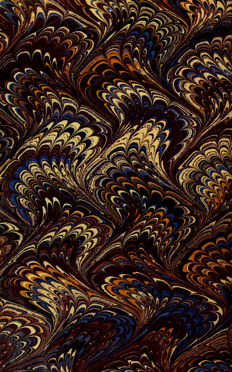 No text description is available for this image