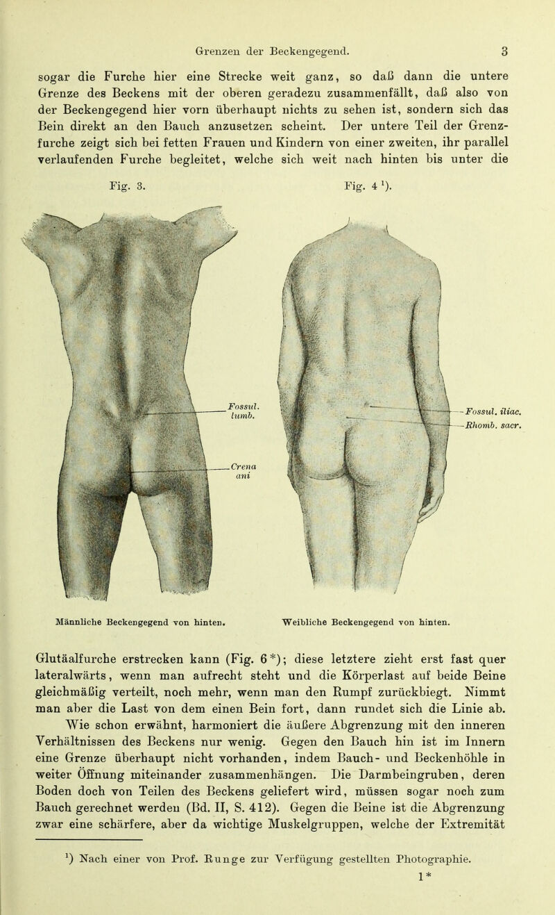 sogar die Furche hier eine Strecke weit ganz, so daß dann die untere Grenze des Beckens mit der oberen geradezu zusammenfällt, daß also von der Beckengegend hier vorn überhaupt nichts zu sehen ist, sondern sich das Bein direkt an den Bauch anzusetzen scheint. Der untere Teil der Grenz- furche zeigt sich bei fetten Frauen und Kindern von einer zweiten, ihr parallel verlaufenden Furche begleitet, welche sich weit nach hinten bis unter die Fig. 3. Fig. 4 x). Männliche Beckengegend von hinten. Weibliche Beckengegend von hinten. Glutäalfurche erstrecken kann (Fig. 6*); diese letztere zieht erst fast quer lateralwärts, wenn man aufrecht steht und die Körperlast auf beide Beine gleichmäßig verteilt, noch mehr, wenn man den Rumpf zurückbiegt. Nimmt man aber die Last von dem einen Bein fort, dann rundet sich die Linie ab. Wie schon erwähnt, harmoniert die äußere Abgrenzung mit den inneren Verhältnissen des Beckens nur wenig. Gegen den Bauch hin ist im Innern eine Grenze überhaupt nicht vorhanden, indem Bauch- und Beckenhöhle in weiter Öffnung miteinander zusammenhängen. Die Darmbeingruben, deren Boden doch von Teilen des Beckens geliefert wird, müssen sogar noch zum Bauch gerechnet werden (Bd. II, S. 412). Gegen die Beine ist die Abgrenzung zwar eine schärfere, aber da wichtige Muskelgruppen, welche der Extremität *) Nach einer von Prof. Runge zur Verfügung gestellten Photographie.