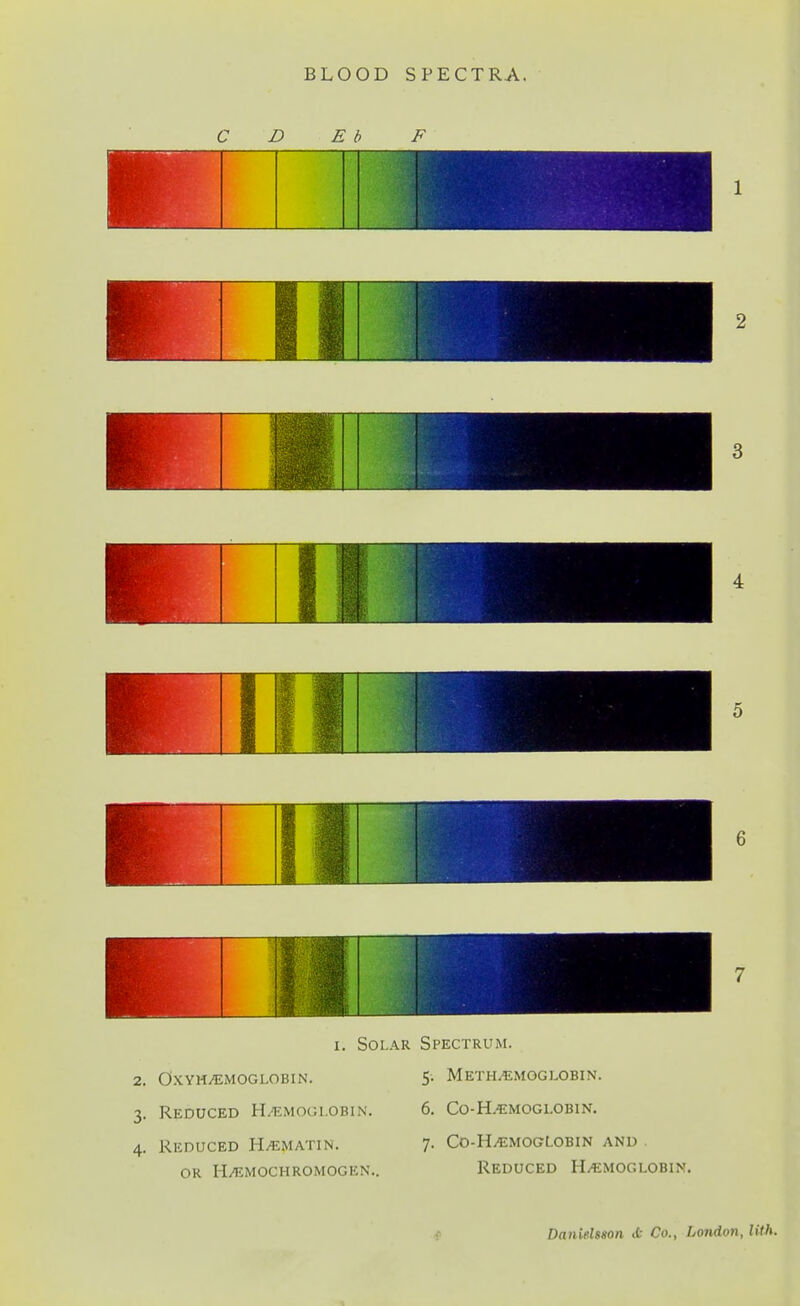 BLOOD SPECTRA. 1 IE i 1 I. Solar Spectrum. OXYM/EMOGLOBIN. 5- METH^MOGLOBIN. Reduced Hemoglobin. 6. Co-H^moglobin. Reduced Hematin. 7- Co-HemogLobin and or h/emochromogen.. Reduced H/Iimoglobin. Danielsson <L- Co., London, lUh.