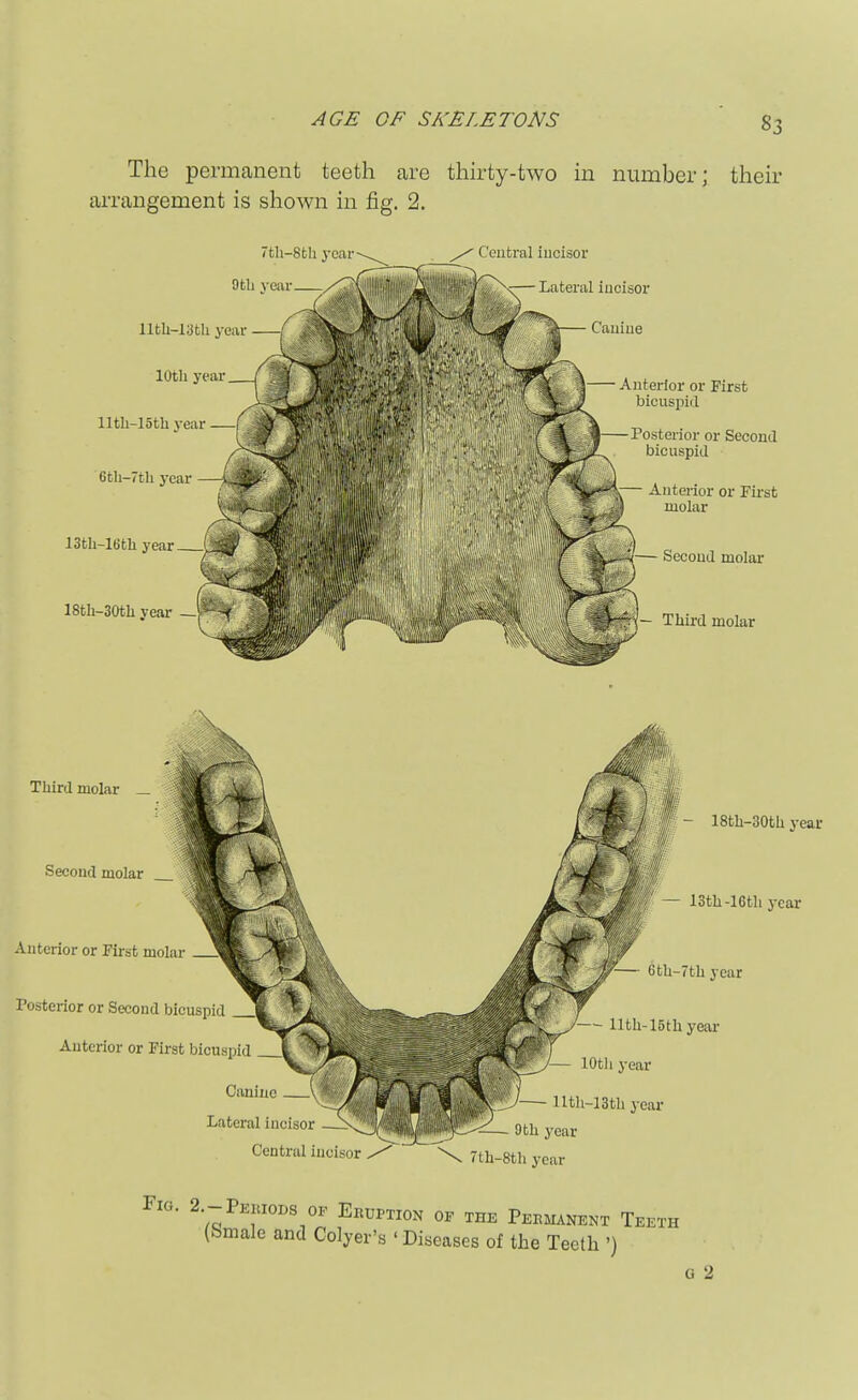 The permanent teeth are thh'ty-two m number; then- arrangement is shown in fig. 2. 7th-8th year Otli veivr_ C ciitral iucisor s— Lateral iucisor Canine 13tli-16tli year 18tli-30tli veai- — Anterior or First bicuspid Posterior or Second bicuspid — Anterior or Fii'st molar — Second molar «- Third molar Third molar Second molar Anterior or First molar J Tosterior or Second bicuspid Anterior or First bicuspid ^1 Canine (yi' Lateral incisor S Central incisor - 18th-30th year — 13th-16th year 7th-8th year Fig. 2.-PEiaoDs of Ebuption of the Permanent Teeth (&male and Colyer's ' Diseases of the Teeth ') G 2