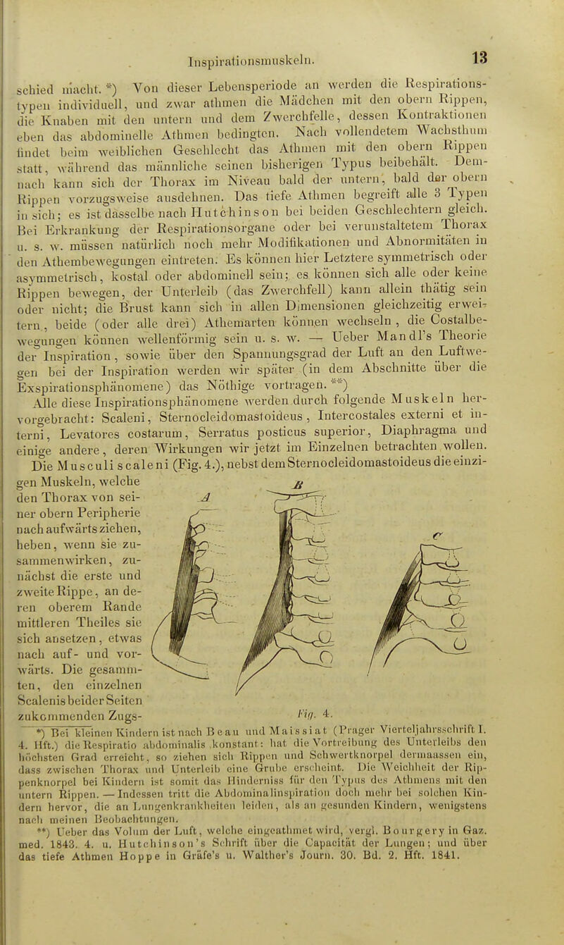 schied macht. *) Von dieser Lebensperiode an werden die Respirations- typen individuell, und zwar athmen die Mädchen mit den obern Rippen, die Knaben mit den untern und dem Zwerchfelle, dessen Kontraktionen eben das abdominelle Athmen bedingten. Nach vollendetem Wachsthun, findet beim weiblichen Geschlecht das Athmen mit den obern Rippen statt, während das männliche seinen bisherigen Typus beibehält. Dem- nach' kann sich der Thorax im Niveau bald der untern, bald der obern Rippen vorzugsweise ausdehnen. Das tiefe Athmen begreift alle 3 Typen in sich; es ist dasselbe nach Hutchinson bei beiden Geschlechtern gleich. Bei Erkrankung der Respirationsorgane oder bei verunstaltetem Thorax u. s. w. müssen natürlich noch mehr Modifikationen und Abnormitäten in den Athembewegungen eintreten. Es können hier Letztere symmetrisch oder asymmetrisch, kostal oder abdominell sein; es können sich alle oder keine Rippen bewegen, der Unterleib (das Zwerchfell) kann allein thätig sein oder nicht; die Brust kann sich in allen Dimensionen gleichzeitig erwei- tern , beide (oder alle drei) Athemarten können wechseln, die Costalbe- wegungen können wellenförmig sein u. s. w. — Ueber Mandl's Theorie der Inspiration , sowie über den Spannungsgrad der Luft an den Luftwe- gen bei der Inspiration werden wir später (in dem Abschnitte über die Exspirationsphänomene) das Nöthige vortragen.'') Alle diese Inspirationsphänomene werden durch folgende Muskeln her- vorgebracht: Scaleni, Sternocleidomastoideus , Intercostales externi et in- terni, Levatores costarum, Serratus posticus superior, Diaphragma und einige andere, deren Wirkungen wir jetzt im Einzelnen betrachten wollen. Die Musculiscaleni (Fig. 4.), nebst dem Sternocleidomastoideus die einzi- gen Muskeln, welche den Thorax von sei- ner obern Peripherie nach aufwärts ziehen, heben, wenn sie zu- sammenwirken, zu- nächst die erste und zweite Rippe, an de- ren oberem Rande mittleren Theiles sie sich ansetzen, etwas nach auf- und vor- wärts. Die gesamm- ten, den einzelnen Scalenis beider Seiten zukommenden Zugs- ^0- *• *) Bei kleinen Kindern ist nach Beau und Maissiat (Präger Vierteljahrsschrift I. 4. Ilft.) dieüespiratio abdominalis konstant: hat die Vertreibung des Unterleibs den höchsten firad erreicht, sc, ziehen sich Kippen und Schwertknorpel dermaassen ein, dass zwischen Thorax und Unterleib eine Grube erscheint. Die Weichheit der Rip- penknorpel bei Kindern ist somit das Hinderniss für den Typus des Athniens mit den untern Rippen.—Indessen tritt die Abdom'inälinspiration doch mehr bei solchen Kin- dern hervor, die an Lungenkrankheiten leiden, als an gesunden Kindern, wenigstens nach meinen Beobachtungen. **) Ueber das Volum der Luft, welche eingeathmet wird, yergl. Bourgery in Gaz. med. 1843. 4. u. Hutchinson's Schrift über die Capacität der Lungen; und über das tiefe Athmen Hoppe in Gräfe's u. Walther's Journ. 30. Bd. 2. Hft. 1841.