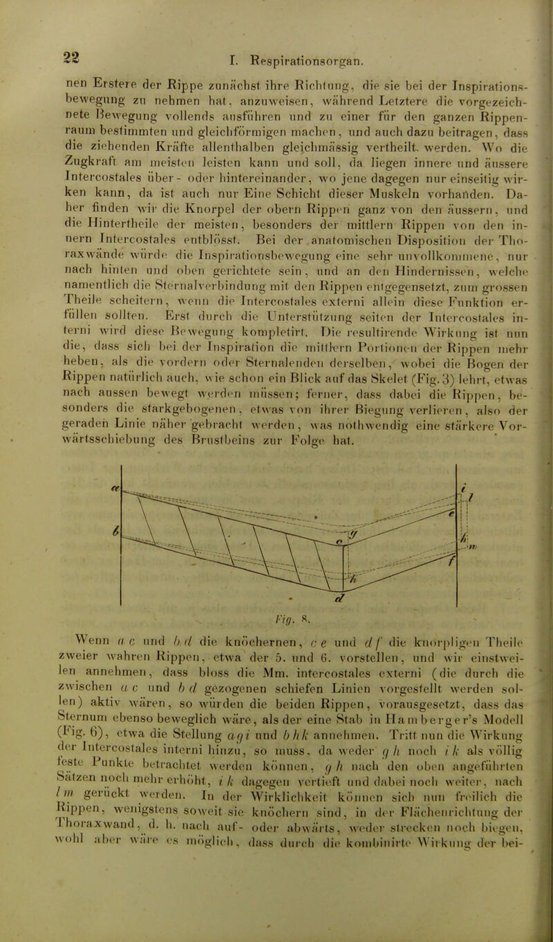 nen Ersterp der Rippe zunächst ihre Richtung, die sie bei der Inspirations- bewegung zu nehmen hat. anzuweisen, wahrend Letztere die vorgezeich- nete Bewegung vollends ausführen und zu einer für den ganzen Rippen- raum bestimmten und gleichförmigen machen, und auch dazu beitragen, dass die ziehenden Kräfte allenthalben gleichmässig vertheilt, werden. Wo die Zugkraft am meisten leisten kann und soll, da liegen innere und äussere Intercostales über- oder hintereinander, wo jene dagegen nur einseitig wir- ken kann, da ist auch nur Eine Schicht dieser Muskeln vorhanden. Da- her finden wir die Knorpel der obern Rippen ganz von derräussern, und die Hin terth eile der meisten, besonders der mittlem Rippen von den in- nern Intercostales entblösst. Bei der anatomischen Disposition der Tho- rax wände winde die tnspirationsbewegurig eine sehr unvollkommene, nur nach hinten und (dien gerichtete sein, und an den Hindernissen, welche namentlich die Sternalverbinduiig mil den Hippen eilt gegensetzt, zum gross« o Theile scheitern, wenn die Intercostales externi allein diese Funktion er- füllen sollten. Erst durch die Unterstützung Seiten der Intercostales in- terni wird diese Bewegung kompletirt. Die resultirende Wirkung ist nun die, dass sich bei der Inspiration die inilllvrn Portionen der Rippen mehr heben, als die vordem oder Sternalendeii derselben, wobei die Bogen der Rippen natürlich auch, wie schon ein Blick auf das Skelet (Fig. 'S) lein t, etwas nach aussen bewegt werden müssen; ferner, dass dabei die Kippen, be- sonders die starkgebogenen, etwas von ihrer Biegung verlieren, also der geraden Linie näher gebracht werden, was nöthWendig eine stärkere Vor- wärtsscbiebung des Brustbeins zur Folge bat. Wenn ae md b,rl die knöchernen, ce und df die knorpligen Theile zweier wahren Rippen, etwa der 5. und 6. vorstellen, und wir einstwei- len annehmen, dass bloss die Mm. intercostales externi (die durch die zwischen a c und b d gezogenen schiefen Linien vorgestellt werden sol- len) aktiv wären, so würden die beiden Rippen, vorausgesetzt, dass das Sternum ebenso beweglich wäre, als der eine Stab in Hamberger's Modell (^ig- 6), etwa die Stellung agt und bhk annehmen. Tritt nun die Wil- der Intercostales interni hinzu, so muss, da weder g Ii noch i k als feste Punkte betrachtet werden können, </ h nach den oben angeführten Sätzen noch mehr erhöht, ih dagegen vertieft und dabei noch weiter, nach Im geruckt werden. In der Wirklichkeit können sich nun freilich die Rippen, wenigstens soweit sie knöchern sind, in der Fläehenrichtung der Thoraxwand, d. h. nach auf- oder abwärts, weder strecken noch biegen, wohl aber wäre es möglich, dass durch die kombinirte Wirkung der bei- kung völlig