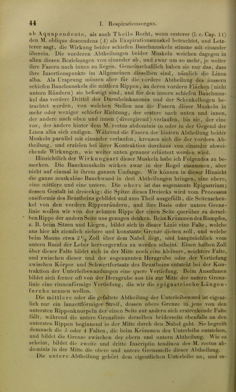 ab Aquap endente, als auch Theile Recht, wenn ersterer (I. c. Cap. 11) den M. oblique descendens (A) als Exspirationsmuskel betrachtet, und Letz- terer sagt, die Wirkung beider schiefen Bauchmuskeln stimme mit einander überein. Die vorderen Abtheilungen beider Muskeln weichen dagegen in allen diesen Beziehungen von einander ab, und zwar um so mehr, je weiter ihre Fasern nach innen zu liegen. Gemeinschaftlich haben sie nur das, dass ihre Insertionspunkte im Allgemeinen dieselben sind, nämlich die Linea alba. Als Ursprung müssen aber für die vordere Abtheilung des äussern schiefen Bauchmuskels die mittlem Rippen, an deren vordem Flächen (nicht untern Rändern) sie befestigt sind, und für den innern schiefen Bauchmus- kel das vordere Drittel des Darmbeinkammes und der Schenkelbogen be- trachtet werden, von welchen Stellen aus die Fasern dieser Muskeln in mehr oder weniger schiefer Richtung, der erstere nach unten und innen, der andere nach oben und innen (divergirend) verlaufen, bis sie, der eine vor, der andere hinter dem M. rectus abdominis in oder in der Gegend der Linea alba sich endigen. Während die Fasern der hintern Abtheilung beider Muskeln parallel mit einander verlaufen, kreuzen sich die der vordem Ab- theilung, und erzielen bei ihrer Kontraktion durchaus von einander abwei- chende Wirkungen, wie weiter unten genauer erläutert werden wird. Hinsichtlich der Wirkungsart dieser Muskeln habe ich Folgendes zu be- merken. Die Bauchmuskeln wirken zwar in der Regel zusammen, aber nicht auf einmal in ihrem ganzen Umfange. Wir können in dieser Hinsicht die ganze muskulöse Bauch wand in drei Abtheilungen bringen, eine obere, eine mittlere und eine untere. Die obere ist das sogenannte Epigastrium; dessen Gestalt ist dreieckig: die Spitze dieses Dreiecks wird vom Processus ensiformis des Brustbeins gebildet und zum Theil ausgefüllt, die Seitenschen- kel von den vordem Rippenrändern, und ihre Basis oder untere Grenz- linie wollen wir von der zehnten Rippe der einen Seite querüber zu dersel- ben Rippe der andern Seite uns gezogen denken. Beim Krümmen des Rumpfes, z. B. beim Sitzen und Liegen, bildet sich in dieser Linie eine Falte, welche uns hier als ziemlich sichere und konstante Grenze dienen soll, und welche beim Manne etwa 2 72 Zoll über dem Nabel liegt, und hauptsächlich vom untern Rand der Leber hervorgerufen zu werden scheint. Einen halben Zoll über dieser Falte bildet sich in der Mitte noch eine kleinere , seichtere Falle, und zwischen dieser und der sogenannten Herzgrube oder der Vertiefung zwischen Körper und Schwertfortsatz des Brustbeins entsteht bei der Kon- traktion der Unterleibswandungen eine quere Vertiefung. Beim Ausathmen bildet sich ferner oft von der Herzgrube aus bis zur Mitte der untern Grenz- linie eine rinnenförmige Vertiefung, die wir die epigastrische Längen- furche nennen wollen. Die mittlere oder die gefaltete Ab'theilung der Unterleibswand ist eig< at- lich nur ein lanzettförmiger Streif, dessen obere Grenze in jene von den untersten Rippenknorpeln der einen Seite zur andern sich erstreckende Falte fällt, während die untere Grenzlinie derselben beiderseits ebenfalls an den untersten Rippen beginnend in der Mitte durch den Nabel geht Sie begreift demnach die 3 oder 4 Falten, die beim Krümmen des Unterleibs entstellen, und bildet, die Grenze zwischen der obern und untern Abtheilung. Wie es scheint, bildet die zweite und dritte Inscriptio tendinea des M. rectus ab- dominis in der Mitte die obere und untere Gren/slelle dieser Abiheilung. Die untere Abtheilung gehört dem eigentlichen Unterleibe an, und er-