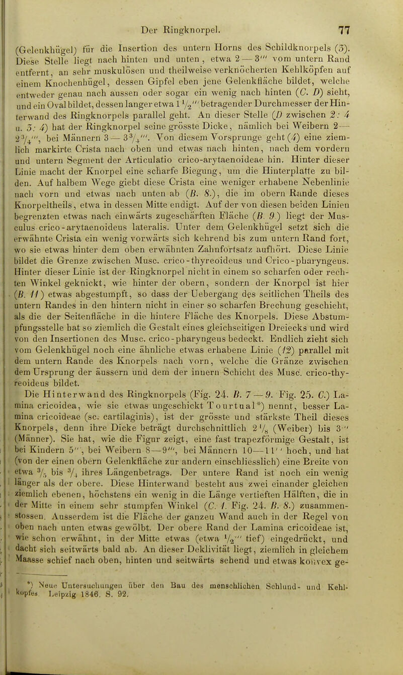 (Gelenkhügel) für die Insertion des untern Horns des Schildknorpels (5). Diese Stelle liegt nach hinten und unten, etwa 2— 3' vom untern Rand entfernt, an sehr muskulösen und theilweise verknöcherten Kehlköpfen auf cimm Knochenhügel, dessen Gipfel eben jene Gelenkfläche bildet, welche entweder genau nach aussen oder sogar ein wenig nach hinten (C. D) sieht, und ein Oval bildet, dessen langer etwa 1betragender Durchmesser der Hin- terwand des Ringknorpels parallel geht. An dieser Stelle (ö zwischen 2: 4 u. 5: 4) hat der Ringknorpel seine grösste Dicke, nämlich bei Weibern 2— 2:,/4', bei Männern 3—33/4'. Von diesem Vorsprunge geht (4) eine ziem- lich markirte Crista nach oben und etwas nach hinten, nach dem vordem und untern Segment der Articulatio crico-arytaenoideae hin. Hinter dieser Linie macht der Knorpel eine scharfe Biegung, um die Hinterplatte zu bil- den. Auf halbem Wege giebt diese Crista eine weniger erhabene Nebenlinie nach vorn und etwas uach unten ab (ß. S.), die im obern Rande dieses Knorpeltheils, etwa in dessen Mitte endigt. Auf der von diesen beiden Linien begrenzten etwas nach einwärts zugeschärften Fläche (ß. 9 ) liegt der Mus- culus crico-arytaenoideus lateralis. Unter dem Gelenkhügel setzt sich die erwähnte Crista ein wenig vorwärts sich kehrend bis zum untern Rand fort, wo sie etwas hinter dem oben erwähnten Zahnfortsatz aufhört. Diese Linie bildet die Grenze zwischen Muse, crico-thyreoideus und Crico-pharyngeus. Hinter dieser Linie ist der Ringknorpel nicht in einem so scharfen oder rech- ten Winkel geknickt, wie hinter der obern, sondern der Knorpel ist hier (ß. 11) etwas abgestumpft, so dass der Uebergang des seitlichen Theils des untern Randes in den hintern nicht in einer so scharfen Brechung geschieht, als die der Seitenfläche in die hintere Fläche des Knorpels. Diese Abstum- pfungsstelle bat so ziemlich die Gestalt eines gleichseitigen Dreiecks und wird von den Insertionen des Muse, crico-pharyngeus bedeckt. Endlich zieht sich vom Gelenkhügel noch eine ähnliche etwas erhabene Linie (/j?) parallel mit dem untern Rande des Knorpels nach vorn, welche die Gränze zwischen dem Ursprung der äussern und dem der inuern Schicht des Muse, crico-thy- reoideus bildet. Die Hi nterwand des Ringknorpels (Fig. 24. ß. 7 — 9. Fig. 25- C) La- mina crieoidea, wie sie etwas ungeschickt Tourtual*) nennt, besser La- mina crieoideae (sc. cartilaginis), ist der grösste und stärkste Theil dieses Knorpels, denn ihre Dicke beträgt durchschnittlich 2 '/8 (Weiber) bis 3  (Männer). Sie hat, wie die Figur zeigt, eine fast trapezförmige Gestalt, ist bei Kindern 5, bei Weibern 8—9', bei Männern 10—II'' hoch, und hat (von der einen obern Gelenkfläche zur andern einschliesslich) eine Breite von etwa 3/-( bis 3/4 ihres Längenbetrags. Der untere Rand ist noch ein wenig länger als der obere. Diese Hinterwand besteht aus zwei einander gleichen ziemlich ebenen, höchstens ein wenig in die Länge vertieften Hälften, die in ffler Mitte in einem sehr stumpfen Winkel (C. I. Fig. 24. B. 8.) zusammen- gössen. Ausserdem ist die Fläche der ganzeu Wand auch in der Regel von oben nach unten etwas gewölbt. Der obere Rand der Lamina crieoideae ist, wie schon erwähnt, in der Mitte etwas (etwa tief) eingedrückt, und dacht sich seitwärts bald ab. An dieser Deklivität liegt, ziemlich in gleichem Maasse schief nach oben, hinten und seitwärts sehend und etwas konvex ge- *) Neun Untersuchungen über den Bau des menschlichen Schlund- und Kehl- kopfes Leipzig 1846. S. 92.