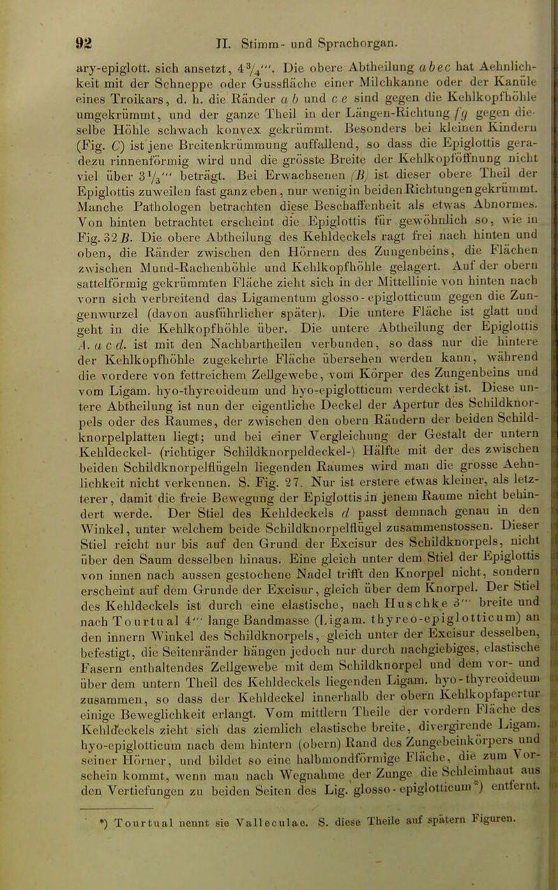 ary-epiglott. sich ansetzt, 43/4'. Die obere Abtbeilung abec hat Aehnlich- keit mit der Schneppe oder Gussfläche einer Milchkanne oder der Kanüle eines Troikars, d. h. die Ränder a b und c e sind gegen die Kehlkopfhöhle umgekrümmt, und der ganze Theil in der Längen-Richtung f'g gegen die- selbe Höhle schwach konvex gekrümmt. Besonders bei kleinen Kindern (Fig. C) ist jene Breitenkrümmung auffallend, so dass die Epiglottis gera- dezu rinnenförmig wird und die grösste Breite der Kehlkopföffnung nicht viel über 3y3' beträgt. Bei Erwachsenen (Ii) igt dieser obere Theil der Epiglottis zuweilen fast ganz eben, nur wenig in beiden Richtungen gekrümmt. Manche Pathologen betrachten diese Beschaffenheit als etwas Abnormes. Von hinten betrachtet erscheint die Epiglottis für gewöhnlich so, wie in Fig. 32 B. Die obere Abtheilung des Kehldeckels ragt frei nach hinten und oben, die Ränder zwischen den Hörnern des Zungenbeins, die Flächen zwischen Mund-Rachenhöhle und Kehlkopfhöhle gelagert. Auf der obern sattelförmig gekrümmten Fläche zieht sich in der Mittellinie von hinten nach vorn sich verbreitend das Ligamentum glosso-epiglotticum gegen die Zun- genwurzel (davon ausführlicher später). Die untere Fläche ist glatt und geht in die Kehlkopfhöhle über. Die untere Abtheilung der Epigloitifi A.acd. ist mit den Nachbartheilen verbunden, sodass nur die hintere der Kehlkopfhöhle zugekehrte Fläche übersehen weiden kann, während die vordere von fettreichem Zellgewebe, vom Körper des Zungenbeins und vom Ligam. hyo-thyreoideum und hyo-epiglotticum verdeckt ist. Diese un- tere Abtheilung ist nun der eigentliche Deckel der Apertur des Scbildknor- pels oder des Raumes, der zwischen den obern Rändern der beiden Schild- knorpelplatte n liegt; und bei einer Vergleichung der Gestalt der untern Kehldeckel- (richtiger Schildknorpeldeckel-) Hälfte mit der des zwischen beiden Schildknorpelflügeln liegenden Raumes wird man die grosse Aehn- lichkeit nicht verkennen. S. Fig. 27. Nur ist erstere etwas kleiner, als letz- terer, damit die freie Bewegung der Epiglottis in jenem Räume nicht behin- dert werde. Der Stiel des Kehldeckels d passt demnach genau in den Winkel, unter welchem beide Schildknorpelflügel zusammenstossen. Dieser Stiel reicht nur bis auf den Grund der Excisur des Schildknorpels, nicht über den Saum desselben hinaus. Eine gleich unter dem Stiel der Epiglottis von innen nach aussen gestochene Nadel trifft den Knorpel nicht, sondern erscheint auf dem Grunde der Excisur, gleich über dem Knorpel. Der Stiel des Kehldeckels ist durch eine elastische, nach Huschke 3' breite und nachTourtual 4' lange Bandmasse (Ligam. thyreo-epiglotticum) an den innern Winkel des Schildknorpels, gleich unter der Excisur desselben, befestigt, die Seitenränder hängen jedoch nur durch nachgiebiges, elastische Fasern enthaltendes Zellgewebe mit dem Schildknorpel und dem vor- und über dem untern Theil des Kehldeckels liegenden Ligam. hyo-thyreoideum zusammen, so dass der Kehldeckel innerhalb der obern Kehlkopfapertur einige Beweglichkeit erlangt. Vom mittlem Theile der vordem Fläche des Kehldeckels zieht sich das ziemlich elastische breite, divergirende Ligam. hyo-epiglotticum nach dem hintern (obern) Rand des Zungebeinkorpers und seiner Hörner, und bildet so eine halbmondförmige Fläche, die zum Vor- schein kommt, wenn man nach Wegnahme der Zunge die Schleimhaut aus den Vertiefungen zu beiden Seiten des Lig. glosso-epiglotticum*) entfernt. •) Tourtual nennt sie Valleculae. S. diese Theile auf spätem Figuren.