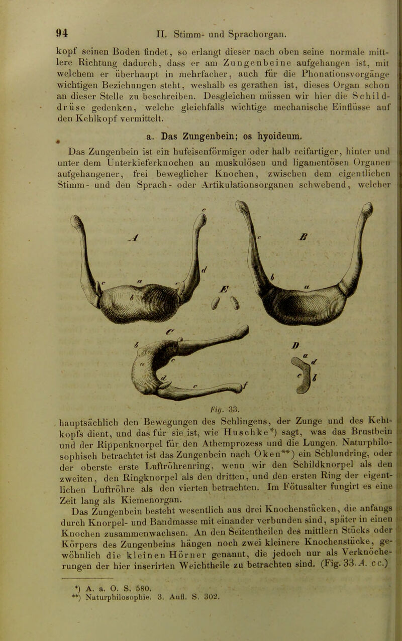 köpf seinen Boden findet, so erlangt dieser nach oben seine normale mitt- lere Richtung dadurch, dass er am Zungenbeine aufgehangen ist, mit welchem er überhaupt in mehrfacher, auch für die Phonatinnsvorgänge wichtigen Beziehungen steht, weshalb es gerathen ist, dieses Organ schon an dieser Stelle zu beschreiben. Desgleichen müssen wir hier die Schild- drüse gedenken, welche gleichfalls wichtige mechanische Einflüsse auf den Kehlkopf vermittelt. a. Das Zungenbein; os hyoideum. Das Zungenbein ist ein hufeisenförmiger oder halb reifartiger, hinter und unter dem Unterkieferknochen an muskulösen und ligamentösen Organen aufgehangener, frei beweglicher Knochen, zwischen dem eigentlichen Stimm- und den Sprach- oder Artikulationsorganen schwebend, welcher Fig. 33. hauptsächlich den Bewegungen des Schlingens, der Zunge und des Kehl- kopfs dient, und das für sie ist, wie Huschke*) sagt, was das Brustbein und der Rippenknorpel für den Athemprozess und die Lungen. Naturphilo- sophisch betrachtet ist das Zungenbein nach Oken**) ein Schlundring, oder der oberste erste Luftröhrenring, wenn wir den Schildknorpel als den zweiten, den Ringknorpel als den dritten, und den ersten Ring der eigent- lichen Luftröhre als den vierten betrachten. Im Fötusalter fungirt es eine Zeit lang als Kiemenorgan. Das Zungenbein besteht wesentlich aus drei Knochenstucken, die anfangs durch Knorpel- und Bandmasse mit einander verbunden sind, später in einen Knochen zusammenwachsen. An den Seitentheilen des mittlem Stücks oder Körpers des Zungenbeins hängen noch zwei kleinere Knochenstücke, ge- wöhnlich die kleinen Hörn er genannt, die jedoch nur als Verknoche- rungen der hier inserirten Weichtheile zu betrachten sind. (Fig. 33 -4. cc.) ♦) A. a. 0. S. 580. **) Naturphilosophie. 3. Aufl. S. 302.