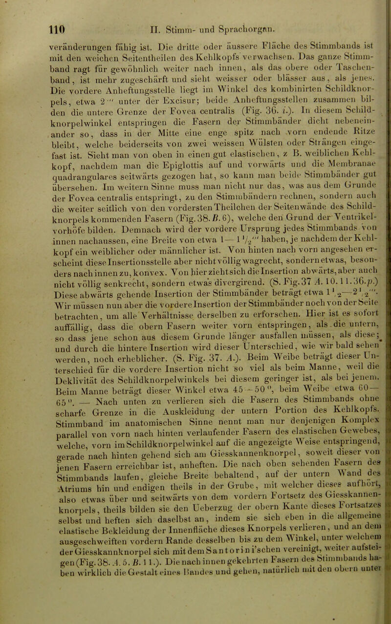 Veränderungen fähig ist, Die dritte oder äussere Fläche des Stimmbands ist mit den weichen Seitentheilen des Kehlkopfs verwachsen. Das ganze Stimm- band ragt für gewöhnlich weiter nach innen, als das obere oder Taschen- band, ist mehr zugeschärft und sieht weisser oder blä.ssei aus, als jenes. Die vordere Anheftungsstelle liegt im Winkel des kombinirten Schildknor- pels, etwa 2 unter der Excisur; beide Anheftungsstellen zusammen bil- den die untere Grenze der Fovea centralis (Fig. 3C i.). In diesem Schild- knorpelwinkel entspringen die Fasern der Stimmbänder dicht nebenein- ander so, dass in der Mitte eine enge spitz nach vorn endende Ritze bleibt, welche beiderseits von zwei weissen Wülsten oder Strängen einge- faßt ist. Sieht man von oben in einen gut elastischen, z B. weiblichen Kehl- kopf, nachdem man die Epiglottis auf und vorwärts und die Membranae quadrangulares seitwärts gezogen hat, so kann man beide Stimmbänder gut übersehen. Im weitern Sinne muss man nicht nur das, was aus dem Grunde der Fovea centralis entspringt, zu den Stimmbändern rechnen, sondern aueli die weiter seitlich von den vordersten Theilchen der Seiten wände des Schild- knorpels kommenden Fasern (Fig. 38. B. 6), welche den Grund derVentrikel- vorhöfe bilden. Demnach wird der vordere Ursprung jedes Stimmbands von innen nachaussen, eine Breite von etwa 1— 1'/./ haben, je nachdem der Kehl- kopf ein weiblicher oder männlicher ist. Von hinten nach vorn angesehen er- scheint diese Insertionsstelle aber nicht völlig wagrecht, sondern etwas, beson- ders nach innen zu, konvex. Von hier ziehtsich die Insertion abwärts, aber auch nicht völlig senkrecht, sondern etwas divergirend. (S. Fig.37 A. 10.11.3G./J.) Diese abwärts gehende Insertion der Stimmbänder beträgt etwa l'H'i Wir müssen nun aber die vordere Insertion der Stimmbänder noch von der Seite betrachten, um alle'Verhältnisse derselben zu erforschen. Hier ist es sofort auffällig, dass die obern Fasern weiter vorn entspringen, als-die untern, so dass jene schon aus diesem Grunde länger ausfallen müssen, als diese^ und durch die hintere Insertion wird dieser Unterschied, wie wir bald sehen werden, noch erheblicher. (S. Fig. 37. A.). Beim Weibe beträgt dieser Un- terschied für die vordere Insertion nicht so viel als beim Manne, weil die Deklivität des Schildknorpelwinkels bei diesem geringer ist, als bei jenem. Beim Manne beträgt dieser Winkel etwa 45 — 50°, beim Weibe etwa G0 — 65. Nach unten zu verlieren sich die Fasern des Stimmbands ohne scharfe Grenze in die Auskleidung der untern Portion des Kehlkopfs. Stimmband im anatomischen Sinne nennt man nur denjenigen Komplex parallel von vorn nach hinten verlaufender Fasern des elastischen Gewehr-, welche, vorn im Schildknorpelwinkel auf die angezeigte Weise entspringend, gerade nach hinten gehend sich am Giesskannenknorpel, soweit dieser von jenen Fasern erreichbar ist, anheften. Die nach oben sehenden Fasern des Stimmbands laufen, gleiche Breite behaltend, auf der untern Wand des Atriums hin und endigen theils in der Grube, mit welcher dieses aufbort, also etwas über und seitwärts von dem vordem Fortsetz des (^lesskannen- knorpels, theils bilden sie den Ueberzug der obern Kante dieses Fortsatee| selbst und heften sich daselbst an, indem sie sich eben in die allgemeine elastische Bekleidung der Innenfläche dieses Knorpels verlieren, und an dem ausgeschweiften vordem Rande desselben bis zu dem Winkel, unter welchem derGiesskannknorpel sich mit dem Santori n i'schen vereinigt, weiter autstei- gen (Fig. 38-.4. 5. Ä. 1 1.). Die nach innen gekehrten Fasern des btnnmbands ha- ben wirklich die Gestalt eines Bandes und gehen, natürlich mit den obern unter