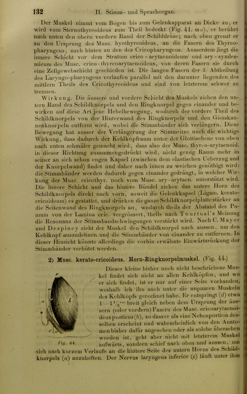 Der Muskel nimmt vom Bogen bis zum Gelenkapparat an Dicke zu, er wird vom Sternothyreoideus zum Theil bedeckt (Fig. 41. wo), er berührt nach unten deri obern vordem Rand der Schilddrüse; nach oben grenzt er au den Ursprung des Muse, hyothyreoideus, an die Fasern des Thyreo« pharyngeus, nach hinten an den des Cricopharyngeus. Ausserdem Jiegt die innere Schicht vor dem Stratum crico - arytaenoideum' und ary-syndes- micum des Muse, crico-thyreoarytaenoideus, von deren Fasern sie durch eine Zellgewebschicht geschieden ist. Die langen Fasern der 3. Abtheilung des L'aryngo-pharyngeus verlaufen parallel mit den darunter liegenden des mittlem Theils des Cricothyreoideus und sind von letzterem schwer zu trennen. Wirkung. Die äussere und vordere Schicht des Muskels ziehen den un- tern Rand des Schildknorpels und den Ringknorpel gegen einander und be- wirken auf diese Art jene Hebelbewegung, wodurch der vordere Theil des Schildknorpels von der Hinterwand des Ringknorpels und den Giesskan- nenknorpeln entfernt wird, wobei die Stimmbänder sich verlängern. Diese Bewegung hat ausser der Verlängerung der Stimmritze noch die wichtige Wirkung, dass dadurch der Keblkopfraum unter der Glottisebene von oben nach unten schmäler gemacht wird, dass also der Muse, thyreo-arytaenoid. in dieser Richtung zusammengedrückt wird, nicht genug Raum mehr in seiner an sich schon engen Kapsel (zwischen dem elastischen Ueberzug und der Knorpelwand) findet und daher nach innen zu weichen genöthigt wird: die Stimmbänder werden dadurch gegen einander gedrängt, in welcher Wir- kung der Muse, cricothyr. noch vom Muse, ary-arytaen. unterstützt wird. Die innere Schicht und das hintere Bündel ziehen das untere Horn des Schildknorpels direkt nach vorn, soweit die Gelenkkapsel (Ligam. keratoj crieoideum) es gestattet, und drücken dieganze Schildknorpelplatte stärker an die Seitenwand des Ringknorpels an, wodurch theils der Abstand des Po- niuin von der Laniina cric. vergrössert, theils nach To u rtual's Meinung die Resonanz der Stimmbandschwingungen verstärkt wird. Nach C. Mayer und Despiney zieht der Muskel den Schildknorpel nach aussen, um de| Kehlkopf auszudehnen, und die Stimmbänder von einander zu entfernen. In dieser Hinsicht könnte allerdings die vorhin erwähnte Einwärtsrückung der Stimmbänder verhütet werden. 2) Muse, kerato-crieoideus. Horn-Ringknorpelmuskel. (Fig. 44.) Dieser kleine bisher noch nicht beschriebene Mus- kel findet sich nicht an allen Kehlköpfen, und wo er sich findet, ist er nur auf einer Seite vorhanden, weshalb ich ihn auch unter die unpaaren Muskeln des Kehlkopfs gerechnet habe. Er entspringt (<l) etwa 1 11 /0' breit gleich neben dem Ursprung der äus- sern (oder vordem) Fasern des Muse, cricoarytaenoi- deuspostictis(u), so dass er als eine Nebenportion des- selben erscheint und wahrscheinlich von den Anato- men bisher dafür angesehen oder als solche übersehen worden ist, geht aber nicht mit letzteren. Muskel aufwärts, sondern schief nach oben und aussen, um sich nach kurzem Verlaufe an die hintere Seite des untern Horns des Schild- knorpels («) anzuheften. Der Nervus laryngeus inferior (e) läuft unter ihm Fig,