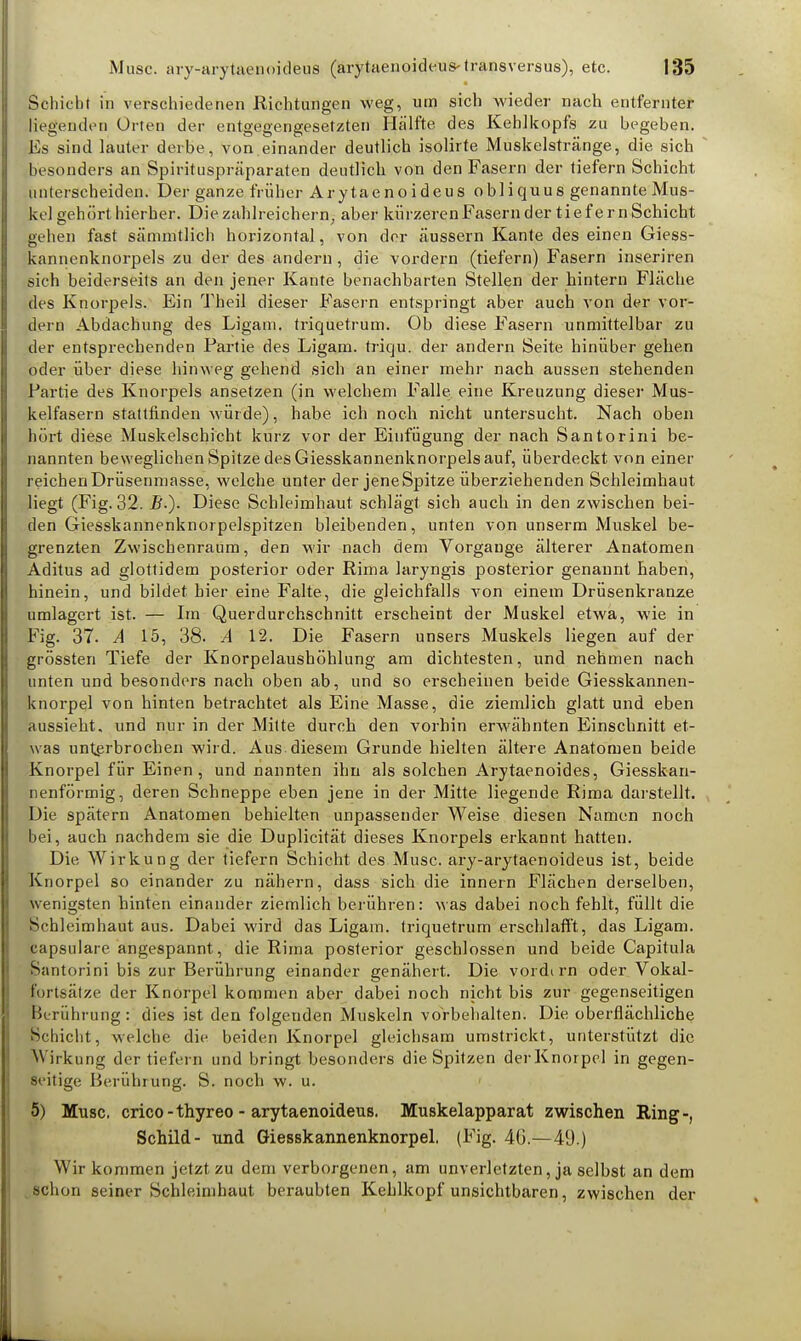 Schiebt in verschiedenen Richtungen weg, um sich wieder nach entfernter liegenden Orten der entgegengesetzten Hälfte des Kehlkopfs zu begeben. Es sind lauter derbe., von.einander deutlich isolirte Muskelstränge, die sich besonders an Spirituspräparaten deutlich von den Fasern der tiefern Schicht unterscheiden. Der ganze früher Arytaenoideus obliquus genannte Mus- kel geh ört hierher. Die zahlreichern, aber kürzeren Fasern der t i e f e r n Schicht gehen fast sämmtlich horizontal, von der äussern Kante des einen Giess- kannenknorpels zu der des andern, die vordem (tiefern) Fasern inseriren sich beiderseits an den jener Kante benachbarten Stellen der hintern Fläche des Knorpels. Ein Theil dieser Fasern entspringt aber auch von der vor- dem Abdachung des Ligam. triquetrum. Ob diese Fasern unmittelbar zu /der entsprechenden Partie des Ligam. triqu. der andern Seite hinüber gehen oder über diese hinweg gehend sich an einer mehr nach aussen stehenden Partie des Knorpels ansetzen (in welchem Falle eine Kreuzung dieser Mus- kelfasern stattfinden würde), habe ich noch nicht untersucht. Nach oben hört diese Muskelschicht kurz vor der Einfügung der nach Santorini be- nannten beweglichen Spitze des Giesskannenknorpels auf, überdeckt von einer reichenDrüsenmasse, welche unter der jeneSpitze überziehenden Schleimhaut liegt (Fig. 32. E-). Diese Schleimhaut schlägt sich auch in den zwischen bei- den Giesskannenknorpelspitzen bleibenden, unten von unserm Muskel be- grenzten Zwischenraum, den wir nach dem Vorgänge älterer Anatomen Aditus ad glottidem posterior oder Rima laryngis posterior genannt haben, hinein, und bildet hier eine Falte, die gleichfalls von einem Drüsenkrauze umlagert ist. — Im Querdurchschnitt erscheint der Muskel etwa, wie in Fig. 37. A 15, 38. A 12. Die Fasern unsers Muskels liegen auf der grössten Tiefe der Knorpelaushöhlung am dichtesten, und nehmen nach unten und besonders nach oben ab, und so erscheinen beide Giesskannen- knorpel von hinten betrachtet als Eine Masse, die ziemlich glatt und eben aussieht, und nur in der Mitte durch den vorhin erwähnten Einschnitt et- was unterbrochen wird. Aus diesem Grunde hielten ältere Anatomen beide Knorpel für Einen, und nannten ihn als solchen Arytaenoides, Giesskan- nenförmig, deren Schneppe eben jene in der Mitte liegende Rima darstellt. Die spätem Anatomen behielten unpassender Weise diesen Namen noch bei, auch nachdem sie die Duplicität dieses Knorpels erkannt hatten. Die Wirkung der tiefern Schicht des Muse, ary-arytaenoideus ist, beide Knorpel so einander zu nähern, dass sich die innern Flächen derselben, wenigsten hinten einander ziemlich berühren: was dabei noch fehlt, füllt die Schleimhaut aus. Dabei wird das Ligam. triquetrum erschlafft, das Ligam. capsulare angespannt, die Rima posterior geschlossen und beide Capitula Santorini bis zur Berührung einander genähert. Die vordirn oder Vokal- fortsätze der Knorpel kommen aber dabei noch nicht bis zur gegenseitigen Berührung: dies ist den folgenden Muskeln vorbehalten. Die oberflächliche Schicht, welche die beiden Knorpel gleichsam umstrickt, unterstützt die Wirkung der tiefem und bringt besonders die Spitzen derKnorpel in gegen- seitige Berührung. S. noch w. u. 5) Muse, crico - thyreo - arytaenoideus. Muskelapparat zwischen Ring-, Schild- und Giesskannenknorpel. (Fig. 46.—49.) Wir kommen jetzt zu dem verborgenen, am unverletzten, ja selbst an dem schon seiner Schleimhaut beraubten Kehlkopf unsichtbaren, zwischen der